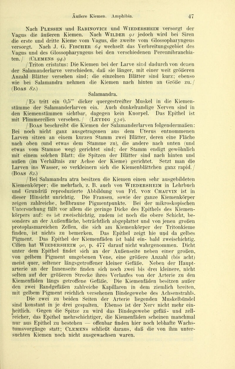 Nach Plessen und Rabinovicz und Wiebelsheim versorgt der Vagus die äußeren Kiemen. Nach Wilder pi jedoch wird bei Siren die erste und dritte Kieme vom Vagus, die zweite vom Glossopharyngeus versorgt. Nach J. G. Fischer 64 wechselt das Verbreitungsgebiet des Vagus und des Glossopharyngeus bei den verschiedenen Perennibranchia- ten./ (Clemens 94) /Triton cristatus: Die Kiemen bei der Larve sind dadurch von denen der Salamanderlarve verschieden, daß sie länger, mit einer weit größeren Anzahl Blätter versehen sind; die einzelnen Blätter sind kurz; ebenso wie bei Salamandra nehmen die Kiemen nach hinten an Größe zu. / (Boas 82.) Salamandra. /Es tritt ein 0,5' dicker quergestreifter Muskel in die Kiemen- stämme der Salamanderlarven ein. Auch dunkelrandige Nerven sind in den Kiemen Stämmen sichtbar, dagegen kein Knorpel. Das Epithel ist mit Flimmercilien versehen./ (Leydig 53a). /Boas beschreibt die Kiemen der Salamanderlarven folgendermaßen: Bei noch nicht ganz ausgetragenen aus dem Uterus entnommenen Larven sitzen an einem kurzen Stamm zwei Blätter, deren eine Fläche nach oben (und etwas dem Stamme zu), die andere nach unten (und etwas vom Stamme weg) gerichtet sind; der Stamm endigt gewöhnlich mit einem solchen Blatt; die Spitzen der Blätter sind nach hinten und außen (im Verhältnis zur Achse der Kieme) gerichtet. Setzt man die Larven ins Wasser, so verkleinern sich die Kiemenblättchen ganz rapid./ (Boas 82) /Bei Salamandra atra besitzen die Kiemen einen sehr ausgebildeten Kiemenkörper; die mehrfach, z. B. auch von Wiedersheim in Lehrbuch und Grundriß reproduzierte Abbildung von Frl. von Chauvin ist in dieser Hinsicht unrichtig. Die Fransen, sowie der ganze Kiemenkörper zeigen zahlreiche, hellbraune Pigmentpunkte. Bei der mikroskopischen Untersuchung fällt vor allem die geringe Dicke des Epithels des Kiemen- körpers auf: es ist zweischichtig, zudem ist noch die obere Schicht, be- sonders an der Außenfläche, beträchtlich abgeplattet und von jenen großen protoplasmareichen Zellen, die sich am Kiemenkörper der Tritonkieme finden, ist nichts zu bemerken. Das Epithel zeigt hie und da gelbes Pigment. Das Epithel der Kiemenfaden ist bald ein- bald zweischichtig. Cilien hat Wiedersheim 90, p. 477 darauf nicht wahrgenommen. Dicht unter dem Epithel findet sich an der Außenseite neben einer großen, von gelbem Pigment umgebenen Vene, eine größere Anzahl (bis acht) meist quer, seltener längsgetroftener kleiner Gefäße. Neben der Haupt- arterie an der Innenseite finden sich noch zwei bis drei kleinere, nicht selten auf der größeren Strecke ihres Verlaufes von der Arterie zu den Kiemenfäden längs getroffene Gefäße. Die Kiemenfäden besitzen außer den zwei Randgefäßen zahlreiche Kapillaren in dem ziemlich breiten, mit gelbem Pigment reichlich versehenen Bindegewebe des Achsenstrahls. Die zwei zu beiden Seiten der Arterie liegenden Muskelbündel sind konstant in je drei gespalten. Ebenso ist der Nerv nicht mehr ein- heitlich. Gegen die Spitze zu wird das Bindegewebe gefäß- und zell- reicher, das Epithel mehrschichtiger, die Kiemenfäden scheinen manchmal nur aus Epithel zu bestehen — offenbar finden hier noch lebhafte W^achs- tumsvorgänge statt; Clemens schließt daraus, daß die von ihm unter- suchten Kiemen noch nicht ausgewachsen waren.