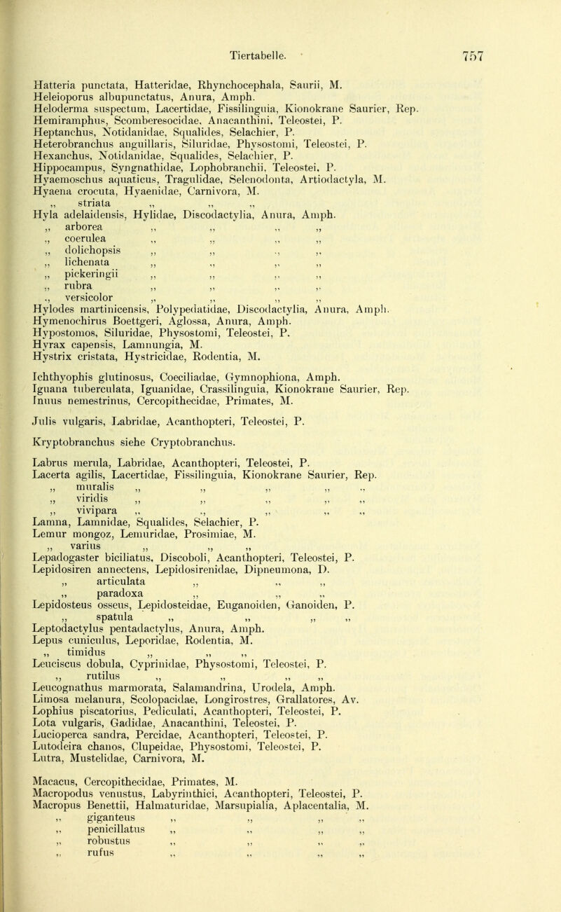Hatteria punctata, Hatteridae, Rhynchocephala, Saurii, M. Heleioporus albupunctatus, Anura, Amph. Heloderma suspectum, Lacertidae, Fissilinguia, Kionokrane Saurier, Rep. Hemiramphus, Scomberesocidae, Anacanthini, Teleostei, P. Heptanchus, Notidanidae, Squalides, Selachier, P. Heterobranchus anguillaris, Siluridae, Physostomi, Teleostei, P. Hexanchus, Notidanidae, Squalides, Selachier, P. Hippocampus, Syngnathidae, Lophobranchii, Teleostei, P. Hyaemoschus aquaticus, Tragulidae, Selenodonta, Artiodactyla, M. Hyaena crocuta, Hyaenidae, Carnivora, M. „ striata „ „ „ Hyla adelaidensis, Hylidae, Discodactylia, Anura, Amph. ,, arborea ,, ,, ,, „ „ coerulea ,, „ ,, ,, ,, dolichopsis ,, ,, ., ,, ,, lichenata ,, ,, ,, ,, „ pickeringii ,, ,, ,, ,, ,, rubra ,, „ ,, versicolor „ ,, ,, Hylodes martinicensis, Polypedatidae, Discodactylia, Anura, Amph. Hymenochirus ßoettgeri, Aglossa, Anura, Amph. Hypostomos, Siluridae, Physostomi, Teleostei, P. Hyrax capensis, Lamnungia, M. Hystrix cristata, Hystricidae, Rodentia, M. Ichthyophis glutinosus, Coeciliadae, Gymnophiona, Amph. Tguana tuberculata, Iguanidae, Crassilinguia, Kionokrane Saurier, Rep. Inuus nemestrinus, Cercopithecidae, Primates, M. Julis vulgaris, Labridae, Acanthopteri, Teleostei, P. Kryptobranchus siehe Cryptobranchus. Labrus merula, Labridae, Acanthopteri, Teleostei, P. Lacerta agilis, Lacertidae, Fissilinguia, Kionokrane Saurier, Rep. „ muralis ,, „ ,, ,, ., „ viridis „ „ „ ,, ,, vivipara ,, ,, „ ,, Lamna, Lamnidae, Squalides, Selachier, P. Lemur mongoz, Lemuridae, Prosimiae, M. „ varius Lepadogaster biciliatus, Discoboli, Acanthopteri, Teleostei, P. Lepidosiren annectens, Lepidosirenidae, Dipneumona, D. „ articulata ,, ,, ,, „ paradoxa ,, „ Lepidosteus osseus, Lepidosteidae, Euganoiden, Ganoiden, P. ,, spatula „ „ „ Leptodactylus pentadactylus, Anura, Amph. Lepus cuniculus, Leporidae, Rodentia, M. „ timidus ,, „ ,, Leuciscus dobula, Cyprinidae, Physostomi, Teleostei, P. rutilus ,, „ „ „ Leucognathus marmorata, Salamandrina, Urodela, Amph. Limosa melanura, Scolopacidae, Longirostres, Grallatores, Av. Lophius piscatorius, Pediculati, Acanthopteri, Teleostei, P. Lota vulgaris, Gadidae, Anacanthini, Teleostei, P. Lucioperca sandra, Percidae, Acanthopteri, Teleostei, P. Lutodeira chanos, Clupeidae, Physostomi, Teleostei, P. Lutra, Mustelidae, Carnivora, M. Macacus, Cercopithecidae, Primates, M. Macropodus venustus, Labyrinthici, Acanthopteri, Teleostei, P. Macropus Benettii, Halmaturidae, Marsupialia, Aplacentalia, M. giganteus ,, penicillatus ,, ,, ,, „ „ robustus ,, ,, „ ,, rufus
