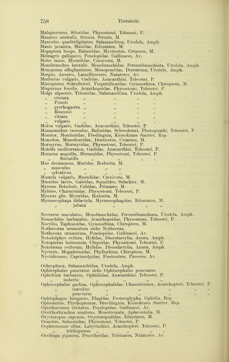 Malapterurus, Siluridae, Physostomi, Teleostei, P. Manatus australis, Sirenia, Sirenia, M. Manculus quadridigitatus, Salamandrina, Urodela, Amph. Manis javanica, Manidae, Edentaten, M. Megaptera boops, Balaenidae, Mysticeten, Cetaceen, M. Meleagris gallopavo, Penelopidae, Gallinacei, Av. Meies taxus, Mustelidae, Carnivora, M. Menobranchus lateralis, Menobranchidae, Perennibranchiata, Urodela, Amph. Menopoma alleghaniense, Menopomidae, Derotrema, Urodela, Amph. Mergus, Anseres, Lamellirostres, Natatores, Av. Merlucius vulgaris, Gadidae, Anacanthini, Teleostei, P. Miniopterus Schreibersii, Vespertilionidae, Gymnorhina, Chiroptera, M. Misgurnus fossilis, Acanthopsidae, Physostomi, Teleostei, P. Molge alpestris, Tritonidae, Salamandrina, Urodela, Amph. cristata ,, ,, Poireti ,, ., „ pyrrhogastra „ ,, Rusconii ,, ,, ,, ,, vittata „ ,, „ ,, ,, vulgaris „ „ ,, Molva vulgaris, Gadidae, Anacanthini, Teleostei, P. Monacanthus trossulus, Balistidae, Sclerodermi, Plectognathi, Teleostei, P. Monitor, Monitoridae, Fissilinguia, Kionokrane Saurier, Rep. Monodon, Monodontidae, Denticeten, Cetaceen, M. Mormyrus, Mormyridae, Physostomi, Teleostei, P. Motella mediterranea, Gadidae, Anacanthini, Teleostei, P. Muraena anguilla, Muraenidae, Physostomi, Teleostei, P. „ fluviatilis „ „ ,, Mus decumanus, Muridae, Rodentia, M. „ musculus „ ,, „ ,, sylvaticus „ „ „ Mustela vulgaris, Mustelidae, Carnivora, M. Mustelus laevis, Galeidae, Squalides, Selachier, M. Mycetes Beizebub, Cebidae, Primates, M. Myletes, Characinidae, Physostomi, Teleostei, P. Myoxus glis, Myoxidae, Rodentia, M. Myrmecophaga didactyla, Myrmecophagidae, Edentaten, M. ,, jubata ,, ,, „ Necturus maculatus, Menobranchidae, Perennibranchiata, Urodela, Amph. Nemachilus barbatalus, Acanthopsidae, Physostomi, Teleostei, P. Noctilio, Taphozoidae, Gymnorhina, Chiroptera, M. Nothocorax urumutum siehe Nothocrax. Nothocrax urumutum, Penelopidae, Gallinacei, Av. Notodelphys ovifera, Hylidae, Discodactylia, Anura, Amph. Notopterus borneensis, Clupeidae, Physostomi, Teleostei, P. Nototrema oviferum, Hylidae, Discodactylia, Anura, Amph. Nycteris, Megadermidae, Phyllorhina, Chiroptera, M. Nyctidromus, Caprimulgidae, Fissirostres, Passeres, Av. Ochrophaea, Salamandridae, Urodela, Amph. Ophicephalus punctatus siehe Ophiocephalus punctatus. Ophidium barbatum, Ophidiidae, Anacanthini, Teleostei, P. „ imberbe „ „ „ ,, Ophiocephalus gachua, Ophiocephalidae, Channifomies, Acanthopteri, Teleostei, P. „ marulius „ ,, >i ,, punctatus „ „ ,, „ „ Ophiophagus bungarus, Elapidae, Proteroglypha, Opliidia, Rep. Ophisaurus, Ptychopleurae, Brevilinguia, Kionokrane Saurier, Rep. Opisthocomus cristatus, Penelopidae, Gallinacei, Av. Ornithorhynchus anatinus, Monotremata, Aplacentalia, M. Orycteropus capensis, Orycteropodidae, Edentaten, M. Osmerus, Salmonidae, Physostomi, Teleostei, P. Osphromenus olfax, Labyrinthici, Acanthopteri, Teleostei, P. „ trichopterus „ ,, „ ,, Ossifraga gigantea, Procellariclae, Tubinares, Natatores, Av.