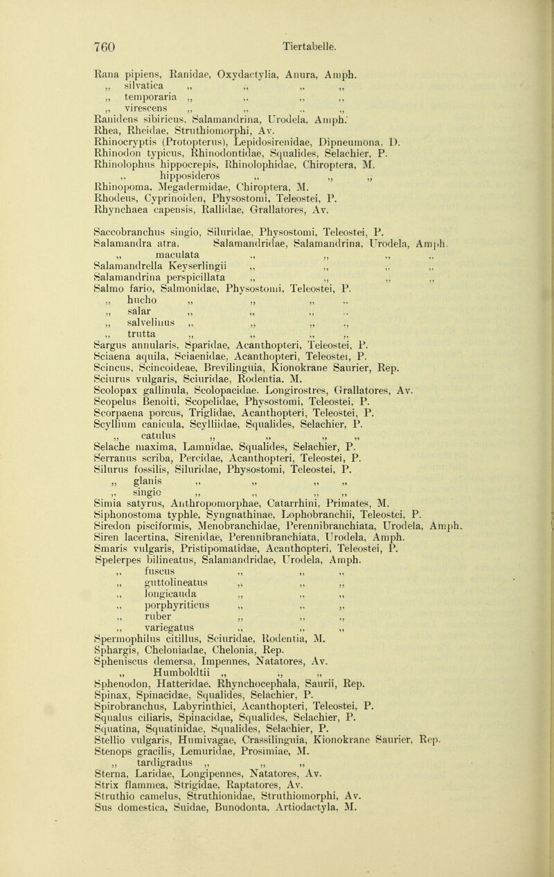 Rana pipiens, Ranidae, Oxydaetylia, Anura, Amph. „ silvatica ,, ,, „ „ „ temporaria ,, ,, virescens ,, „ „ ,, Ranidens sibiricus, Salamandrina, Urodela, Amph.' Rhea, Rheidae, Struthiomorphi, Av. Rhinocryptis (Protopterus), Lepidosirenidae, Dipneumona. D. Rhinodon typicus, Rhinodontidae, Squälides, Selachier, P. Rhinolophus hippocrepis, Rhinolophidae, Chiroptera, M. hipposideros „ „ „ Rhinopoma, Megadermidae, Chiroptera, M. Rhodens, Cyprinoiden, Physostomi, Teleostei, P. Rhynchaea capensis, Rallidae, Grallatores, Av. Saccobranchus singio, Siluridae, Physostomi, Teleostei, P. Salamandra atra, Salamandridae, Salamandrina, Urodela, Amph. „ maculata „ „ Salamandrella Keyserlingii „ ,, Salamandrina perspicillata „ „ ,, „ Salmo fario, Salmonidae, Physostomi, Teleostei, P. „ hucho „ „ „ ' ;* „ salar ,, „ ,, „ salvelinus ,, „ „ „ „ trutta „ „ „ ,, Sargus annularis, Sparidae, Acanthopteri, Teieostei, P. Sciaena aquila, Sciaenidae, Acanthopteri, Teleostei, P. Scincus, Scincoideae, Brevilinguia, Kionokrane Saurier, Rep. Sciurus vulgaris, Sciuridae, Rodentia, M. Scolopax gailinula, Scolopacidae. Longirostres, Grallatores, Av. Scopelus ßenoiti, Scopelidae, Physostomi, Teleostei, P. Scorpaena porcus, Triglidae, Acanthopteri, Teleostei, P. Scyllium canicula, Scylliidae, Squälides, Selachier, P. „ catulus „ Selache maxima, Lamnidae, Squälides, Selachier, P. Serranus scriba, Percidae, Acanthopteri, Teleostei, P. Silurus fossilis, Siluridae, Physostomi, Teleostei, P. „ glanis ,, singio „ „ ,, Simia satyrus, Anthropomorphae, Catarrhini, Primates, M. Siphonostoma typhle, Syngnathinae, Lophobranchii, Teleostei, P. Siredon pisciformis, Menobranchidae, Perennibranchiata, Urodela, Amph. Siren lacertina, Sirenidae, Perennibranchiata, Urodela, Amph. Smaris vulgaris, Pristipomatidae, Acanthopteri, Teleostei, P. Spelerpes bilineatus, Salamandridae, Urodela, Amph. ,, fuscus ,, „ „ guttolineatus ,, ,, ,, ,, longicauda ,, ,, ,, porphyriticus „ „ ,, ruber „ ,, ,, ,, variegatus „ „ „ Spermophilus citillus, Sciuridae, Rodentia, M. Sphargis, Cheloniadae, Chelonia, Rep. Spheniscus demersa, Impennes, Natatores, Av. „ Humboldtii „ ,, „ Sphenodon, Hatteridae, Rhynchocephala, Saurii, Rep. Spinax, Spinacidae, Squälides, Selachier, P. Spirobranchus, Labyrinthici, Acanthopteri, Teleostei, P. Squalus ciliaris, Spinacidae, Squälides, Selachier, P. Squatina, Squatinidae, Squälides, Selachier, P. Stellio vulgaris, Humivagae, Crassilinguia, Kionokrane Saurier, Rep. Stenops gracilis, Lemuridae, Prosimiae, M. tardigradus „ „ ,, Sterna, Laridae, Longipennes, Natatores, Av. Strix flammea, Strigidae, Raptatores, Av. Struthio camelus, Struthionidae, Struthiomorphi, Av. Sus domestica, Suidae, Bunodonta, Artiodactyla, M.