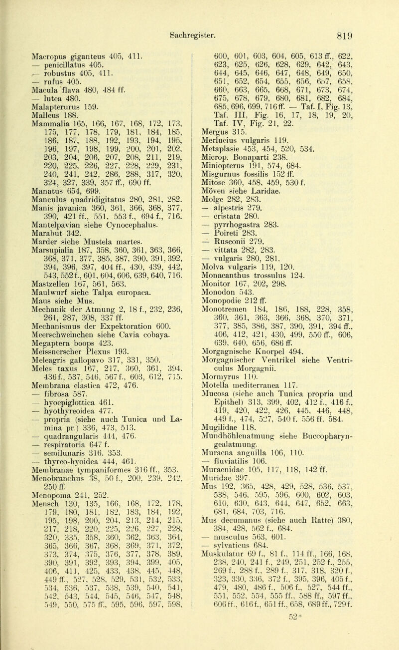 Macropus giganteus 405, 411. — penicillatus 405. 3— robustus 405, 411. — rufus 405. Macula flava 480, 484 ff. — lutea 480. Malapterurus 159. Malleus 188. Mammalia 165, 166, 167, 168, 172, 173, 175, 177, 178, 179, 181, 184, 185, 186, 187, 188, 192, 193, 194, 195, 196, 197, 198, 199, 200, 201, 202, 203, 204, 206, 207, 208, 211, 219, 220, 225, 226, 227, 228, 229, 231, 240, 241, 242, 286, 288, 317, 320, 324, 327, 339, 357 ff., 690 ff. Manatus 654, 699. Mancuius quadridigitatus 280, 281, 282. Manis javanica 360, 361, 366, 368, 377, 390, 421 ff., 551, 553 f., 6941, 716. Mantelpavian siehe Cynocephalus. Marabut 342. Marder siehe Mustela martes. Marsupialia 187, 358, 360, 361, 363, 366, 368, 371, 377, 385, 387, 390, 391,392, 394, 396, 397, 404 ff., 430, 439, 442, 543, 552f., 601, 604, 606, 639, 640, 716. Mastzellen 167, 561, 563. Maulwurf siehe Talpa europaea. Maus siehe Mus. Mechanik der Atmung 2, 18 f., 232, 236, 261, 287, 308, 337 ff. Mechanismus der Expektoration 600. Meerschweinchen siehe Cavia cobaya. Megaptera boops 423. Meissnerscher Plexus 193. Meleagris gallopavo 317, 331, 350. Meies tax us 167, 217, 360, 361, 394. 436f., 537, 546, 567f., 603, 612, 715. Membrana elastica 472, 476. — fibrosa 587. — hyoepiglottica 461. — hyothyreoidea 477. — propria (siehe auch Tunica und La- mina pr.) 336, 473, 513. — quadrangularis 444, 476. — respiratoria 647 f. — semilunaris 316, 353. — thyreo-hyoidea 444, 461. Membranae tympaniformes 316 ff., 353. Menobranchus 38, 50 f.. 200. 239. 242, 250 ff. Menopoma 241, 252. Mensch 130, 135, 166, 168, 172, 178, 179, 180, 181, 182, 183, 184, 192, 195, 198, 200, 204, 213, 214, 215, 217, 218, 220, 225, 226, 227, 228, 320, 335, 358, 360, 362, 363, 364, 365, 366, 367, 368, 369, 371, 372, 373, 374, 375, 376, 377, 378, 389, 390, 391, 392, 393, 394, 399, 405, 406, 411, 425, 433, 438, 445, 448, 449 ff, 527, 528, 529, 531, 532, 533, 534, 536, 537, 538, 539, 540, 541, 542, 543, 544, 545, 546, 547, 548, 549, 550, 575 ff, 595, 596, 597, 598, 600, 601, 603, 604, 605, 613 ff, 622, 623, 625, 626, 628, 629, 642, 643, 644, 645, 646, 647, 648, 649, 650, 651, 652, 654, 655, 656, 657, 658, 660, 663, 665, 668, 671, 673, 674, 675, 678, 679, 680, 681, 682, 684, 685, 696, 699, 716ff — Taf. I, Fig. 13, Taf. III, Fig. 16, 17, 18, 19, 20, Taf. IV, Fig. 21, 22. Mergus 315. Merlucius vulgaris 119. Metaplasie 453, 454, 520, 534. Microp. Bonaparti 238. Miniopterus 191, 574, 684. Misgurnus fossilis 152 ff. Mitose 360, 458, 459, 530 f. Möven siehe Laridae. Molge 282, 283. — alpestris 279. — cristata 280. — pyrrhogastra 283. — Poireti 283. — Rusconii 279. — vittata 282, 283. — vulgaris 280, 281. Molva vulgaris 119, 120. Monacanthus trossulus 124. Monitor 167, 202, 298. Monodon 543. Monopodie 212 ff. Monotremen 184, 186, 188, 228, 358, 360, 361, 363, 366, 368, 370, 371, 377, 385, 386, 387, 390, 391, 394 ff, 406, 412, 421, 430, 499, 550 ff, 606, 639, 640, 656, 686 ff. Morgagni sehe Knorpel 494. Morgagnischer Ventrikel siehe Ventri- culus Morgagni! Mormyrus 110. Motella mediterranea 117. Mucosa (siehe auch Tunica propria und Epithel) 313, 399, 402, 412 f., 416 f., 419, 420, 422, 426, 445, 446, 448, 449 f., 474, 527, 540 f. 556 ff. 584. Mugilidae 118. Mundhöhlenatmung siehe Buecopharyn- gealatmung. Muraena anguilla 106, 110. — fluviatilis 106. Muraenidae 105, 117, 118, 142 ff. Muridae 397. Mus 192, 365, 428, 429, 528, 536, 537, 538, 546, 595, 596, 600, 602, 603, 610, 630, 643, 644, 647, 652, 663, 681, 684, 703, 716. Mus decumanus (siehe auch Ratte) 380, 3S4, 428, 562 f., 684. — musculus 563, 601. — sylvaticus 684. Muskulatur 69 f., 81 f., 114 ff., 166, 168, 238, 240, 241 f., 249, 251, 252 f.. 255, 2691, 2881, 2891. 317, 318, 3201, 323, 330, 336, 3721, 395, 396, 4051, 479, 480, 4861, 5061, 527, 544 ff., 551, 552, 554, 555 fl, 588 fl, 597 fl, 60611, 6161, 651ff.,658, 689 ff., 7291 52*