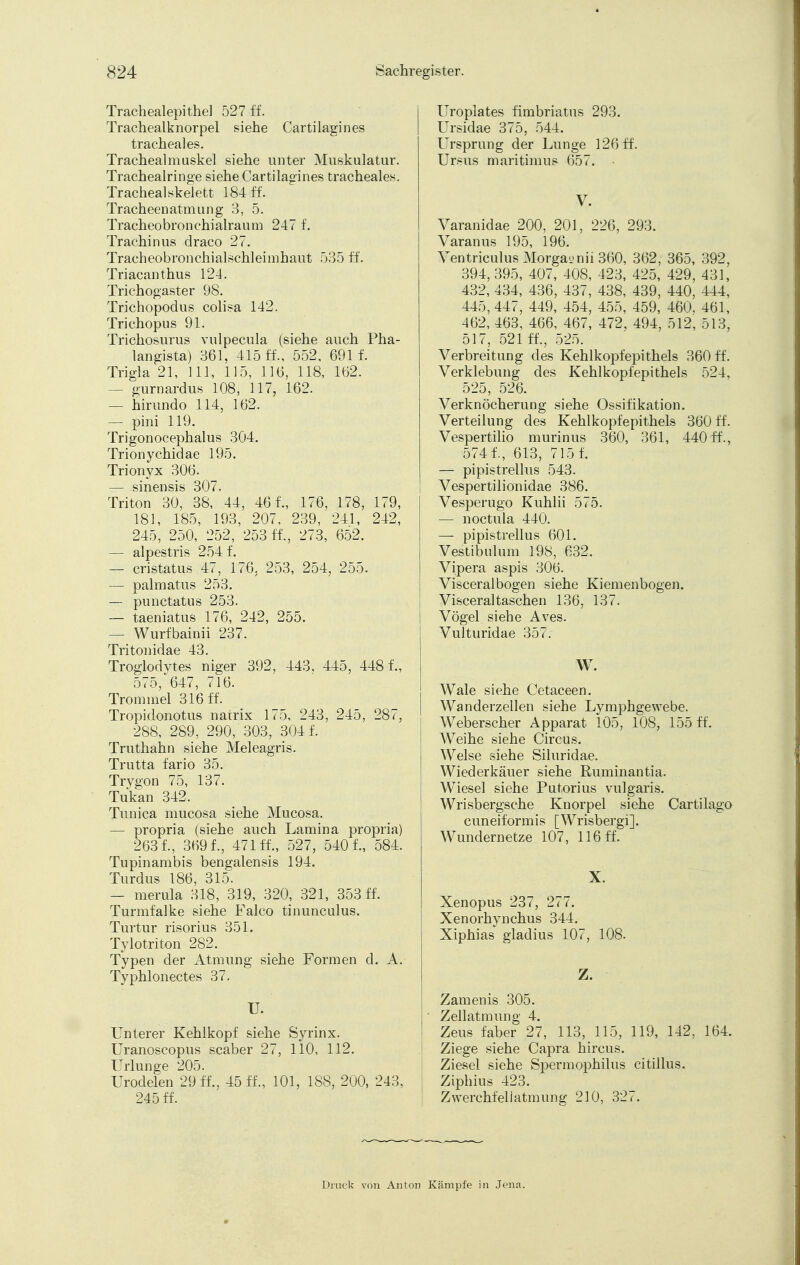 Trachealepithel 527 ff. Trachealknorpel siehe Carti lagin es tracheales. Trachealmuskel siehe unter Muskulatur. Tracheairinge siehe Cartilagines tracheales. Trachealskelett 184 ff. Tracheenatmung 3, 5. Tracheobronchialraum 247 f. Trachinus draco 27. Tracheobronchialschleimhaut 535 ff. Triacanthus 124. Trichogaster 98. Trichopodus colisa 142. Trichopus 91. Trichosurus vulpecula (siehe auch Pha- langista) 361, 415 ff., 552, 691 f. Trigla 21, III, 115, 116, 118, 162. — gurnardus 108, 117, 162. — hirundo 114, 162. — pini 119. Trigonocephalus 3Ö4. Trionychidae 195. Trionyx 306. — sinensis 307. Triton 30, 38, 44, 46 f., 176, 178, 179, 181, 185, 193, 207, 239, 241, 242, 245, 250, 252, 253 ff., 273, 652. — alpestris 254 f. — cristatus 47, 176. 253, 254, 255. — palmatus 253. — punctatus 253. — taeniatus 176, 242, 255. — Wurfbainii 237. Tritonidae 43. Troglodytes niger 392, 443, 445, 4481, 575, 647, 716. Trommel 316 ff. Tropidonotus nairix 175, 243, 245, 287, 288, 289, 290/303, 304 f. Truthahn siehe Meleagris. Trutta fario 35. Trygon 75, 137. Tukan 342. Tunica mucosa siehe Mucosa. — propria (siehe auch Lamina propria) 2631, 3691, 471 fl, 527, 5401, 584. Tupinambis bengalensis 194. Turdus 186, 315. — merula 318, 319, 320, 321, 35311 Turmfalke siehe Falco tinunculus. Turtur risorius 351. Tylotriton 282. Typen der Atmung siehe Formen d. A. Typhlonectes 37. U. Unterer Kehlkopf siehe Syrinx. Uranoscopus scaber 27, 110, 112. Urlunge 205. Urodelen 29 ff., 45 fl, 101, 188, 200, 243, 24511 Uroplates fimbriatus 293. Ursidae 375, 544, Ursprung der Lunge 12611 Ursus maritimus 657. V. Varanidae 200, 201, 226, 293. Varanus 195, 196. Ventriculus Morgan nii 360, 362, 365, 392, 394, 395, 407, 408, 423, 425, 429, 431, 432, 434, 436, 437, 438, 439, 440, 444, 445, 447, 449, 454, 455, 459, 460. 461, 462, 463, 466, 467, 472, 494, 512; 513, 517, 521 ff., 525. Verbreitung des Kehlkopfepithels 360 ff. Verklebung des Kehlkopfepithels 524. 525, 526. Verknöcherung siehe Ossifikation. Verteilung des Kehlkopfepithels 360 ff. Vespertilio murinus 360, 361, 44011, 5741, 613, 7151 — pipistrellus 543. Vespertilionidae 386. Vesperugo Kuhiii 575. — noctula 440. — pipistrellus 601. Vestibulum 198, 632. Vipera aspis 306. Visceral bogen siehe Kiemenbogen. Visceral taschen 136, 137. Vögel siehe Aves. Vulturidae 357. W. Wale siehe Cetaceen. Wanderzellen siehe Lymphgewebe. Weberscher Apparat 105, 108, 155 fl Weihe siehe Circus. Welse siehe Siluridae. Wiederkäuer siehe Ruminantia. Wiesel siehe Putorius vulgaris. Wrisbergsche Knorpel siehe Cartilago cuneiformis [Wrisbergi]. Wundernetze 107, 116 ff. X. Xenopus 237, 277. Xenorhynchus 344. Xiphias gladius 107, 108. z. Zamenis 305. Zellatmung 4. Zeus faber 27, 113, 115, 119, 142, 164. Ziege siehe Capra hircus. Ziesel siehe Spermophilus citillus. Ziphius 423. Zwerchfellatmung 230, 327. Druck von Anton Kämpfe in Jena.