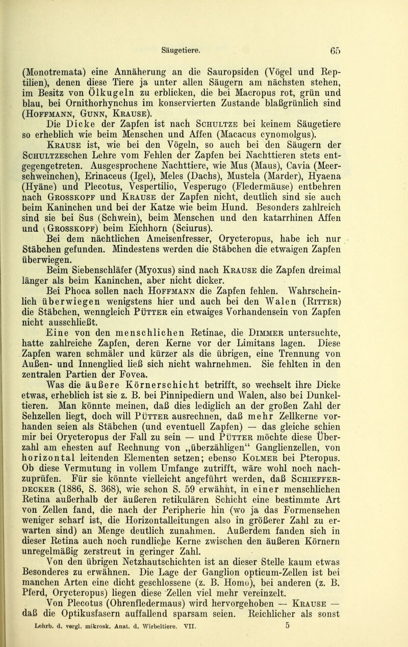 (Monotremata) eine Annäherung an die Sauropsiden (Vögel und Rep- tilien), denen diese Tiere ja unter allen Säugern am nächsten stehen, im Besitz von Ölkugeln zu erblicken, die bei Macropus rot, grün und blau, bei Ornithorhynchus im konservierten Zustande blaßgrünlich sind (Hoffmann, Gunn, Krause). Die Dicke der Zapfen ist nach Schultze bei keinem Säugetiere so erheblich wie beim Menschen und Affen (Macacus cynomolgus). Krause ist, wie bei den Vögeln, so auch bei den Säugern der ScHULTZESchen Lehre vom Fehlen der Zapfen bei Nachttieren stets ent- gegengetreten. Ausgesprochene Nachttiere, wie Mus (Maus), Cavia (Meer- schweinchen), Erinaceus (Igel), Meies (Dachs), Mustela (Marder), Hyaena (Hyäne) und Plecotus, Vespertilio, Vesperugo (Fledermäuse) entbehren nach Grosskopf und Krause der Zapfen nicht, deutlich sind sie auch beim Kaninchen und bei der Katze wie beim Hund. Besonders zahlreich sind sie bei Sus (Schwein), beim Menschen und den katarrhinen Affen und 1^ Grosskopf) beim Eichhorn (Sciurus). Bei dem nächtlichen Ameisenfresser, Orycteropus, habe ich nur Stäbchen gefunden. Mindestens werden die Stäbchen die etwaigen Zapfen überwiegen. Beim Siebenschläfer (Myoxus) sind nach Krause die Zapfen dreimal länger als beim Kaninchen, aber nicht dicker. Bei Phoca sollen nach Hoffmann die Zapfen fehlen. Wahrschein- lich überwiegen wenigstens hier und auch bei den Walen (Ritter) die Stäbchen, wenngleich Pütter ein etwaiges Vorhandensein von Zapfen nicht ausschließt. Eine von den menschlichen Retinae, die Dimmer untersuchte, hatte zahlreiche Zapfen, deren Kerne vor der Limitans lagen. Diese Zapfen waren schmäler und kürzer als die übrigen, eine Trennung von Außen- und Innenglied ließ sich nicht wahrnehmen. Sie fehlten in den zentralen Partien der Fovea. Was die äußere Körnerschicht betrifft, so wechselt ihre Dicke etwas, erheblich ist sie z. B. bei Pinnipediern und Walen, also bei Dunkel- tieren. Man könnte meinen, daß dies lediglich an der großen Zahl der Sehzellen liegt, doch will Pütter ausrechnen, daß mehr Zellkerne vor- handen seien als Stäbchen (und eventuell Zapfen) — das gleiche schien mir bei Orycteropus der Fall zu sein — und Pütter möchte diese Über- zahl am ehesten auf Rechnung von „überzähligen Ganglienzellen, von horizontal leitenden Elementen setzen; ebenso Kolmer bei Pteropus. Ob diese Vermutung in vollem Umfange zutrifft, wäre wohl noch nach- zuprüfen. Für sie könnte vielleicht angeführt werden, daß Schieffer- decker (1886, S. 368), wie schon S. 59 erwähnt, in einer menschlichen Retina außerhalb der äußeren retikulären Schicht eine bestimmte Art von Zellen fand, die nach der Peripherie hin (wo ja das Formensehen weniger scharf ist, die Horizontalleitungen also in größerer Zahl zu er- warten sind) an Menge deutlich zunahmen. Außerdem fanden sich in dieser Retina auch noch rundliche Kerne zwischen den äußeren Körnern unregelmäßig zerstreut in geringer Zahl. Von den übrigen Netzhautschichten ist an dieser Stelle kaum etwas Besonderes zu erwähnen. Die Lage der Ganglion opticum-Zellen ist bei manchen Arten eine dicht geschlossene (z. B. Homo), bei anderen (z. B. Pferd, Orycteropus) liegen diese Zellen viel mehr vereinzelt. Von Plecotus (Ohrenfledermaus) wird hervorgehoben — Krause — daß die Optikusfasern auffallend sparsam seien. Reichlicher als sonst Lehrb. d. vergl. mikrosk. Anat. d. Wirbeltiere. VII. 5