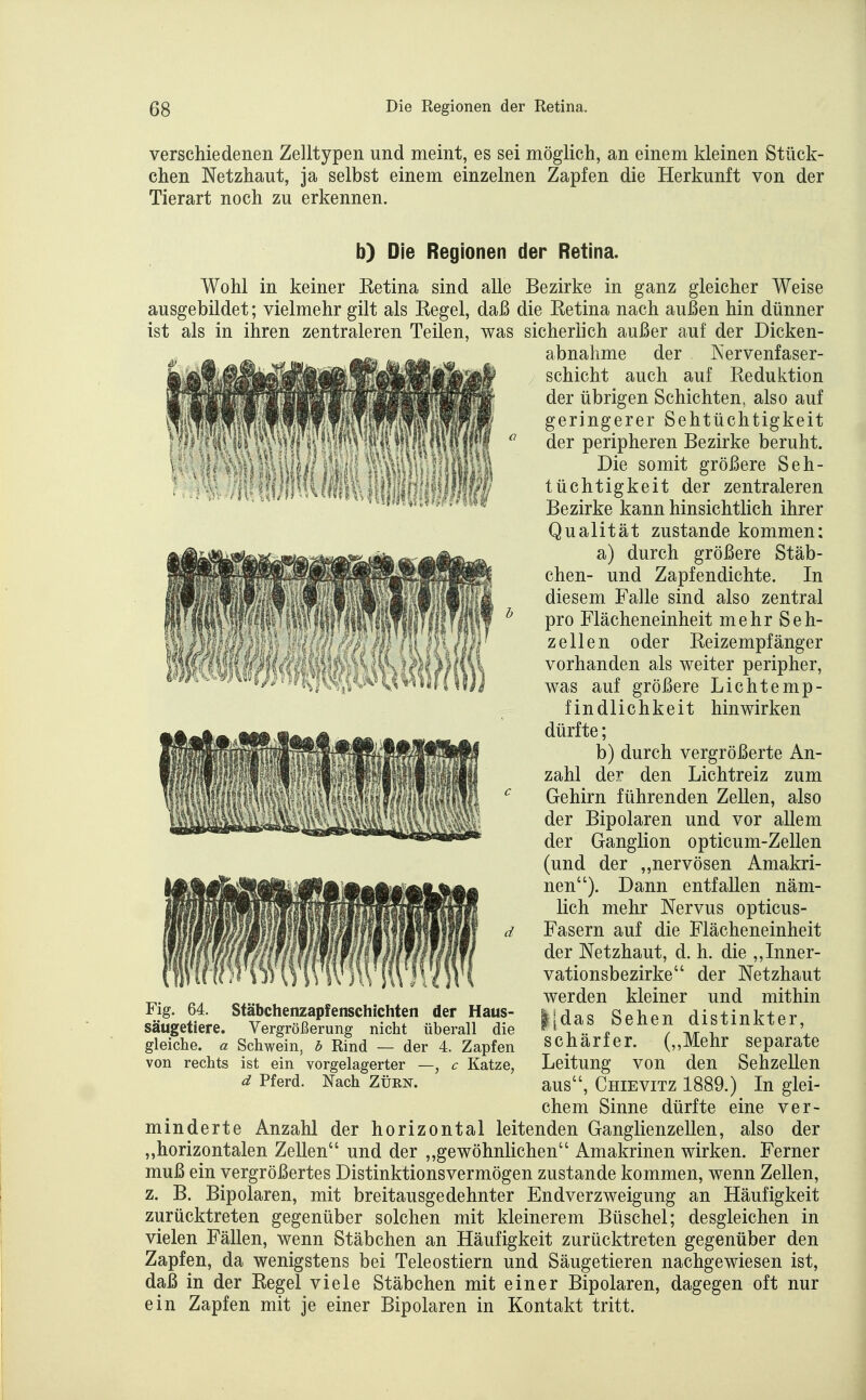 verschiedenen Zelltypen und meint, es sei möglich, an einem kleinen Stück- chen Netzhaut, ja selbst einem einzelnen Zapfen die Herkunft von der Tierart noch zu erkennen. JMm b) Die Regionen der Retina. Wohl in keiner Eetina sind alle Bezirke in ganz gleicher Weise ausgebildet; vielmehr gilt als Kegel, daß die Retina nach außen hin dünner ist als in ihren zentraleren Teilen, was sicherlich außer auf der Dicken- abnahme der Kervenfaser- schicht auch auf Reduktion der übrigen Schichten, also auf geringerer Sehtüchtigkeit der peripheren Bezirke beruht. Die somit größere Seh- tüchtigkeit der zentraleren Bezirke kann hinsichtlich ihrer Qualität zustande kommen: a) durch größere Stäb- chen- und Zapfendichte. In diesem Falle sind also zentral pro Flächeneinheit mehr Seh- zellen oder Reizempfänger vorhanden als weiter peripher, was auf größere Lichtemp- findlichkeit hinwirken dürfte; b) durch vergrößerte An- zahl der den Lichtreiz zum Gehirn führenden Zellen, also der Bipolaren und vor allem der Ganglion opticum-Zellen (und der „nervösen Amakri- nen). Dann entfallen näm- lich mehr Nervus opticus- Fasern auf die Flächeneinheit der Netzhaut, d. h. die „Inner- vationsbezirke der Netzhaut werden kleiner und mithin ||das Sehen distinkter, schärfer. (,,Mehr separate Leitung von den Sehzellen aus, Chievitz 1889.) In glei- chem Sinne dürfte eine ver- minderte Anzahl der horizontal leitenden Ganglienzellen, also der ,,horizontalen Zellen und der „gewöhnlichen Amakrinen wirken. Ferner muß ein vergrößertes Distinktionsvermögen zustande kommen, wenn Zellen, z. B. Bipolaren, mit breitausgedehnter Endverzweigung an Häufigkeit zurücktreten gegenüber solchen mit kleinerem Büschel; desgleichen in vielen Fällen, wenn Stäbchen an Häufigkeit zurücktreten gegenüber den Zapfen, da wenigstens bei Teleostiern und Säugetieren nachgewiesen ist, daß in der Regel viele Stäbchen mit einer Bipolaren, dagegen oft nur ein Zapfen mit je einer Bipolaren in Kontakt tritt. Fig. 64. Stäbchenzapfenschichten der Haus- säugetiere. Vergrößerung nicht überall die gleiche, a Schwein, b Rind — der 4. Zapfen von rechts ist ein vorgelagerter —, c Katze, d Pferd. Nach ZÜRN.