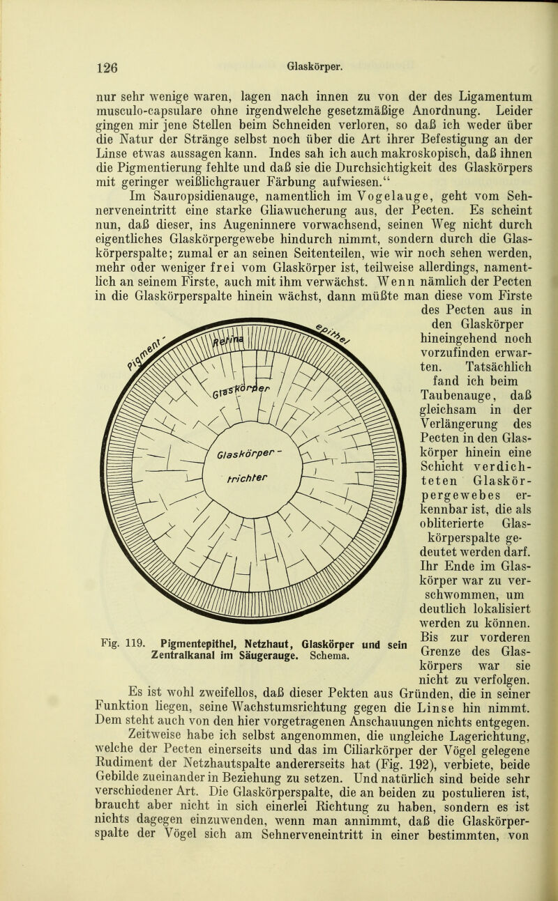 nur sehr wenige waren, lagen nach innen zu von der des Ligamentum musculo-capsulare ohne irgendwelche gesetzmäßige Anordnung. Leider gingen mir jene Stellen beim Schneiden verloren, so daß ich weder über die Natur der Stränge selbst noch über die Art ihrer Befestigung an der Linse etwas aussagen kann. Indes sah ich auch makroskopisch, daß ihnen die Pigmentierung fehlte und daß sie die Durchsichtigkeit des Glaskörpers mit geringer weißUchgrauer Färbung aufwiesen. Im Sauropsidienauge, namentlich im Vogelauge, geht vom Seh- nerveneintritt eine starke Gliawucherung aus, der Pecten. Es scheint nun, daß dieser, ins Augeninnere vorwachsend, seinen Weg nicht durch eigentliches Glaskörpergewebe hindurch nimmt, sondern durch die Glas- körperspalte; zumal er an seinen Seitenteilen, wie wir noch sehen werden, mehr oder weniger frei vom Glaskörper ist, teilweise allerdings, nament- lich an seinem Firste, auch mit ihm verwächst. Wenn nämlich der Pecten in die Glaskörperspalte hinein wächst, dann müßte man diese vom Firste des Pecten aus in den Glaskörper hineingehend noch vorzufinden erwar- ten. Tatsächlich fand ich beim Taubenauge, daß gleichsam in der Verlängerung des Pecten in den Glas^ körper hinein eine Schicht verdich- teten Glaskör- pergewebes er- kennbar ist, die als obliterierte Glas- körperspalte ge- deutet werden darf. Ihr Ende im Glas- körper war zu ver- schwommen, um deutlich lokaUsiert werden zu können. Bis zur vorderen Grenze des Glas- körpers war sie nicht zu verfolgen. Es ist wohl zweifellos, daß dieser Pekten aus Gründen, die in seiner Funktion liegen, seine Wachstumsrichtung gegen die Linse hin nimmt. Dem steht auch von den hier vorgetragenen Anschauungen nichts entgegen. Zeitweise habe ich selbst angenommen, die ungleiche Lagerichtung, welche der Pecten einerseits und das im Ciliarkörper der Vögel gelegene Rudiment der Netzhautspalte andererseits hat (Fig. 192), verbiete, beide Gebilde zueinander in Beziehung zu setzen. UndnatürKch sind beide sehr verschiedener Art. Die Glaskörperspalte, die an beiden zu postuHeren ist, braucht aber nicht in sich einerlei Richtung zu haben, sondern es ist nichts dagegen einzuwenden, wenn man annimmt, daß die Glaskörper- spalte der Vögel sich am Sehnerveneintritt in einer bestimmten, von Fig. 119. Pigmentepithel, Netzhaut, Glaskörper und sein Zentralltanal im Säugerauge. Schema.