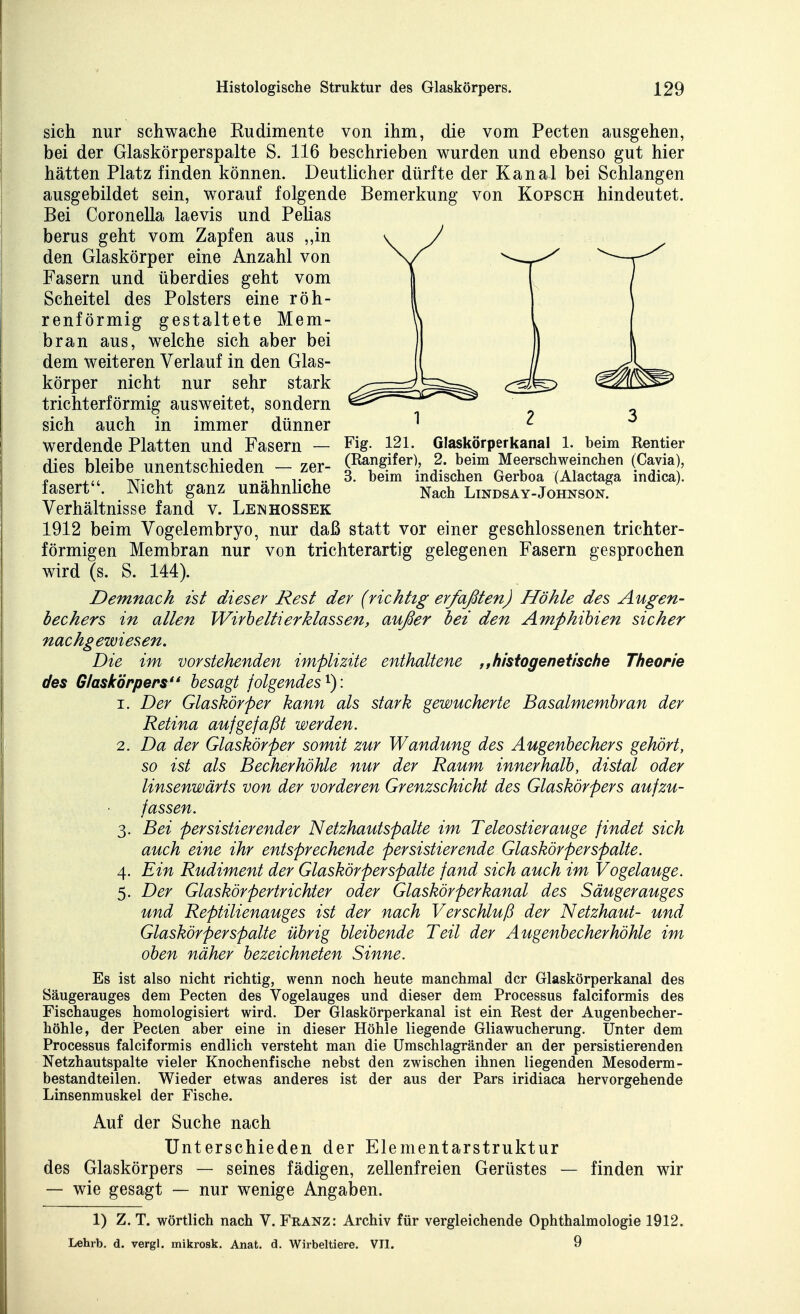 Fig. 121. Glaskörperkanal 1. beim Rentier (Rangifer), 2. beim Meerschweinchen (Cavia), 3. beim indischen Gerboa (Alactaga indica). Nach LiNDSAY-JOHNSON. sich nur schwache Rudimente von ihm, die vom Pecten ausgehen, bei der Glaskörperspalte S. 116 beschrieben wurden und ebenso gut hier hätten Platz finden können. Deutlicher dürfte der Kanal bei Schlangen ausgebildet sein, worauf folgende Bemerkung von Kopsch hindeutet. Bei Coronella laevis und Pehas berus geht vom Zapfen aus „in den Glaskörper eine Anzahl von Fasern und überdies geht vom Scheitel des Polsters eine röh- renförmig gestaltete Mem- bran aus, welche sich aber bei dem weiteren Verlauf in den Glas- körper nicht nur sehr stark trichterförmig ausweitet, sondern sich auch in immer dünner werdende Platten und Fasern — dies bleibe unentschieden — zer- fasert. Nicht ganz unähnliche Verhältnisse fand v. Lenhossek 1912 beim Vogelembryo, nur daß statt vor einer geschlossenen trichter- förmigen Membran nur von trichterartig gelegenen Fasern gesprochen wird (s. S. 144). Demnach ist dieser Rest der (richtig erfaßten) Höhle des Augen- bechers in allen Wirhelti er Massen, außer bei den Amphibien sicher nachgewiesen. Die im vorstehenden implizite enthaltene ,,hisiogeneiische Theorie des Glaskörpers*' besagt folgendes^): 1. Der Glaskörper kann als stark gewucherte Basalmembran der Retina aufgefaßt werden. 2. Da der Glaskörper somit zur Wandung des Augenbechers gehört, so ist als Becherhöhle nur der Raum innerhalb, distal oder linsenwärts von der vorderen Grenzschicht des Glaskörpers aufzu- fassen. 3. Bei persistierender Netzhautspalte im Teleostierauge findet sich auch eine ihr entsprechende persistierende Glaskörper spalte. 4. Ein Rudiment der Glaskörper spalte fand sich auch im Vogelauge. 5. Der Glaskörpertrichter oder Glaskörperkanal des Säugerauges und Reptilienauges ist der nach Verschluß der Netzhaut- und Glaskörper spalte übrig bleibende Teil der Augenbecherhöhle im oben näher bezeichneten Sinne. Es ist also nicht richtig, wenn noch heute manchmal der Glaskörperkanal des Säugerauges dem Pecten des Vogelauges und dieser dem. Processus falciformis des Fischauges homologisiert wird. Der Glaskörperkanal ist ein Rest der Augenbecher- höhle, der Pecten aber eine in dieser Höhle liegende Gliawucherung. Unter dem Processus falciformis endlich versteht man die ümschlagränder an der persistierenden Netzhautspalte vieler Knochenfische nebst den zwischen ihnen liegenden Mesoderm- bestandteilen. Wieder etwas anderes ist der aus der Pars iridiaca hervorgehende Linsenmuskel der Fische. Auf der Suche nach Unterschieden der Elementarstruktur des Glaskörpers — seines fädigen, zellenfreien Gerüstes — finden wir — wie gesagt — nur wenige Angaben. 1) Z. T. wörtlich nach V. Franz: Archiv für vergleichende Ophthalmologie 1912. Lehrb. d. vergl. mikrosk. Anat. d. Wirbeltiere. VIl. 9