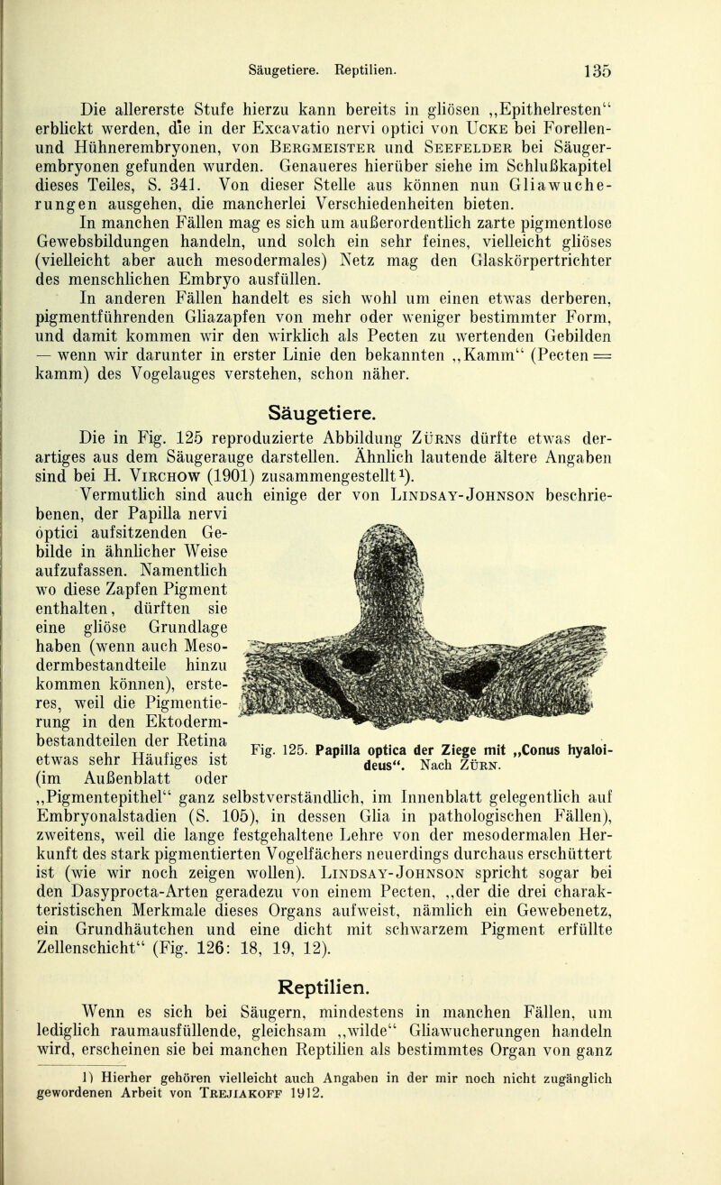 Die allererste Stufe hierzu kann bereits in gliösen „Epithelresten erblickt werden, die in der Excavatio nervi optici von Ucke bei Forellen- und Hühnerembryonen, von Bergmeister und Seefelder bei Säuger- embryonen gefunden wurden. Genaueres hierüber siehe im Schlußkapitel dieses Teiles, S. 341. Von dieser Stelle aus können nun GHaWuche- rung en ausgehen, die mancherlei Verschiedenheiten bieten. In manchen Fällen mag es sich um außerordentlich zarte pigmentlose Gewebsbildungen handeln, und solch ein sehr feines, vielleicht gliöses (vielleicht aber auch mesodermales) Netz mag den Glaskörpertrichter des menschhchen Embryo ausfüllen. In anderen Fällen handelt es sich wohl um einen etwas derberen, pigmentführenden GHazapfen von mehr oder weniger bestimmter Form, und damit kommen wir den wirkhch als Pecten zu wertenden Gebilden — wenn wir darunter in erster Linie den bekannten ,,Kamm (Pecten = kämm) des Vogelauges verstehen, schon näher. Säugetiere. Die in Fig. 125 reproduzierte Abbildung Zürns dürfte etwas der- artiges aus dem Säugerauge darstellen. Ähnlich lautende ältere Angaben sind bei H. Virchow (1901) zusammengestellt i). Vermutlich sind auch einige der von Lindsay-Johnson beschrie- benen, der Papilla nervi optici aufsitzenden Ge- bilde in ähnlicher Weise aufzufassen. Namentüch wo diese Zapfen Pigment enthalten, dürften sie eine gliöse Grundlage haben (wenn auch Meso- dermbestandteile hinzu kommen können), erste- res, weil die Pigmentie- rung in den Ektoderm- bestandteilen der Retina ^. -.«r -u j.- ^ r,- -j. ^ t. i • , 1 TT - • X Flg. 125. Papilla optica der Ziege mit ,,Conus hyaloi- etwas sehr Häufiges ist *^ de^us*«. Nach Zürn. (im Außenblatt oder ,, Pigment epithel ganz selbst verständUch, im Innenblatt gelegenthch auf Embryonalstadien (S. 105), in dessen Glia in pathologischen Fällen), zweitens, weil die lange festgehaltene Lehre von der mesodermalen Her- kunft des stark pigmentierten Vogelfächers neuerdings durchaus erschüttert ist (wie wir noch zeigen wollen). Lindsay-Johnson spricht sogar bei den Dasyprocta-Arten geradezu von einem Pecten, ,,der die drei charak- teristischen Merkmale dieses Organs aufweist, nämhch ein Gewebenetz, ein Grundhäutchen und eine dicht mit schwarzem Pigment erfüllte Zellenschicht (Fig. 126: 18, 19, 12). Reptilien. Wenn es sich bei Säugern, mindestens in manchen Fällen, um lediglich raumausfüllende, gleichsam ,,wilde Ghawucherungen handeln wird, erscheinen sie bei manchen Reptihen als bestimmtes Organ von ganz \) Hierher gehören vielleicht auch Angahen in der mir noch nicht zugänglich gewordenen Arbeit von TßEJiAKOFF 1912.