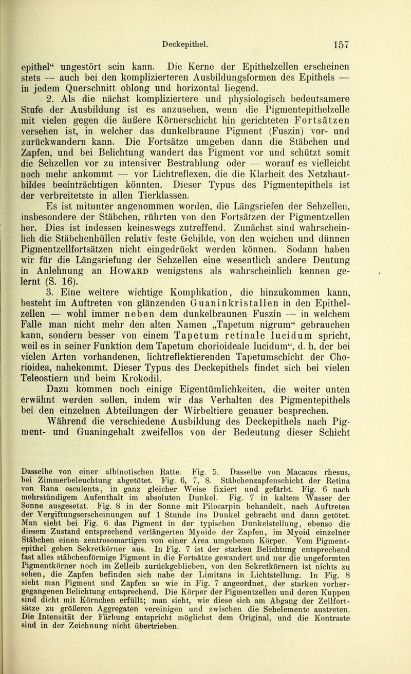 epithel ungestört sein kann. Die Kerne der Epithelzellen erscheinen stets — auch bei den komplizierteren Ausbildungsformen des Epithels — in jedem Querschnitt oblong und horizontal liegend. 2. Als die nächst kompliziertere und physiologisch bedeutsamere Stufe der Ausbildung ist es anzusehen, wenn die Pigmentepithelzelle mit vielen gegen die äußere Körnerschicht hin gerichteten Fortsätzen versehen ist, in welcher das dunkelbraune Pigment (Fuszin) vor- und zurückwandern kann. Die Fortsätze umgeben dann die Stäbchen und Zapfen, und bei Belichtung wandert das Pigment vor und schützt somit die Sehzellen vor zu intensiver Bestrahlung oder — worauf es vielleicht noch mehr ankommt — vor Lichtreflexen, die die Klarheit des Netzhaut- bildes beeinträchtigen könnten. Dieser Typus des Pigmentepithels ist der verbreitetste in allen Tierklassen. Es ist mitunter angenommen worden, die Längsriefen der Sehzellen, insbesondere der Stäbchen, rührten von den Fortsätzen der Pigmentzellen her. Dies ist indessen keineswegs zutreffend. Zunächst sind wahrschein- lich die Stäbchenhüllen relativ feste Gebilde, von den weichen und dünnen Pigmentzeilfortsätzen nicht eingedrückt werden können. Sodann haben wir für die Längsriefung der Sehzellen eine wesentlich andere Deutung in Anlehnung an Hovtard wenigstens als wahrscheinlich kennen ge- lernt (S. 16). 3. Eine weitere wichtige Komplikation, die hinzukommen kann, besteht im Auftreten von glänzenden Guaninkristallen in den Epithel- zellen — wohl immer neben dem dunkelbraunen Fuszin — in welchem Falle man nicht mehr den alten Namen „Tapetum nigrum gebrauchen kann, sondern besser von einem Tapetum retinale lucidum spricht, weil es in seiner Funktion dem Tapetum chorioideale lucidum, d. h. der bei vielen Arten vorhandenen, lichtreflektierenden Tapetumschicht der Cho- rioidea, nahekommt. Dieser Typus des Deckepithels findet sich bei vielen Teleostiern und beim Krokodil. Dazu kommen noch einige Eigentümlichkeiten, die weiter unten erwähnt werden sollen, indem wir das Verhalten des Pigmentepithels bei den einzelnen Abteilungen der Wirbeltiere genauer besprechen. Während die verschiedene Ausbildung des Deckepithels nach Pig- ment- und Guaningehalt zweifellos von der Bedeutung dieser Schicht Dasselbe von einer albinotischen Ratte. Fig. 5. Dasselbe von Macacus rhesus, bei Zimmerbeleuchtung abgetötet. Fig. 6, 7, 8. Stäbchenzapfenschicht der Retina von Rana esculenta, in ganz gleicher Weise fixiert und gefärbt. Fig. 6 nach mehrstündigem Aufenthalt im absoluten Dunkel. Fig. 7 in kaltem Wasser der Sonne ausgesetzt. Fig. 8 in der Sonne mit Pilocarpin behandelt, nach Auftreten der Vergiftungserscheinungen auf 1 Stunde ins Dunkel gebracht und dann getötet. Man sieht bei Fig. 6 das Pigment in der typischen Dunkelstellung, ebenso die diesem Zustand entsprechend verlängerten Myoide der Zapfen, im Myoid einzelner Stäbchen einen zentrosomartigen von einer Area umgebenen Körper. Vom Pigment- epithel gehen Sekretkörner aus. In Fig. 7 ist der starken Belichtung entsprechend fast alles stäbchenförmige Pigment in die Fortsätze gewandert und nur die ungeformten Pigmentkörner noch im Zelleib zurückgeblieben, von den Sekretkörnern ist nichts zu sehen, die Zapfen befinden sich nahe der Limitans in Lichtstellung. In Fig. 8 sieht man Pigment und Zapfen so wie in Fig. 7 angeordnet, der starken vorher- gegangenen Belichtung entsprechend. Die Körper der Pigmentzellen und deren Kuppen sind dicht mit Körnchen erfüllt; man sieht, wie diese sich am Abgang der Zellfort- sätze zu größeren Aggregaten vereinigen und zwischen die Sehelemente austreten. Die Intensität der Färbung entspricht möglichst dem Original, und die Kontraste sind in der Zeichnung nicht übertrieben.
