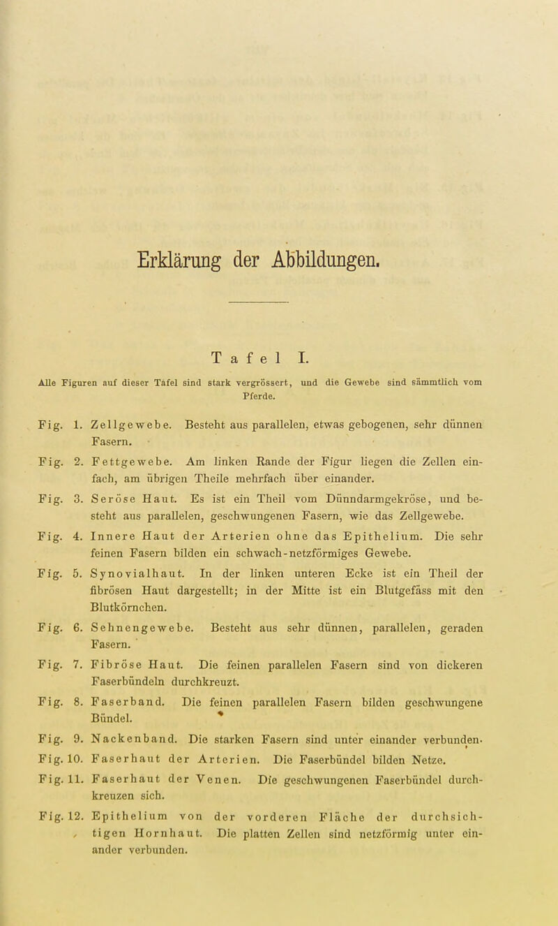 Erklärung der Abbildungen. Tafel i. Alle Figuren auf dieser Tafel sind stark vergrössert, und die Gewebe sind sämmtlicli vom Pferde. Fig. 1. Zellgewebe. Besteht aus parallelen, etwas gebogenen, sehr dünnen Fasern. Fig. 2. Fettgewebe. Am linken Rande der Figur liegen die Zellen ein- fach, am übrigen Theile mehrfach über einander. Fig. 3. Seröse Haut. Es ist ein Theil vom Dünndarmgekröse, und be- steht aus parallelen, geschwungenen Fasern, wie das Zellgewebe. Fig. 4. Innere Haut der Arterien ohne das Epithelium. Die sehr feinen Fasern bilden ein schwach - netzförmiges Gewebe. Fig. 5. Synovialhaut. In der linken unteren Ecke ist ein Theil der fibrösen Haut dargestellt; in der Mitte ist ein Blutgefäss mit den Blutkörnchen. Fig. 6. Sehnengewebe. Besteht aus sehr dünnen, parallelen, geraden Fasern. ' Fig. 7. Fibröse Haut. Die feinen parallelen Fasern sind von dickeren Faserbündeln durchkreuzt. Fig. 8. Faserband. Die feinen parallelen Fasern bilden geschwungene Bündel. * Fig. 9. Nackenband. Die starken Fasern sind unter einander verbunden- Fig. 10. Faserhaut der Arterien. Die Faserbündcl bilden Netze. Fig. 11. Faserhaut der Venen. Die geschwungenen Faserbündel durch- kreuzen sich. Fig. 12. Epithelium von der vorderen Fläche der durchsich- , tigen Hornhaut. Die platten Zellen sind netzförmig unter ein- ander verbunden.