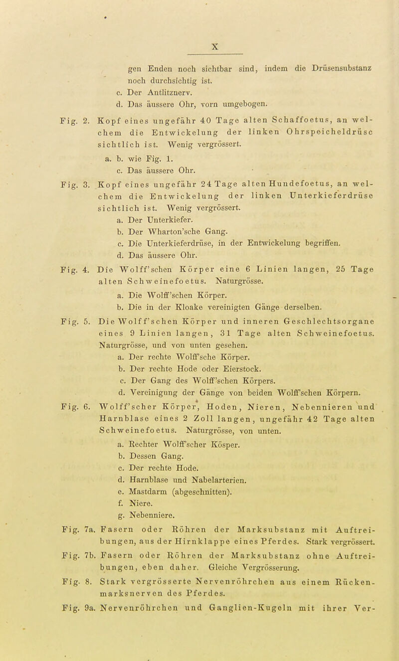 gen Enden noch sichtbar sind, indem die Drüsensubstanz noch durchsichtig ist. c. Der Antlitznerv. d. Das äussere Ohr, vorn umgebogen. Fig. 2. Kopf eines ungefähr 40 Tage alten Schaffoetus, an wel- chem die Entwickelung der linken Ohrspeicheldrüse sichtlich ist. Wenig vergrössert. a. b. wie Fig. 1. c. Das äussere Ohr. Fig. 3. Kopf eines ungefähr 24 Tage alten Hundefoetus, an wel- chem die Entwickelung der linken Unterkieferdrüse sichtlich ist. Wenig vergrössert. a. Der Unterkiefer. b. Der Wharton'sche Gang. c. Die Unterkieferdrüse, in der Entwickelung begriffen. d. Das äussere Ohr. Fig. 4. Die Wolff'schen Körper eine 6 Linien langen, 25 Tage alten Schweinefoetus. Naturgrösse. a. Die Wolff'schen Körper. b. Die in der Kloake vereinigten Gänge derselben. Fig. 5. Die Wolf f'schen Körper und inneren Geschlechtsorgane eines 9 Linien langen, 31 Tage alten Schweinefoetus. Naturgrösse, und von unten gesehen. a. Der rechte Wolffsche Körper. b. Der rechte Hode oder Eierstock. c. Der Gang des Wolff'schen Körpers. d. Vereinigung der Gänge von beiden Wolffschen Körpern. Fig. 6. Wolff'scher Körper, Hoden, Nieren, Nebennieren und Harnblase eines 2 Zoll langen, ungefähr 42 Tage alten Schweinefoetus. Naturgrösse, von unten. a. Rechter Wolff'scher Kösper. b. Dessen Gang. c. Der rechte Hode. d. Harnblase und Nabelarterien. e. Mastdarm (abgeschnitten). f. Niere. g. Nebenniere. Fig. 7a. Fasern oder Röhren der Marksubstanz mit Auftrei- bungen, aus der Hirnklappe eines Pferdes. Stark vergrössert. Fig. 7b. Fasern oder Röhren der Marksubstanz ohne Auftrei- bungen, eben daher. Gleiche Vergrösserung. Fig. 8. Stark vergrösserte Nervenröhrchen aus einem Rücken- marksnerven des Pferdes. Fig. 9a. Nervenröhrchen und Ganglien-Kugoln mit ihrer Ver-