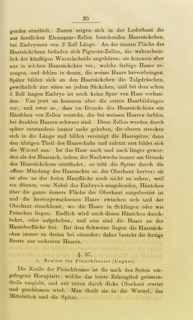 gendes ermittelt. Zuerst zeigen sich in der Lederhaut die aus deutlichen Elementar-Zellen bestehenden Haarsäckchen, bei Embryonen von 2 Zoll Länge. An der innern Fläche des Haarsäckchens befinden sich Pigment-Zellen, die wahrschein- lich der künftigen Wurzelscheide angehören; sie kommen aber nur in solchen Haarsäckchen vor, welche farbige Haare er- zeugen, und fehlen in denen, die weisse Haare hervorbringen. Später bilden sich an den Haarsäckchen die Talgdrüschen, gewöhnlich nur eines an jedem Säckchen, und bei dem schon 5 Zoll langen Embryo ist noch keine Spur von Haar vorhan- den. Von jetzt an kommen aber die ersten Haarbildungen vor, und zwar so, dass im Grunde des Haarsäckchens ein Häufchen von Zellen entsteht, die bei weissen Haaren farblos, bei dunklen Haaren schwarz sind. Diese Zellen werden durch später entstandene immer mehr gehoben, die oberen strecken sich in die Länge und bilden vereinigt die Haarspitze, dann den übrigen Theil des Haarschafts und zuletzt erst bildet sich die Wurzel aus. Ist das Haar nach und nach länger gewor- den als der Haarsack, indem der Nachwuchs immer am Grvxnde des Haarsäckchens stattfindet, so tritt die Spitze durch die offene Mündung des Haarsackes an der Oberhaut hervor; sie ist aber an der freien Hautfläche noch nicht zu sehen, weil ein dünnes, vom Nabel des Embryo's ausgehendes, Häutchen über die ganze äussere Fläche der Oberhaut ausgebreitet ist und die hervorgewachsenen Haare zwischen sich und der Oberhaut einschliesst, wo die Haare in Schlingen oder wie Peitschen liegen. Endlich wird auch dieses Häutchen durch- bohrt, oder aufgehoben, und nun sind die Haare an der Hautoberfläche frei. Bei dem Schweine liegen die Haarsäck- chen immer zu dreien bei einander; daher besteht die fertige Borste aus mehreren Haaren. §. 37. c. Krallen der Fleischfresser (Ungues). Die Kralle der Fleischfresser ist die nach den Seiten um- gebogene Hornplatte, welche das letzte Zehenglied grössten- teils umgiebt, und nur unten durch dicke Oberhaut ersetzt und geschlossen wird. Man theilt sie in die Wurzel, das Mittelstück und die Spitze.