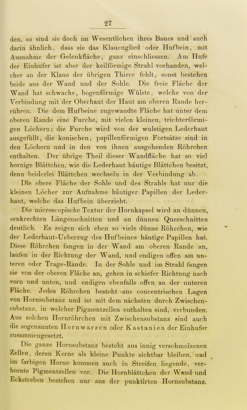 den, so sind sie doch im Wesentlichen ihres Baues und auch darin ähnlich, dass sie das Klauenglied oder Hufbein, mit Ausnahme der Gelenkfläche, ganz einschliessen. Am Hufe der Einhufer ist aber der keilförmige Strahl vorhanden, wel- cher an der Klaue der übrigen Thiere fehlt, sonst bestehen beide aus der Wand und der Sohle. Die freie Fläche der Wand hat schwache, bogenförmige Wülste, welche von der Verbindung mit der Oberhaut der Haut am oberen Rande her- rühren. Die dem Hufbeine zugewandte Fläche hat unter dem oberen Rande eine Furche, mit vielen kleinen, trichterförmi- gen Löchern; die Furche wird von der wulstigen Lederhaut ausgefüllt, die konischen, papillenförmigen Fortsätze sind in den Löchern und in den von ihnen ausgehenden Röhrchen enthalten. Der übrige Theil dieser Wandfläche hat so viel hornige Blättchen, wie die Lederhaut häutige Blättchen besitzt, denn beiderlei Blättchen wechseln in der Verbindung ab. Die obere Fläche der Sohle und des Strahls hat nur die kleinen Löcher zur Aufnahme häutiger Papillen der Leder- haut, welche das Hufbein überzieht. Die microscopische Textur der Hornkapsel wird an dünnen, senkrechten Längenschnitten und an dünnen Querschnitten deutlich. Es zeigen sich eben so viele dünne Röhrchen, wie der Lederhaut-Ueberzug des Huf beines häutige Papillen hat. Diese Röhrchen fangen in der Wand am oberen Rande an, laufen in der Richtung der Wand, und endigen offen am un- teren oder Trage-Rande. In der Sohle und im Strahl fangen sie von der oberen Fläche an, gehen in schiefer Richtung nach vorn und unten, und endigen ebenfalls offen an der unteren Fläche. Jedes Röhrchen besteht >aus concentrischen Lagen von Hornsubstanz und ist mit dem nächsten durch Zwischen- substanz, in welcher Pigmentzellen enthalten sind, verbunden. Aus solchen Hornröhrchen mit Zwischensubstanz sind auch die sogenannten Hornwarzen oder Kastanien der Einhufer zusammengesetzt. Die ganze Hornsubstanz besteht aus innig verschmolzenen Zeilen. deren Kerne als kleine Punkte sichtbar bleiben, und im farbigen Home kommen auch in Streifen liegende, ver- hornte Pigmentzellen vor. Die Hornblättchen der Wand und Eckstreben bestehen nur aus der punktirten Hornsubstanz.