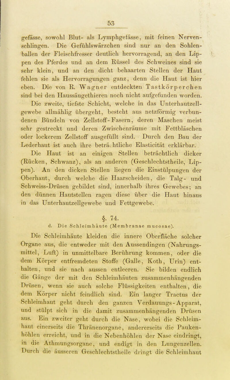 gefässe, sowohl Blut- als Lymphgefässe, mit feinen Nerven- schlingen. Die Gefühlswärzchen sind nur an den Sohlen- ballen der Fleischfresser deutlich hervorragend, an den Lip- pen des Pferdes und an dem Rüssel des Schweines sind sie sehr klein, und an den dicht behaarten Stellen der Haut fehlen sie als Hervorragungen ganz, denn die Haut ist hier eben. Die von R. Wagner entdeckten Tastkörperchen sind bei den Haussäugethieren noch nicht aufgefunden worden. Die zweite, tiefste Schicht, welche in das Unterhautzell- gewebe allmählig übergeht, besteht aus netzförmig verbun- denen Bündeln von Zellstoff-Fasern, deren Maschen meist sehr gestreckt und deren Zwischenräume mit Fettbläschen oder lockerem Zellstoff ausgefüllt sind. Durch den Bau der Lederhaut ist auch ihre beträchtliche Elasticität erklärbar. Die Haut ist an einigen Stellen beträchtlich dicker (Rücken, Schwanz), als an anderen (Geschlechtstheile, Lip- pen). An den dicken Stellen liegen die Einstülpungen der Oberhaut, durch welche die Haarscheiden, die Talg- und Schweiss-Drüsen gebildet sind, innerhalb ihres Gewebes; an den dünnen Hautstellen ragen diese über die Haut hinaus in das Unterhautzellgewebe und Fettgewebe. §. 74. d. Die Schleimhäute (Membranae mucosae). Die Schleimhäute kleiden die innere Oberfläche solcher Organe aus, die entweder mit den Aussendingen (Nahrungs- mittel, Luft) in unmittelbare Berührung kommen, oder die dem Körper entfremdeten Stoffe (Galle, Koth, Urin) ent- halten, und sie nach aussen entleeren. Sie bilden endlich die Gänge der mit den Schleimhäuten zusammenhängenden Drüsen, wenn sie auch solche Flüssigkeiten enthalten, die dem Körper nicht feindlich sind. Ein langer Tractus der Schleimhaut geht durch den ganzen Verdauungs-Apparat, und stülpt sich in die damit zusammenhängenden Drüsen aus. Ein zweiter geht durch die Nase, wobei die Schleim- haut einerseits die Thränenorgane, andererseits die Pauken- höhlen erreicht, und in die Nebenhöhlen der Nase eindringt, in die Athmungsorgane, und endigt in den Lungenzellen. Durch die äusseren Geschlechtstheile dringt die Schleimhaut