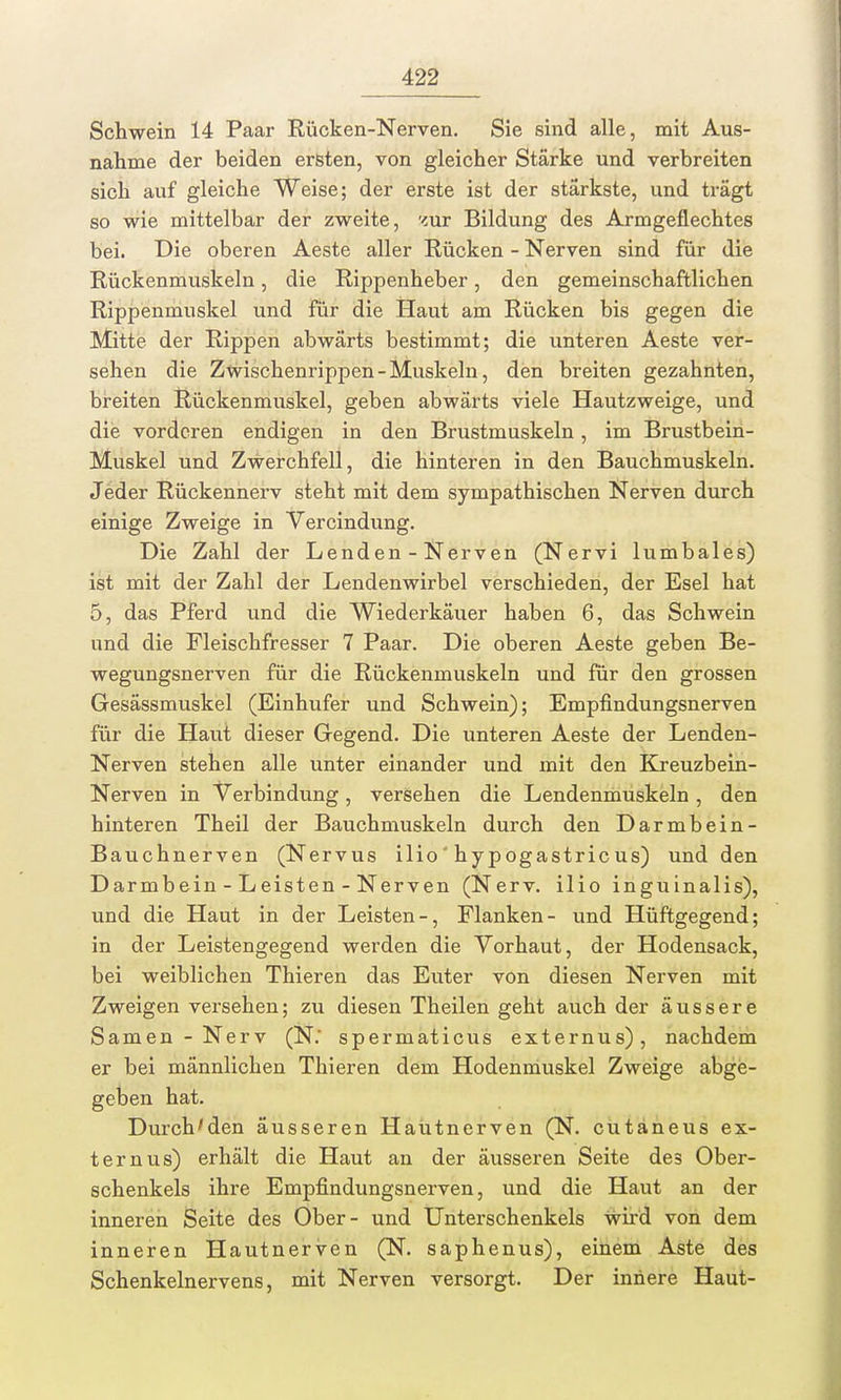 Schwein 14 Paar Rücken-Nerven. Sie sind alle, mit Aus- nahme der beiden ersten, von gleicher Stärke und verbreiten sich auf gleiche Weise; der erste ist der stärkste, und trägt so wie mittelbar der zweite, zur Bildung des Armgeflechtes bei. Die oberen Aeste aller Rücken - Nerven sind für die Rückenmuskeln, die Rippenheber, den gemeinschaftlichen Rippenmuskel und für die Haut am Rücken bis gegen die Mitte der Rippen abwärts bestimmt; die unteren Aeste ver- sehen die Zwischenrippen-Muskeln, den breiten gezahnten, breiten Rückenmuskel, geben abwärts viele Hautzweige, und die vorderen endigen in den Brustmuskeln, im Brustbein- Muskel und Zwerchfell, die hinteren in den Bauchmuskeln. Jeder Rückennerv steht mit dem sympathischen Nerven durch einige Zweige in Vercindung. Die Zahl der Lenden - Nerven (Nervi lumbales) ist mit der Zahl der Lendenwirbel verschieden, der Esel hat 5, das Pferd und die Wiederkäuer haben 6, das Schwein und die Fleischfresser 7 Paar. Die oberen Aeste geben Be- wegungsnerven für die Rückenmuskeln und für den grossen Gesässmuskel (Einhufer und Schwein); Empfindungsnerven für die Haut dieser Gegend. Die unteren Aeste der Lenden- Nerven stehen alle unter einander und mit den Kreuzbein- Nerven in Verbindung, versehen die Lendenmuskeln, den hinteren Theil der Bauchmuskeln durch den Darmbein- Bauchnerven (Nervus ilio' hypogastric us) und den Darmbein - Leisten - Nerven (Nerv, ilio inguinalis), und die Haut in der Leisten-, Flanken- und Hüftgegend; in der Leistengegend werden die Vorhaut, der Hodensack, bei weiblichen Thieren das Euter von diesen Nerven mit Zweigen versehen; zu diesen Theilen geht auch der äussere Samen - Nerv (N: spermaticus externus), nachdem er bei männlichen Thieren dem Hodenmuskel Zweige abge- en hat. Durch'den äusseren Hautnerven (N. cutaneus ex- ternus) erhält die Haut an der äusseren Seite des Ober- schenkels ihre Empfindungsnerven, und die Haut an der inneren Seite des Ober- und Unterschenkels wird von dem inneren Hautnerven (N. saphenus), einem Aste des Schenkelnervens, mit Nerven versorgt. Der innere Haut-