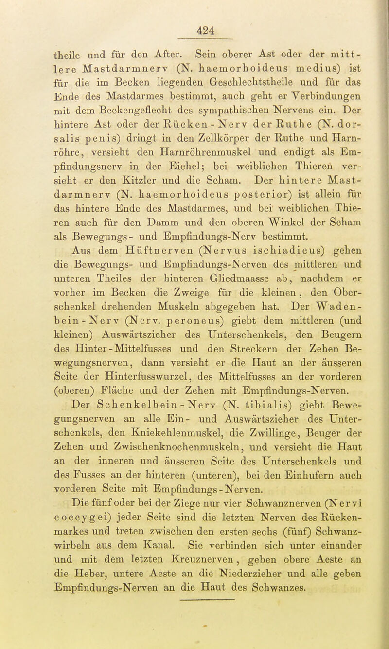 theile und für den After. Sein oberer Ast oder der mitt- lere Mastdarmnerv (N. haemorhoideus medius) ist für die im Becken liegenden Geschlechtstheile und für das Ende des Mastdarmes bestimmt, auch geht er Verbindungen mit dem Beckengeflecht des sympathischen Nervens ein. Der hintere Ast oder der Rücken - Nerv der Ruthe (N. dor- sal is penis) dringt in den Zellkörper der Ruthe und Harn- röhre, versieht den Harnröhrenmuskel und endigt als Em- pfindungsnerv in der Eichel; bei weiblichen Thieren ver- sieht er den Kitzler und die Scham. Der hintere Mast- darmnerv (N. haemorhoideus posterior) ist allein für das hintere Ende des Mastdarmes, und bei weiblichen Thie- ren auch für den Damm und den oberen Winkel der Scham als Bewegungs- und Empfindungs-Nerv bestimmt. Aus dem Hüftnerven (Nervus ischiadicus) gehen die Bewegungs- und Empfindungs-Nerven des mittleren und unteren Theiles der hinteren Gliedinaasse ab, nachdem er vorher im Becken die Zweige für die kleinen, den Ober- schenkel drehenden Muskeln abgegeben hat. Der Waden- bein-Nerv (Nerv, peroneus) giebt dem mittleren (und kleinen) Auswärtszieher des Unterschenkels, den Beugern des Hinter - Mittelfusses und den Streckern der Zehen Be- wegungsnerven, dann versieht er die Haut an der äusseren Seite der Hinterfusswurzel, des Mittelfusses an der vorderen (oberen) Fläche und der Zehen mit Empfindungs-Nerven. Der Schenkelbein - Nerv (N. tibialis) giebt Bewe- gungsnerven an alle Ein- und Auswärtszieher des Unter- schenkels, den Kniekehlenmuskel, die Zwillinge, Beuger der Zehen und Zwischenknochenmuskeln, und versieht die Haut an der inneren und äusseren Seite des Unterschenkels und des Fusses an der hinteren (unteren), bei den Einhufern auch vorderen Seite mit Empfindungs-Nerven. Die fünf oder bei der Ziege nur vier Schwanznerven (Nervi coccygei) jeder Seite sind die letzten Nerven des Rücken- markes und treten zwischen den ersten sechs (fünf) Schwanz- wirbeln aus dem Kanal. Sie verbinden sich unter einander und mit dem letzten Kreuznerven, geben obere Aeste an die Heber, untere Aeste an die Niederzieher und alle geben Empfindungs-Nerven an die Haut des Schwanzes.