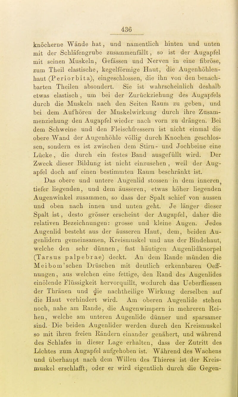 knöcherne Wände hat, und namentlich hinten und unten mit der Schläfengrube zusammenfällt, so ist der Augapfel mit seinen Muskeln, Gefässen und Nerven in eine fibröse, zum Theil elastische, kegelförmige Haut, die Augenhöhlen- haut (Periorbita), eingeschlossen, die ihn von den benach- barten Theilen absondert. Sie ist wahrscheinlich deshalb etwas elastisch, um bei der Zurückziehung des Augapfels durch die Muskeln nach den Seiten Raum zu geben, und bei dem Aufhören der Muskelwirkung durch ihre Zusam- menziehung den Augapfel wieder nach vorn zu drängen. Bei dem Schweine und den Fleischfressern ist nicht einmal die obere Wand der Augenhöhle völlig durch Knochen geschlos- sen, sondern es ist zwischen dem Stirn- und Jochbeine eine Lücke, die durch ein festes Band ausgefüllt wird. Der Zweck dieser Bildung ist nicht einzusehen , weil der Aug- apfel doch auf einen bestimmten Raum beschränkt ist. Das obere und untere Augenlid stossen in dem inneren tiefer liegenden, und dem äusseren, etwas höher liegenden Augenwinkel zusammen, so dass der Spalt schief von aussen und oben nach innen und unten geht. Je länger dieser Spalt ist, desto grösser erscheint der Augapfel, daher die relativen Bezeichnungen: grosse und kleine Augen. Jedes Augenlid besteht aus der äusseren Haut, dem, beiden Au- genlidern gemeinsamen, Kreisniuskel und aus der Biudehaut, welche den sehr dünnen, fast häutigen Augenlidknorpel (Tarsus palpebrae) deckt. An dem Rande münden die Meibom'schen Drüschen mit deutlich erkennbaren Oeff- nungen, aus welchen eine fettige, den Rand des Augenlides einölende Flüssigkeit hervorquillt, wodurch das Ueberfliessen der Thränen und die nachtheilige Wirkung derselben auf die Haut verhindert wird. Am oberen Augenlide stehen noch, nahe am Rande, die Augenwimpern in mehreren Rei- hen, welche am unteren Augenlide dünner und sparsamer sind. Die beiden Augenlider werden durch den Kreismuskel so mit ihren freien Rändern einander genähert, und während des Schlafes in dieser Lage erhalten, dass der Zutritt des Lichtes zum Augapfel aufgehoben ist. Während des Wachens und überhaupt nach dein Willen des Thieres ist der Kreis- muskel erschlafft, oder er wird eigentlich durch die Gegen-