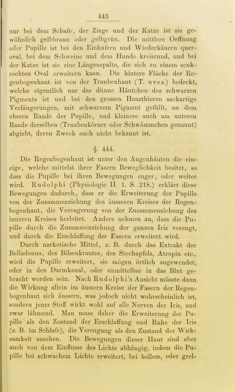 nur bei dem Schafe, der Ziege und der Katze ist sie ge- wöhnlich gelbbraun oder gelbgrün. Die mittlere Oeffnung oder Pupille ist bei den Einhufern und Wiederkäuern quer- oval, bei dem Schweine und dein Hunde kreisrund, und bei der Katze ist sie eine Längenspalte, die sich zu einem senk- rechten Oval erweitern kann. Die hintere Fläche der Re- genbogenhaut ist von der Traubenhaut (T. uvea) bedeckt, welche eigentlich nur das dünne Häutchen des schwarzen Pigments ist und bei den grossen Hausthieren sackartige Verlängerungen, mit schwarzem Pigment gefüllt, an dem oberen Rande der Pupille, und kleinere auch am unteren Rande derselben (Traubenkörner oder Schwämmchen genannt) abgiebt, deren Zweck auch nicht bekannt ist. §. 444. Die Regenbogenhaut ist unter den Augenhäuten die ein- zige, welche mittelst ihrer Fasern Beweglichkeit besitzt, so dass die Pupille bei ihren Bewegungen enger, oder weiter wird. Rudolphi (Physiologie II. 1. S. 218.) erklärt diese Bewegungen dadurch, dass er die Erweiterung der Pupille von der Zusammenziehung des äusseren Kreises der Regen- bogenhaut, die Verengerung von der Zusammenziehung des inneren Kreises herleitet. Andere nehmen an, dass die Pu- pille durch die Zusammenziehung der ganzen Iris verengt, und durch die Erschlaffung der Fasern erweitert wird. Durch narkotische Mittel, z. B. durch das Extrakt der Belladonna, des Bilsenkrautes, des Stechapfels, Atropin etc., wird die Pupille erweitert, sie mögen örtlich angewendet, oder in den Darmkanal, oder unmittelbar in das Blut ge- bracht worden sein. Nach Rudolphi's Ansicht müsste dann die Wirkung allein im äussern Kreise der Fasern der Regen- bogenhaut sich äussern, was jedoch nicht wahrscheinlich ist, sondern jener Stoff wirkt wohl auf alle Nerven der Iris, und zwar lähmend. Man muss daher die Erweiterung der Pu- pille als den Zustand der Erschlaffung und Ruhe der Iris (z. B. im Schlafe), die Verengung als den Zustand der Wirk- samkeit ansehen. Die Bewegungen dieser Haut sind aber auch von dem Einflüsse des Lichts abhängig, indem die Pu- pille bei schwachem Lichte erweitert, bei hellem, oder grel-