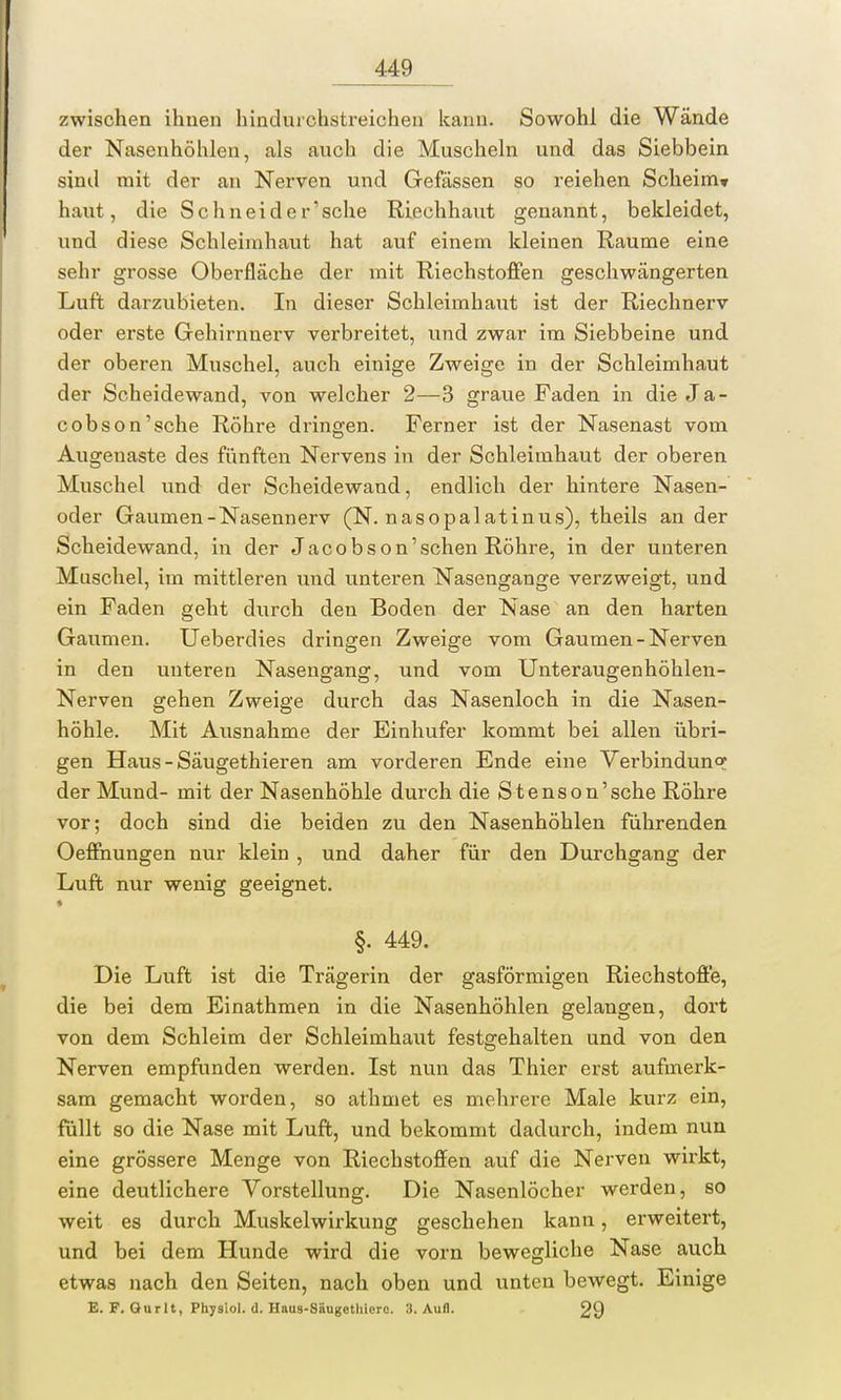 zwischen ihnen hindnrchstreichen kann. Sowohl die Wände der Nasenhöhlen, als anch die Muscheln und das Siebbein sind mit der an Nerven und Gefässen so reiehen Scheim» haut, die Schnei der 1sche Riechhaut genannt, bekleidet, und diese Schleimhaut hat auf einem kleinen Räume eine sehr grosse Oberfläche der mit Riechstoffen geschwängerten Luft darzubieten. In dieser Schleimhaut ist der Riechnerv oder erste Gehirnnerv verbreitet, und zwar im Siebbeine und der oberen Muschel, auch einige Zweige in der Schleimhaut der Scheidewand, von welcher 2—3 graue Faden in die Ja- cobson'sehe Röhre dringen. Ferner ist der Nasenast vom Augenaste des fünften Nervens in der Schleimhaut der oberen Muschel und der Scheidewand, endlich der hintere Nasen- oder Gaumen-Nasennerv (N. nasopalatinus), theils ander Scheidewand, in der Jacobson'schen Röhre, in der unteren Muschel, im mittleren und unteren Nasengange verzweigt, und ein Faden geht durch den Boden der Nase an den harten Gaumen. Ueberdies dringen Zweige vom Gaumen-Nerven in den unteren Nasengang, und vom Unteraugenhöhlen- Nerven gehen Zweige durch das Nasenloch in die Nasen- höhle. Mit Ausnahme der Einhufer kommt bei allen übri- gen Haus-Säugethieren am vorderen Ende eine Verbindung der Mund- mit der Nasenhöhle durch die Stenson'sche Röhre vor; doch sind die beiden zu den Nasenhöhlen führenden Oeffnungen nur klein , und daher für den Durchgang der Luft nur wenig geeignet. §. 449. Die Luft ist die Trägerin der gasförmigen Riechstofl'e, die bei dem Einathmen in die Nasenhöhlen gelangen, dort von dem Schleim der Schleimhaut festgehalten und von den Nerven empfunden werden. Ist nun das Thier erst aufmerk- sam gemacht worden, so athmet es mehrere Male kurz ein, füllt so die Nase mit Luft, und bekommt dadurch, indem nun eine grössere Menge von Riechstoffen auf die Nerven wirkt, eine deutlichere Vorstellung. Die Nasenlöcher werden, so weit es durch Muskelwirkung geschehen kann, erweitert, und bei dem Hunde wird die vorn bewegliche Nase auch etwas nach den Seiten, nach oben und unten bewegt. Einige E. F. Qurlt, Physiol. d. Haus-Säugctliiero. 3. Aufl. 29