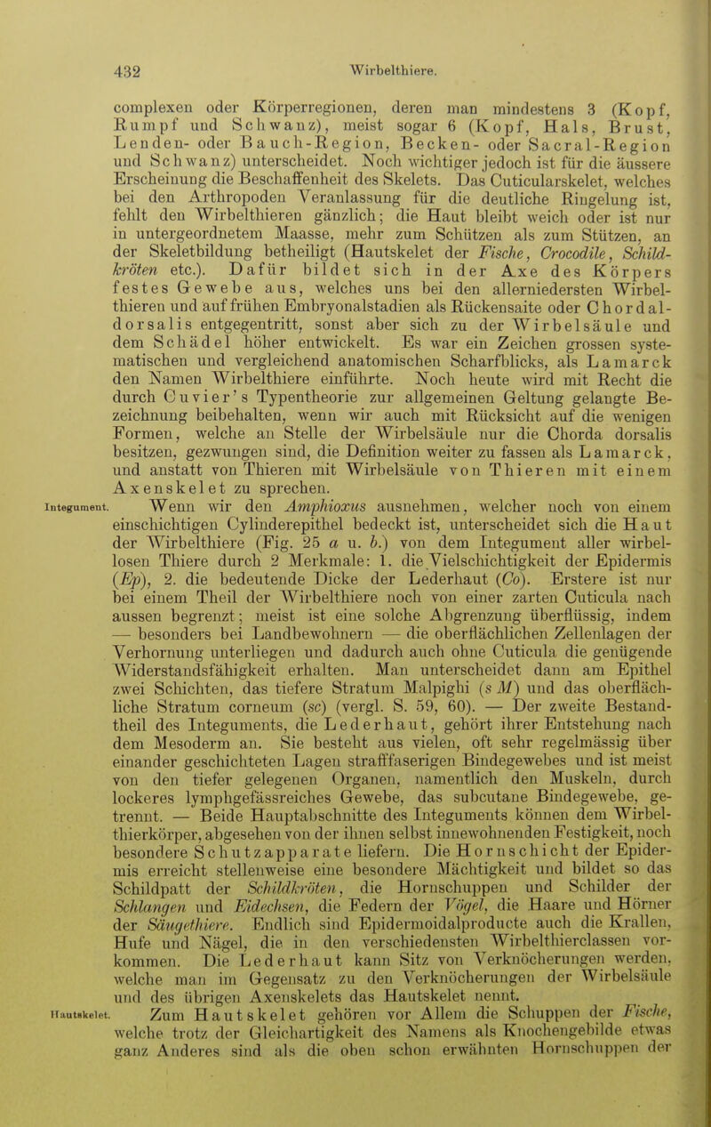 complexen oder Körperregionen, deren man mindestens 3 (Kopf, Rumpf und Schwanz), meist sogar 6 (Kopf, Hals, Brust, Lenden- oder Bauch-Region, Becken- oder Sacral-Region und Schwanz) unterscheidet. Noch wichtiger jedoch ist für die äussere Erscheinung die Beschaffenheit des Skelets. Das Cuticularskelet, welches bei den Arthropoden Veranlassung für die deutliche Riugelung ist, fehlt den Wirbelthieren gänzlich; die Haut bleibt weich oder ist nur in untergeordnetem Maasse, mehr zum Schützen als zum Stützen, an der Skeletbildung betheiligt (Hautskelet der Fische, Crocodile, Schild- kröten etc.). Dafür bildet sich in der Axe des Körpers festes Gewebe aus, welches uns bei den all erniedersten Wirbel- thieren und auf frühen Embryonalstadien als Rückensaite oder C hör dal- dorsalis entgegentritt, sonst aber sich zu der Wirbelsäule und dem Schädel höher entwickelt. Es war ein Zeichen grossen syste- matischen und vergleichend anatomischen Scharfblicks, als Lamarck den Namen Wirbelthiere einführte. Noch heute wird mit Recht die durch C u V i e r' s Typentheorie zur allgemeinen Geltung gelangte Be- zeichnung beibehalten, wenn wir auch mit Rücksicht auf die wenigen Formen, welche au Stelle der Wirbelsäule nur die Chorda dorsalis besitzen, gezwungen sind, die Definition weiter zu fassen als Lamarck. und anstatt von Thieren mit Wirbelsäule von Thieren mit einem Axenskelet zu sprechen. integument. Wenn wir den Ämphioxus ausnehmen, welcher noch von einem einschichtigen Cylinderepithel bedeckt ist, unterscheidet sich die Haut der Wirbelthiere (Fig. 25 a u. 6.) von dem Integument aller wirbel- losen Thiere durch 2 Merkmale: 1. die Vielschichtigkeit der Epidermis (Ep), 2. die bedeutende Dicke der Lederhaut {Co). Erstere ist nur bei einem Theil der Wirbelthiere noch von einer zarten Cuticula nach aussen begrenzt; meist ist eine solche Abgrenzung überflüssig, indem — besonders bei Landbewohnern — die oberflächlichen Zellenlagen der Verhornung unterliegen und dadurch auch ohne Cuticula die genügende Widerstandsfähigkeit erhalten. Man unterscheidet dann am Epithel zwei Schichten, das tiefere Stratum Malpighi (s M) und das oberfläch- liche Stratum corneum (sc) (vergl. S. 59, 60). — Der zweite Bestand- theil des Liteguments, die Lederhaut, gehört ihrer Entstehung nach dem Mesoderm an. Sie besteht aus vielen, oft sehr regelmässig über einander geschichteten Lagen strafi'faserigen Bindegewebes und ist meist von den tiefer gelegenen Organen, namentlich den Muskeln, durch lockeres lymphgefässreiches Gewebe, das subcutane Bindegewebe, ge- trennt. — Beide Hauptabschnitte des Integuments können dem Wirbel- thierkörper, abgesehen von der ihnen selbst innewohnenden Festigkeit, noch besondere Schutzapparate liefern. Die Hornschicht der Epider- mis erreicht stellenweise eine besondere Mächtigkeit und bildet so das Schildpatt der Schildkröten, die Hornschuppen und Schilder der Schlangen und Eidechsen, die Federn der Vögel, die Haare und Hörner der Säugethiere. Endlich sind Epidermoidalproducte auch die Krallen, Hufe und Nägel, die in den verschiedensten Wirbelthierclassen vor- kommen. Die Leder haut kann Sitz von Verknöcherungen werden, welche man im Gegensatz zu den Verknöcherungen der Wirbelsäule und des übrigen Axenskelets das Hautskelet nennt. Hautskelet. Zum Hautskclct gehören vor Allem die Schuppen der Fische, welche trotz der Gleichartigkeit des Namens als Knochengebilde etwas ganz Anderes sind als die oben schon erwähnten Honischuppen der