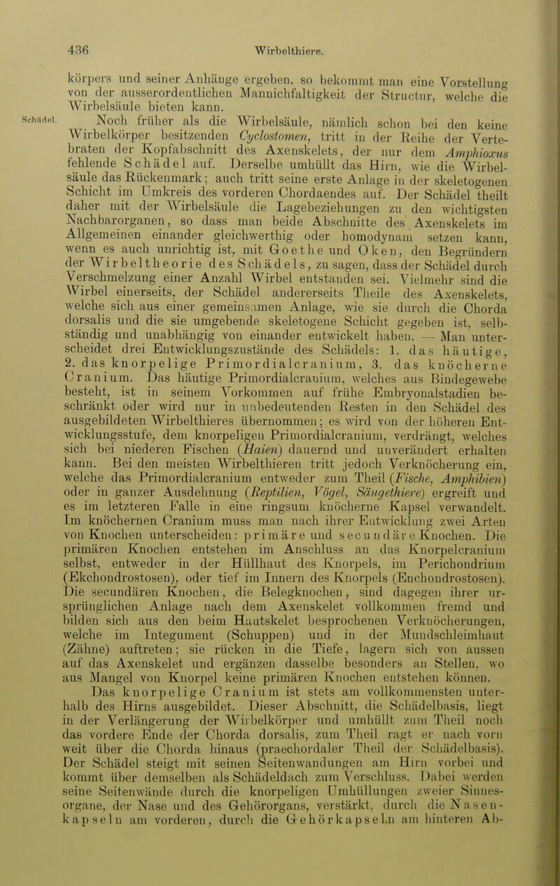 körpers und seiner Anhänge ergeben, so bekommt man eine Vorstellung von der ausserordentlichen Mannichfaltigkeit der Structur, welche die Wirbelsäule bieten kann. JSIoch früher als die Wirbelsäule, nämlich schon bei den keine Wirbelköi-per besitzenden Cyclostomen, tritt in der Reihe der Verte- braten der Kopfabschuitt des Axenskelets, der nur dem Amphioxus fehlende Schädel auf. Derselbe umhüllt das Hirn, wie die Wirbel- säule das Rückenmark; auch tritt seine erste Anlage in der skeletogenen Schicht im Umkreis des vorderen Chordaendes auf. Der Schädel theilt daher mit der Wirbelsäule die Lagebeziehungen zu den wichtigsten Nachbarorganen, so dass man beide Abschnitte des' Axenskelets im Allgemeinen einander gleichwerthig oder homodynam setzen kann, wenn es auch unrichtig ist, mit Goethe und Oken, den Begründern der Wi rbeltheorie desSchädels,zu sagen, dass der Schädel durch Verschmelzung einer Anzahl Wirbel entstanden sei. Vielmehr sind die AVirbel einerseits, der Schädel andererseits Theile des Axenskelets, welche sich aus einer gemeinsamen Anlage, wie sie durch die Chorda dorsalis und die sie umgebende skeletogene Schicht gegeben ist, selb- ständig und unabhängig von einander entwickelt haben. — Man unter- scheidet drei Entwicklungszustände des Schädels: 1. das häutige. 2. das knorpelige Primordialcranium, 3. das knöcherne Cranium. Das häutige Primordialcrauiura, welches aus Bindegewebe besteht, ist in seinem Vorkommen auf frühe Embryonalstadien be- schränkt oder wird nur in unbedeutenden Resten in den Schädel des ausgebildeten Wirbelthieres übernommen; es wird von der höheren Ent- wicklungsstufe, dem knorpeligen Primordialcranium, verdrängt, welches sich bei niederen Fischen (Haien) dauernd und unverändert erhalten kann. Bei den meisten Wirbelthieren tritt jedoch Verknöcherung ein, welche das Primordialcranium entweder zum Theil (Fische, Amphibien) oder in ganzer Ausdehnung (Reptilien, Vögel, Säugeihiere) ergreift und es im letzteren Falle in eine ringsum knöcherne Kapsel verwandelt. Im knöchernen Cranium muss man nach ihrer Entwicklung zwei Arten von Knochen unterscheiden: primäre und sec u n där e Knochen. Die primären Knochen entstehen im Anschluss an das Knorpelcranium selbst, entweder in der Hüllhaut des Knorpels, im Perichondrium (Ekchondrostosen), oder tief im Innern des Knorpels (Enchoudrostosen). Die secundären Knochen, die Belegknochen, sind dagegen ihrer ur- sprünglichen Anlage nach dem Axenskelet vollkommen fremd und bilden sich aus den beim Hautskelet besprochenen Verkuöcherungen, welche im Integument (Schuppen) und in der Mundschleimhaut (Zähne) auftreten; sie rücken in die Tiefe, lagern sich von aussen auf das Axenskelet und ergänzen dasselbe besonders an Stellen, wo aus Mangel von Knorpel keine primären Knochen entstehen können. Das knorpelige Cranium ist stets am vollkommensten unter- halb des Hirns ausgebildet. Dieser Abschnitt, die Schädelbasis, liegt in der Verlängerung der Wiibelkörper und umhüllt zum Theil noch das vordere Ende der Chorda dorsalis, zum Theil ragt er nach vorn weit über die Chorda hinaus Tpraechordaler Theil der Schädelbasis). Der Schädel steigt mit seinen Seitenwandungeu am Hirn vorbei und kommt über demselben als Schädeldach zum Verschluss. Dabei werden seine Seitenwände durch die knorpeligen Umhüllungen zweier Sinnes- organe, der Nase und des Gehörorgans, verstärkt, durch die Nasen- kapseln am vorderen, durch die Gehör kapseln am hinteren Ab-