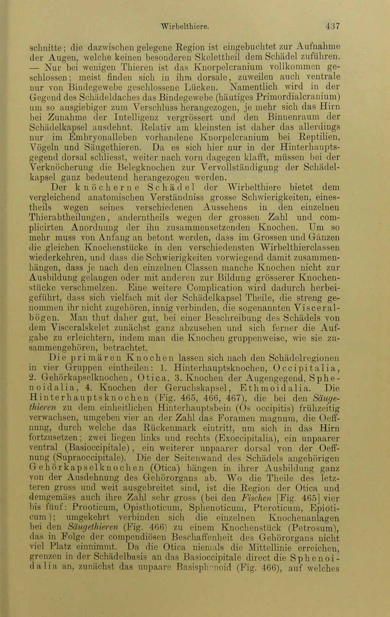 sclmitte; die dazwischen gelegene Region ist eingebuchtet zur Aufnahme der Augen, welche keinen besonderen Skelettheil dem Schädel zuführen. — Nur bei wenigen Thieren ist das Knorpelcranium vollkommen ge- schlossen ; meist finden sich in ihm dorsale, zuweilen auch ventrale nur von Bindegewebe geschlossene Lücken. Namentlich wird in der Gegend des Schädeldaches das Bindegewebe (häutiges Primordialcranium) um so ausgiebiger zum Verschluss herangezogen, je mehr sich das Hirn bei Zunahme der Intelligenz vergrössert und den Binnenraum der Schädelkapsel ausdehnt. Relativ am kleinsten ist daher das allerdings nur im Embryonalleben vorhandene Knorpelcranium bei Reptilien, Vögeln und vSäugethieren. Da es sich hier nur in der Hinterhaupts- gegend dorsal schliesst, weiter nach vorn dagegen klafft, müssen bei der Verkuöcherung die Belegknochen zur Vervollständigung der Schädel- kapsel ganz bedeutend herangezogen werden. Der knöcherne Schädel der Wirbelthiere bietet dem vergleichend anatomischen Verständniss grosse Schwierigkeiten, eines- theils wegen seines verschiedenen Aussehens in den einzelnen Thierabtheilungen, anderntheils wegen der grossen Zahl und com- plicirten Anordnung der ihn zusammensetzenden Knochen. Um so mehr muss von Anfang an betont werden, dass im Grossen und Gänzen die gleichen Knochenstücke in den verschiedensten Wirbelthierclassen wiederkehren, und dass die Schwierigkeiten vorwiegend damit zusammen- hängen, dass je nach den einzelnen Classen manche Knochen nicht zur Ausbildung gelangen oder mit anderen zur Bildung grösserer Knochen- stücke verschmelzen. Eine weitere Complication mrd dadiu'ch herbei- geführt, dass sich vielfach mit der Schädelkapsel Theile, die streng ge- nommen ihr nicht zugehören, innig verbmden, die sogenannten Visceral- bögen. Man thut daher gut, bei einer Beschi-eibung des Schädels von dem Visceralskelet zunächst ganz abzusehen und sich ferner die Auf- gabe zu erleichtern, indem man die Knochen gruppenweise, wie sie zu- sammengehören, betrachtet. Die primären Knochen lassen sich nach den Schädelregioneu in vier Gruppen eintheilen: 1. Hinterhauptsknochen, Occipitalia, 2. Gehörkapselknochen, Otica, S.Knochen der Augengegend, Sphe- noidalia, 4. Knochen der Gerucliskapsel, Ethmoidalia. Die Hinterhauptsknochen (Fig. 465, 466, 467), die bei den Säuge- ihieren zu dem einheitlichen Hinterhauptsbein (Os occipitis) frühzeitig verwachsen, umgeben vier an der Zahl das Foramen magnum, die Oeff- nung, durch welche das Rückenmark eintritt, um sich in das Hirn fortzusetzen; zwei liegen links und rechts (Exoccipitalia), ein unpaarer ventral (Basioccipitale), ein weiterer unpaarer dorsal von der Oefif- nung (Supraoccipitale). Die der Seitenwand des Schädels angehörigen Gehörkapselknochen (Otica) hängen in ihrer Ausbildung ganz von der Ausdehnung des Gehörorgans ab. Wo die Theile des letz- teren gross und weit ausgebreitet sind, ist die Region der Otica und demgemäss auch ihre Zahl sehr gross (bei den Fischen [Fig. 465] vier bis fünf: Prooticum, Opisthoticum, Sphenoticum, Pteroticum, Epioti- cum); umgekehrt verbinden sich die einzelnen Knochenanlagen bei den Säugethieren (Fig. 466) zu einem Knochenstück (Petrosum), das in Folge der compendiösen Beschaffenheit des Gehörorgans nicht viel Platz einnimmt. Da die Otica niemals die Mittellinie erreichen, grenzen in der Schädelbasis an das Basioccipitale direct die Sphenoi- dalia an, zunächst das unpaare Basisph^noid (Fig. 466), auf welches