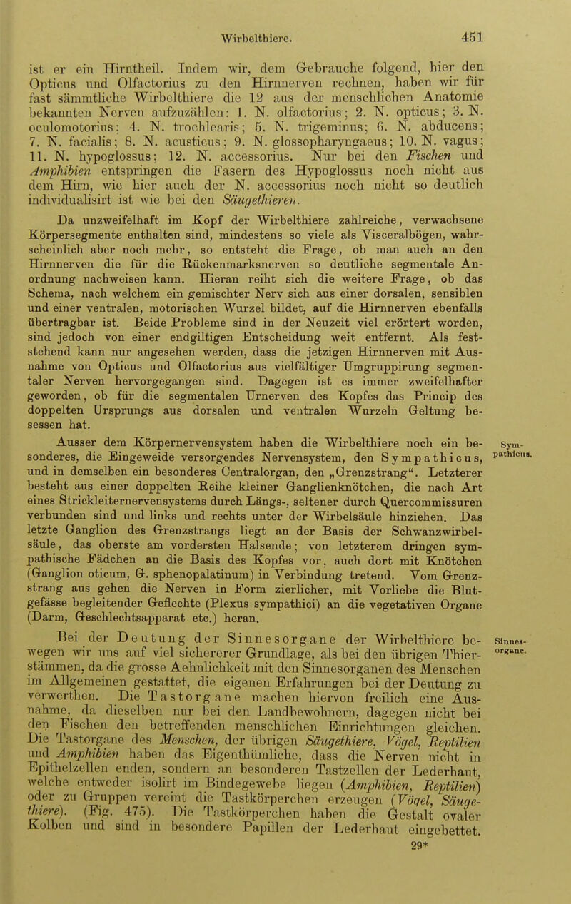 ist er ein Hirntheil. Indem wir, dem Gebrauche folgend, hier den Opticus und Olfactorius zu den Hirnnerven rechnen, haben wir fiir fast sämmtUche Wirhelthiere die 12 aus der menschhchen Anatomie bekannten Nerven aufzuzählen: 1. N. olfactorius; 2. N. oj^ticus; 3. oculomotorius; 4. N. trochlearis; 5. N. trigeminus; 6. N. abducens; 7. N. facialis; 8. N. acusticus; 9. N. glossopharyngaeus; 10. N. vagus; 11. N. hypoglossus; 12. N. accessorius. Nur bei den Fischen und //mphibien entspringen die Fasern des Hypoglossus noch nicht aus dem Hh-n, wie hier auch der N. accessorius noch nicht so deutlich individualisirt ist wie bei den Säugeihieren. Da unzweifelhaft im Kopf der Wirbelthiere zahlreiche, verwachsene Körpersegmente enthalten sind, mindestens so viele als Visceralbögen, wahr- scheinlich aber noch mehr, so entsteht die Frage, ob man auch an den Hirnnerven die für die Rückenmarksnerven so deutliche segmentale An- ordnung nachweisen kann. Hieran reiht sich die weitere Frage, ob das Schema, nach welchem ein gemischter Nerv sich aus einer dorsalen, sensiblen und einer ventralen, motorischen Wurzel bildet, auf die Hirnnerven ebenfalls übertragbar ist. Beide Probleme sind in der Neuzeit viel erörtert worden, sind jedoch von einer endgiltigen Entscheidung weit entfernt. Als fest- stehend kann nur angesehen werden, dass die jetzigen Hirnnerven mit Aus- nahme von Opticus und Olfactorius aus vielfältiger TJmgruppirung segmen- taler Nerven hervorgegangen sind. Dagegen ist es immer zweifelhafter geworden, ob für die segmentalen TJrnerven des Kopfes das Princip des doppelten Ursprungs aus dorsalen und ventralen Wurzeln G-eltung be- sessen hat. Ausser dem Körpernervensystem haben die Wirbelthiere noch ein be- Sym- sonderes, die Eingeweide versorgendes Nervensystem, den Sympathiens, p^*'»'' und in demselben ein besonderes Centraiorgan, den „Grenzstrang. Letzterer besteht aus einer doppelten Reihe kleiner Ganglienknötchen, die nach Art eines Strickleiternervensystems durch Längs-, seltener durch Quercommissuren verbunden sind und links und rechts unter der Wirbelsäule hinziehen. Das letzte Gi-anglion des Grenzstrangs liegt an der Basis der Schwanzwirbel- säule , das oberste am vordersten Halsende; von letzterem dringen sym- pathische Fädchen an die Basis des Kopfes vor, auch dort mit Knötchen (Ganglion oticum, G. sphenopalatinum) in Verbindung tretend. Vom Grenz- strang aus gehen die Nerven in Form zierlicher, mit Vorliebe die Blut- gefässe begleitender Geflechte (Plexus sympathici) an die vegetativen Organe (Darm, Geschlechtsapparat etc.) heran. Bei der Deutung der Sinnesorgane der Wirbelthiere be- sinne»- wegen wir uns auf viel sichererer Grundlage, als bei den übrigen Thier- Stämmen, da die grosse Aehnlichkeit mit den Sinnesorganen des Menschen im Allgemeinen gestattet, die eigenen Erfahrungen bei der Deutung zu verwerthen. Die Tastorgane machen hiervon freilich eine Aus- nahme, da dieselben nur bei den Landbewohnern, dagegen nicht bei deij Fischen den betreffenden menschhchen Eimichtungen gleichen. Die Tastorgane des Menschen, der übrigen Säugethiere, Vögel, Reptilien und Amphibien haben das Eigenthümliche, dass die Nerven nicht in Epithelzellen enden, sondern an besonderen Tastzellen der Lederhaut, welche entweder isolirt im Bindegewebe liegen {Amphibien, Reptilien) oder zu Gruppen vereint die Tastkörperchen erzeugen {Vöqel, Säuge- thiere). (Fig. 475). Die Tastkörperchen haben die Gestalt ovaler Kolben und sind in besondere Papillen der Lederhaut eingebettet. 29*
