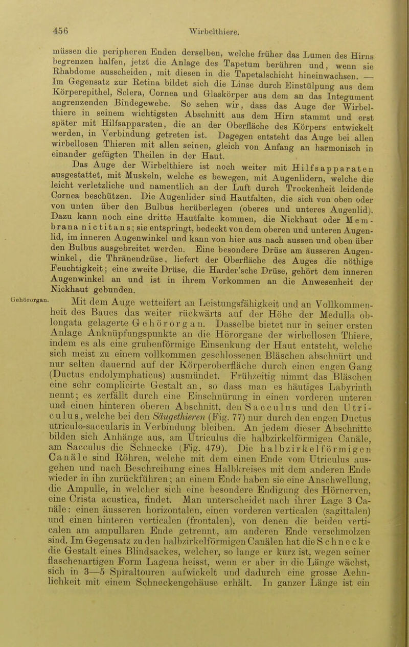 müssen die peripheren Enden derselben, welche früher das Lumen des Hirns begrenzen halfen, jetzt die Anlage des Tapetum berühren und, wenn sie Rhabdome ausscheiden, mit diesen in die Tapetalschicht hineinwachsen — Im (regensatz zur Retina bildet sich die Linse durch Einstülpung aus dem Korperepithel, Sclera, Cornea und Glaskörper aus dem an das Integument angrenzenden Bindegewebe. So sehen wir, dass das Auge der Wirbel- thiere in seinem wichtigsten Abschnitt aus dem Hirn stammt und erst spater mit Hilfsapparaten, die an der Oberfläche des Körpers entwickelt werden, m Verbindung getreten ist. Dagegen entsteht das Auge bei allen wirbellosen Thieren mit allen seinen, gleich von Anfang an harmonisch in einander gefügten Theilen in der Haut. Das Auge der Wirbelthiere ist noch weiter mit Hilfsap paraten ausgestattet, mit Muskeln, welche es bewegen, mit Augenlidern, welche die leicht verletzliche und namentlich an der Luft durch Trockenheit leidende Cornea beschützen. Die Augenlider sind Hautfalten, die sich von oben oder von unten über den Bulbus herüberlegen (oberes und unteres Augenlid). Dazu kann noch eine dritte Hautfalte kommen, die Nickhaut oder Mem- brana n i c tit an s; sie entspringt, bedeckt von dem oberen und unteren Augen- lid, im inneren Augenwinkel und kann von hier aus nach aussen und oben über den Bulbus ausgebreitet werden. Eine besondere Drüse am äusseren Augen- winkel, die Thränendrüse, liefert der Oberfläche des Auges die nöthige Feuchtigkeit; eine zweite Drüse, die Harder'sche Drüse, gehört dem inneren Augenwinkel an und ist in ihrem Vorkommen an die Anwesenheit der Nickhaut gebunden. Gehörorgan. Mit dem Auge wetteifert au Leistimgsfähigkeit und an Vollkommen- heit des Baues das weiter rückwärts auf der Höhe der MeduUa ob- longata gelagerte Gehörorgan. Dasselbe bietet nur in seiner ersten Anlage Anknüpfungspunkte an die Hörorgane der wirbellosen Thiere, indem es als eine grubenförmige Einsenkung der Haut entsteht, Avelche sich meist zu einem vollkommen geschlossenen Bläschen abschnürt imd nur selten dauernd auf der Körperoberfläche durch einen engen Gang (Ductus endolymphaticus) ausmündet. Frühzeitig nimmt das Bläschen eine sehr complicirte Gestalt an, so dass man es häutiges Labyrinth nennt; es zerfällt durch eine Einschnürung in einen vorderen unteren und einen hinteren oberen Abschnitt, denSacculus und den Utri- culu8, welche bei den Säugethieren (Fig. 77) nur durch den engen Ductus utriculo-saccularis in Verbindung bleiben. An jedem dieser Abschnitte bilden sich Anhänge aus, am Utriculus die halbzirkelförmigen Canäle, am Sacculus die Schnecke (Fig. 479). Die halbzirkelförmigen Canäle sind Köhi-en, welche mit dem einen Ende vom Utriculus aus- gehen und nach Beschreibung eines Halbkreises mit dem anderen Ende wieder in ihn zurückführen; an einem Ende haben sie eine Anschwellung, die Anapulle, in welcher sich eine besondere Endigimg des Hörnerven, eine Crista acustica, findet. Man unterscheidet nach ihrer Lage 3 Ca- näle : einen äusseren horizontalen, einen vorderen verticalen (sagittalen) und einen hinteren verticalen (frontalen), von denen die beiden verti- calen am ampullaren Ende getrennt, am anderen Ende verschmolzen sind. Im Gegensatz zu den halbzirkelförmigen Canälen hat die Schnecke die Gestalt eines Blindsackes, welcher, so lange er kurz ist, Avegen seiner flaschenartigen Form Lageua heisst, wenn er aber in die Länge wächst, sich in 3—5 Spiraltouren aufwickelt und dadurch eine grosse Aehu- lichkeit mit einem Schneckengehäuse erhält. In ganzer Länge ist ein