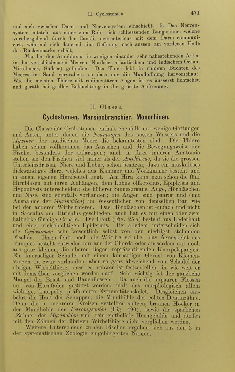 II. Oyclostomen. und sich zwischen Darm und Nervensystem einschiebt. 5. Das Nerven- system entsteht aus einer zum Eohr sich sohliessenden Längsrinne, welche vorübergehend durch den Canalis neurentericus mit dem Darm commum- cirt, während sich dauernd eine OefFnung nach aussen am vorderen Ende des Rückenmarks erhält. Man hat den Amphioxus in wenigen einander sehr nahestehenden Arten in den verschiedensten Meeren (Nordsee, atlantischem und indischem Ocean, Mittelmeer, Südsee) gefunden. Das Thier lebt in ruhigen Buchten des Meeres im Sand vergraben, so dass nur die Mundöffnung hervorschaut. Wie die meisten Thiere mit rudimentären Augen ist es äusserst lichtscheu und geräth bei greller Beleuchtung in die grösste Aufregung. IL Classe. Cyclostomen, Marsipobranchier, Monorhinen. Die Classe der Cyclostomen enthält ebenfalls nur wenige Gattungen und Arten, unter denen die Neunaugen des süssen Wassers und die M'ijxinen der nordischen Meere die bekanntesten sind. Die Thiere haben schon vollkommen das Aussehen und die Bewegungsweise der Fische, besonders der aalartigen; auch in ihrer inneren Anatomie stehen sie den Fischen viel näher als der Amfhioxus, da sie die grossen LTnterleibsdrüsen, Niere und Leber, schon besitzen, dazu ein muskulöses dickwandiges Herz, welches aus Kammer und Vorkammer besteht und in einem eigenen Herzbeutel liegt. Am Bürn kann man schon die fünf Hirnblasen mit ihren Anhängen, dem Lobus olfactorius, Epiphysis und Hypophysis unterscheiden; die höheren Sinnesorgane, Auge, Hörbläschen und Nase, sind ebenfalls vorbanden; die Augen sind paarig und (mit Ausnahme der Myxinoiden) im Wesentlichen von demselben Bau wie bei den anderen Wirbelthieren. Das Hörbläschen ist einfach und nicht in Sacculus und ütriculus geschieden, auch hat es nur einen oder zwei halbcirkeiförmige Canäle. Die Haut (Fig. 25 a) besteht aus Lederhaut und einer vielschichtigen Epidermis. Bei alledem unterscheiden sich die Cyclostomen sehr wesentlich selbst von den niedrigst stehenden Fischen. Ihnen fehlt noch die Wirbelsäule; das Axenskelet des Rumpfes besteht entweder nur aus der Chorda oder ausserdem nur noch aus ganz kleinen, die oberen Bögen repräsentirenden Knorpelspangen. Ein knorpeliger Schädel mit einem korbartigen Gerüst von Kiemen- stützen ist zwar vorhanden, aber so ganz abweichend vom Schädel der übrigen Wirbelthiere, dass es schwer ist festzustellen, in wäe weit er mit demselben verglichen werden darf. Sehr wichtig ist der gänzliche Mangel der Brust- und Bauchflossen. Da auch die unpaaren Flossen nur von Hornfäden gestützt werden, fehlt das morphologisch allein wichtige, knorpelig präformirte Extremitätenskelet. Desgleichen ent- behrt die Haut der Schuppen, die Mundhöhle der echten Dentinzähne. Denn die in mehreren Kreisen gestellten spitzen, braunen Höcker in der Mundhöhle der Fetromyzonten (Fig. 490), sowie die spärlichen „Zähne der Myxinoiden sind rein epitheliale Horngebilde nnd dürfen mit den Zähnen der übrigen Wirbelthiere nicht verglichen werden. Weitere Unterschiede zu den Fischen ergeben sich aus den 3 in der systematischen Zoologie eingebürgerten Namen.