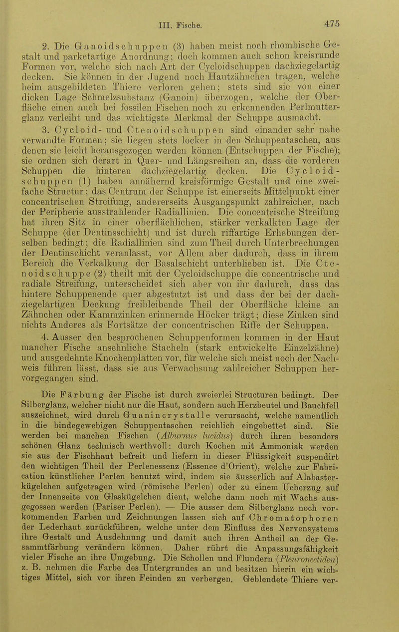 2. Die G-anoiclsclmppen (3) haben meist noch rhombische Ge- stalt und ]3arketartige Anordnung; docli kommen ancli schon kreisrunde Formen vor, Avelclie sicli nach Art der Cycloidscliuppen dachziegelartig decken. Sie können in der Jugend noch Hautzähnchen tragen, welche l)eim ausgebildeten Thiere verloren gehen; stets sind sie von einer dicken Lage Schmelzsubstanz (Granoin) überzogen, welche der Ober- fläche einen auch bei fossilen Fisclien noch zu erkennenden Perlmutter- glanz verleiht und das wichtigste Merkmal der Scliuppe ausmacht. 3. Cycloid- und Ctenoidschuppen sind einander sehr nahe verwandte Formen; sie liegen stets locker in den Schuppentaschen, aus deuen sie leicht herausgezogen werden können (Entschuppen der Fische); sie ordnen sich derart in Quer- und Längsreihen an, dass die vorderen Schuppen die hinteren dachziegelartig decken. Die Cycloid- schuppen (1) haben annähernd kreisförmige Gestalt und eine zwei- fache Structur; das Centrum der Schuppe ist einerseits Mittelpunkt einer concentrischen Streifiing, andererseits Ausgangspunkt zahlreicher, nach der Peripherie ausstrahlender Eadiallinien. Die concentrische Streifung hat ihren Sitz in einer oberflächlichen, stärker verkalkten Lage der Schuppe (der Dentinsschicht) und ist durch riffartige Erhebungen der- selben bedingt; die Radiallinien sind zumTheil durch Unterbrechungen der Deutinschicht veranlasst, vor Allem aber dadurch, dass in ihrem Bereich die Verkalkung der Basalschicht unterbKeben ist. Die Cte- noidschuppe (2) theilt mit der Cycloidschuppe die concentrische und radiale Streifuug, unterscheidet sich aber von ihr dadurch, dass das hintere Schuppenende quer abgestutzt ist und dass der bei der dach- ziegelartigen Deckung freibleibende Theil der Oberfläche kleine an Zähnchen oder Kammzinken erinnernde Höcker trägt; diese Zinken sind nichts Anderes als Fortsätze der concentrischen Riffe der Schuppen. 4. Ausser den besprochenen Schuppenformen kommen in der Haut mancher Fische ansehnliche Stacheln (stark entwickelte Einzelzähne) und ausgedehnte Knochenplatten vor, für welche sich meist noch der Nach- weis führen lässt, dass sie aus Verwachsung zahlreicher Schuppen her- vorgegangen sind. Die Färbung der Fische ist durch zweierlei Structuren bedingt. Der Silberglanz, welcher nicht nur die Haut, sondern auch Herzbeutel und Bauchfell auszeichnet, wird durch Gruaninerystal 1 e verursacht, welche namentlich in die bindegewebigen Schuppentaschen reichlich eingebettet sind. Sie werden bei manchen Fischen {Älbiirnus lucidus) durch ihren besonders schönen Grlanz technisch werthvoll: durch Kochen mit Ammoniak werden sie aus der Fischhaut befreit und liefern in dieser Flüssigkeit suspendirt den wichtigen Theil der Perlenessenz (Essence d'Orient), welche zur Fabri- cation künstlicher Perlen benutzt wird, indem sie äusserlich auf Alabaster- kügelchen aufgetragen wird (römische Perlen) oder zu einem TJeberzug auf der Innenseite von G-laskügelchen dient, welche dann noch mit Wachs aus- gegossen werden (Pariser Perlen). — Die ausser dem Silberglanz noch vor- kommenden Farben und Zeichnungen lassen sich auf Chromatophoren der Lederhaut zurückführen, welche unter dem Einfluss des Nervensystems ihre Gestalt und Ausdehnung und damit auch ihren Antheil an der Gre- sammtfärbung verändern können. Daher rührt die Anpassungsfähigkeit vieler Fische an ihre Umgebung. Die Schollen und Flundern {PlMiroriediden) z. B. nehmen die Farbe des Untergrundes an und besitzen hierin ein wich- tiges Mittel, sich vor ihren Feinden zu verbergen. Geblendete Thiere ver-