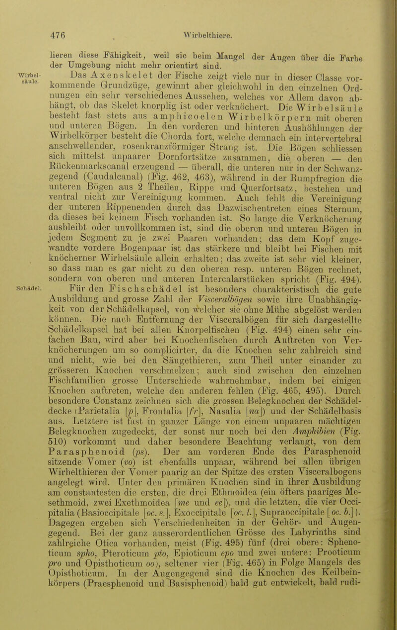 Heren diese Fähigkeit, weil sie beim Mangel der Augen über die Farbe der Umgebung nicht mehr orientirt sind. ™e' Axenskelet der Fische zeigt viele nur in dieser Classe vor- kommende Grundzüge, gewinnt aber gleiclnvohl in den einzelnen Ord- nungen ein sehr verscliiedenes Aussehen, welches vor Allem davon ab- hängt, ob das Skelet knorplig ist oder verknöchert. Die Wirbelsäule besteht fast stets aus amphicoelen Wirbelkörpern mit oberen und unteren Bögen. In den vorderen und hinteren Aushöhlungen der Wirbelkörper besteht die Cborda fort, welche demnach ein intervertebral anschwellender, roseukranzförmiger Strang ist. Die Bögen schliessen sich mittelst uupaarer Dornfortsätze zusammen, die oberen — den Rückenmarkscanal erzeugend — überall, die untei-en nur in der Schwanz- gegend (Caudalcanal) (Fig. 462, 463), während in der Rumpfregion die unteren Bögen aus 2 Theilen, Rippe und Querfortsatz, bestehen und ventral nicht zur Vereinigung kommen. Auch felilt die Vereinigung der imteren Rippenenden durch das Dazwischentreten eines Sternum, da dieses bei keinem Fisch vorhanden ist. So lange die Verknöcherung ausbleibt oder unvollkommen ist, sind die oberen und unteren Bögen in jedem Segment zu je zwei Paaren vorhanden; das dem Kopf zuge- wandte vordere Bogenpaar ist das stärkere und bleibt bei Fischen mit knöcherner Wirbelsäule allein erhalten; das zweite ist sehr viel kleiner, so dass man es gar nicht zu den oberen resp. unteren Bögen rechnet, sondern von oberen und unteren Intercalarstücken spricht (Fig. 494). Schädel. Für den Fischschädel ist besonders charakteristisch die gute Ausbildung und grosse Zahl der Visceralbögen sowie ihre Unabhängig- keit von der Schädelkapsel, von welcher sie ohne Mühe abgelöst werden können. Die nach Entfernung der Visceralbögen für sich dargestellte Schädelkapsel hat bei allen Knorpelfischen (Fig. 494) einen sehr ein- fachen Bau, wird aber bei Knochenfischen durch Auftreten von Ver- knöcherungen um so complicirter, da die Knochen sehr zahlreich sind und nicht, wie bei den Säugethieren, zum Theil unter einander zu grösseren Knochen verschmelzen; auch sind zwischen den einzelnen Fischfaniilien grosse Unterschiede wahrnehmbar, indem bei einigen Knochen auftreten, welche den anderen fehlen (Fig. 465, 495). Durch besondere Constanz zeichnen sich die grossen Belegknochen der Schädel- decke iParietalia Frontalia [fr], Nasalia [na]) und der Schädelbasis aus. Letztere ist fast in ganzer Länge von einem unpaaren mächtigen Belegknochen zugedeckt, der sonst nur noch bei den Amphibien (Fig. 510) vorkommt und daher besondere Beachtung verlaugt, von dem Parasphenoid (ps). Der am vorderen Ende des Parasphenoid sitzende Vomer (vo) ist ebenfalls unpaar, während bei allen übrigen Wirbelthieren der Vomer paarig an der Spitze des ersten Visceralbogens angelegt wird. Unter den primären Knochen sind in ihrer Ausbildung am constantesten die ersten, die drei Ethmoidea (ein öfters paariges Me- sethmoid, zwei Exethmoidea [me und ee]), und die letzten, die vier Occi- pitaHa (Basioccipitale [oc. s. \, Exoccipitale [or.. Supraoccipitale [oc. b.]). Dagegen ergeben sich Verschiedenheiten in der Gehör- und Augen- gegend. Bei der ganz ausserordentlichen Grösse des Labyrinths sind zahlreiche Otica vorhanden, meist (Fig. 495) fünf (drei obere: Spheno- ticum spho, Pteroticum j^to, Epioticum epo und zwei untere: Prooticum pro und Opisthoticum oo), seltener vier (Fig. 465) in Folge Mangels des Opisthoticum. In der Augengegend sind die Knochen des Keilbein- körpers (Praesphenoid und Basispheuoid) bald gut entwickelt, bald rudi-