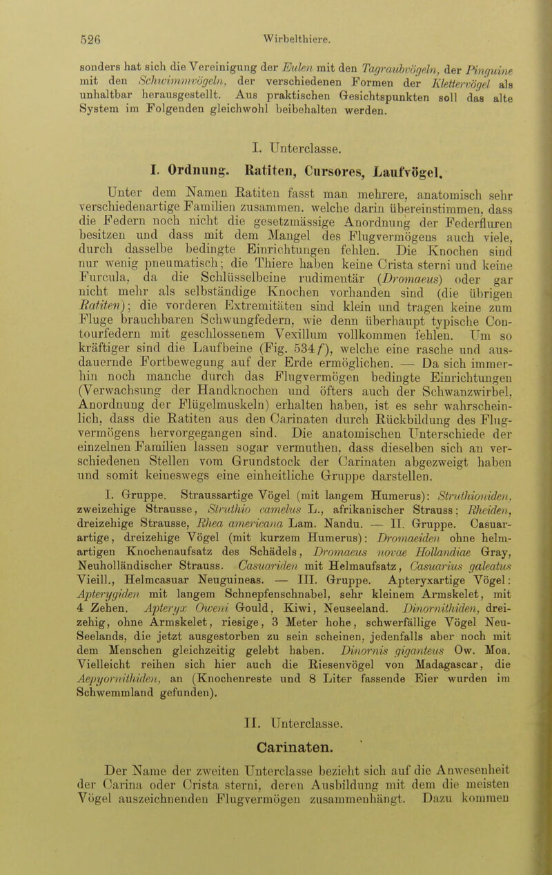 sonders hat sich die Vereinigung der Eulm mit den Tagraubvögeln, der Pinguine mit den Schwimmvögeln, der verschiedenen Formen der Klettervögel als unhaltbar herausgestellt. Aus praktischen Gesichtspunkten soll das alte System im Folgenden gleichwohl beibehalten werden. I. Unterclasse. I. Ordnung. Ratiten, Cursores, Laufyögel. Unter dem Namen Ratiten fasst man mehrere, anatomisch sehr verschiedenartige Familien zusammen, welche darin übereinstimmen, dass die Federn noch nicht die gesetzmässige Anordnung der Federfluren besitzen und dass mit dem Mangel des Flugvermögens auch viele, durch dasselbe bedingte Einrichtungen fehlen. Die Knochen sind nur wenig pneuniatisch; die Thiere halben keine Crista sterni und keine Furcula, da die Schlüsselbeine rudimentär (Dromaeus) oder gar nicht mehr als selbständige Knochen vorhanden sind (die übrigen Ratiten)- die vorderen Extremitäten sind klein und tragen keine zum Fluge brauchbaren Schwungfedern, wie denn überhaupt typische Con- tourfedern mit geschlossenem Vexillum vollkommen fehlen. Um so kräftiger sind die Laufbeine (Fig. 534/), welche eine rasche und aus- dauernde Fortbewegung auf der Erde ermöglichen. — Da sich immer- hin noch manche durch das Flugvermögen bedingte Einrichtmigen (Verwachsung der Handknochen und öfters auch der Schwanzwirbel, Anordnung der Flügelmuskeln) erhalten haben, ist es sehr wahrschein- lich, dass die Ratiten aus den Carinaten durch Rückbildung des Flug- vermögens hervorgegangen sind. Die anatomischen Unterschiede der einzelnen Familien lassen sogar vermuthen, dass dieselben sich an ver- schiedenen Stellen vom Grundstock der Carinaten abgezweigt haben und somit keineswegs eine einheitliche Gruppe darstellen. I. Grruppe. Straussartige Vögel (mit langem Humerus): Stridhionidm. zweizehige Strausse, Struthio mmelus L., afrikanischer Strauss; Rheiden, dreizehige Strausse, Rhea america/ia Lam. Nandu. — II. Gruppe. Casuar- artige, dreizehige Vögel (mit kurzem Humerus): Dromaeiden ohne helni- artigen Knochenaufsatz des Schädels, Dromaeus novae HoUwidiae Gray, Neuholländischer Strauss. Casuariden mit Helmaufsatz, Gasuarius galeatm Vieill., Helmcasuar Neuguineas. — III. Gruppe. Apteryxartige Vögel: Apterygiden mit langem Schnepfenschnabel, sehr kleinem Armskelet, mit 4 Zehen. Apteri/x Oweni Gould, Kiwi, Neuseeland. Dinornithiden, drei- zehig, ohne Armskelet, riesige, 3 Meter hohe, schwerfallige Vögel Neu- seelands, die jetzt ausgestorben zu sein scheinen, jedenfalls aber noch mit dem Menschen gleichzeitig gelebt haben. Diitorm^ giganteus Ow. Moa. Vielleicht reihen sich hier auch die Riesenvögel von Madagascar, die Aepyornithiden, an (Knochenreste und 8 Liter fassende Eier wurden im Schwemmland gefunden). Tl. Unterclasse. Carinaten. Der Name der zweiten Unterclasse bezielit sich auf die Amveseuheit der Carina oder Crista sterni, deren Ausbildung mit dem die meisten Vogel auszeichnenden Flugvermögen zusammenhängt. Dazu kommen