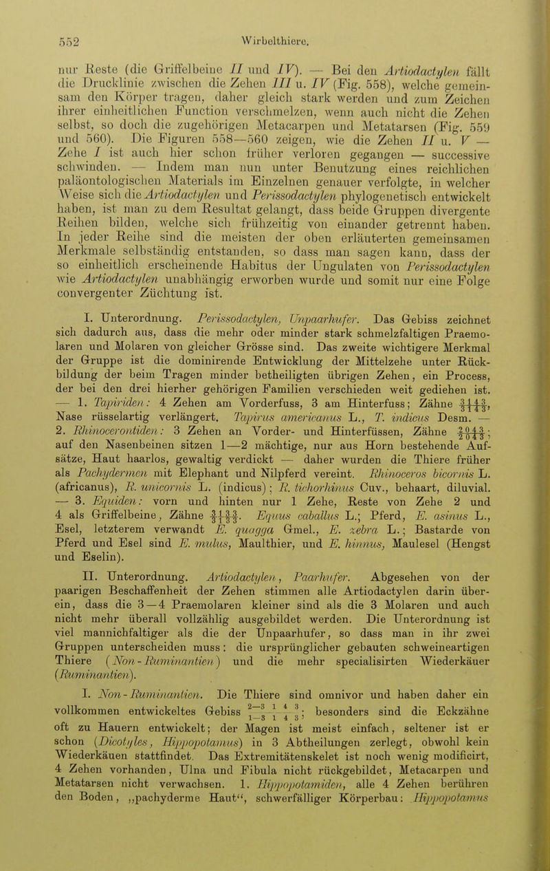 nur Reste (die Griffelbeiue II und IV). — Bei den Artiodadylen fällt die .Drucklinie /wischen die Zehen III u. IV (Fig. 558), welche gemein- sam den Körper tragen, daher gleich stark werden und /um Zeichen ihrer einheitlichen Function verschmelzen, wenn auch nicht die Zehen selbst, so doch die zugehörigen Metacarpen und Metatarsen (Fig. 559 und 560). Die Figuren 558—560 zeigen, wie die Zehen II u. V Zehe / ist auch hier schon früher verloren gegangen — successive Seilwinden. — Indem mau nun unter Benutzung eines reichlichen paläontologischen Materials im Einzelnen genauer verfolgte, in welcher Weise ^\c\\ Aie Artiodadylen und Penssodaäylen phylogenetisch entwickelt haben, ist man zu dem Resultat gelaugt, dass beide Gruppen divergente Reihen bilden, welche sich frühzeitig von einander getrennt haben. In jeder Reihe sind die meisten der oben erläuterten gemeinsamen Merkmale selbständig entstanden, so dass mau sagen kann, dass der so einheitlich erscheinende Habitus der Ungulaten von Perissodactylen wie Artiodactylen unabhängig erworben wurde und somit nur eine Folge convergenter Züchtung ist. I. Unterordnung. Perissodadykn, Unpaarhufer. Das Gebiss zeichnet sich dadurch aus, dass die mehr oder minder stark schmelzfaltigen Praemo- laren und Molaren von gleicher (xrösse sind. Das zweite wichtigere Merkmal der Gruppe ist die dominirende Entwicklung der Mittelzehe unter Rück- bildung der beim Tragen minder betheiligten übrigen Zehen, ein Process, der bei den drei hierher gehörigen Familien verschieden weit gediehen ist. — 1. Tapiriden: 4 Zehen am Vorderfuss, 3 am Hinterfuss; Zähne f^^, Nase rüsselartig verlängert. Tapirus americaiius L., 7\ indicus Desm. — 2. Rhinocerontiden: 3 Zehen an Vorder- und Hinterfüssen, Zähne -f^^; auf den Nasenbeinen sitzen 1—2 mächtige, nur aus Horn bestehende Auf- sätze, Haut haarlos, gewaltig verdickt — daher wurden die Thiere früher als Pachydermcn mit Elephant und Nilpferd vereint. Rhinoceros bicornis L. (africanus), R. unicornis L. (indicus); R. tichorhinus Cuv., behaart, diluvial. — 3. Equiden: vorn und hinten nur 1 Zehe, Reste von Zehe 2 und 4 als Griffelbeine, Zähne -|ff-|. Equus caballus L.; Pferd, E. asinus L., Esel, letzterem verwandt E. quagga Gmel., E. zebra L.; Bastarde von Pferd und Esel sind E. mulus, Maulthier, und E. Mmvus, Maulesel (Hengst und Eselin). II. Unterordnung. Artiodadylen,, Pactrhtfer. Abgesehen von der paarigen Beschaffenheit der Zehen stimmen alle Artiodactylen darin über- ein, dass die 3 — 4 Praemolaren kleiner sind als die 3 Molaren und auch nicht mehr überall vollzählig ausgebildet werden. Die Unterordnung ist viel mannichfaltiger als die der Unpaarhufer, so dass man in ihr zwei Gruppen unterscheiden muss: die ursprünglicher gebauten schweineartigen Thiere (Non- Ruminantie}!,) und die mehr specialisirten Wiederkäuer {Ruminantien)). I. Non-Ruminanlien. Die Thiere sind omnivor und haben daher ein vollkommen entwickeltes Gebiss besonders sind die Eckzähne 1—3 14 3' oft ZU Hauern entwickelt; der Magen ist meist einfach, seltener ist er schon {Dicoti/les, Hippopotaiiius) in 3 Abtheilungen zerlegt, obwohl kein Wiederkäuen stattfindet. Das Extremitätenskelet ist noch wenig modificirt, 4 Zehen vorhanden, Ulna und Fibula nicht rückgebildet, Metacarpen und Metatarsen nicht verwachsen. 1. Hippopotarniden, alle 4 Zehen berühren den Boden, „pachyderme Haut, schwerfälliger Körperbau: Uippopotarnns