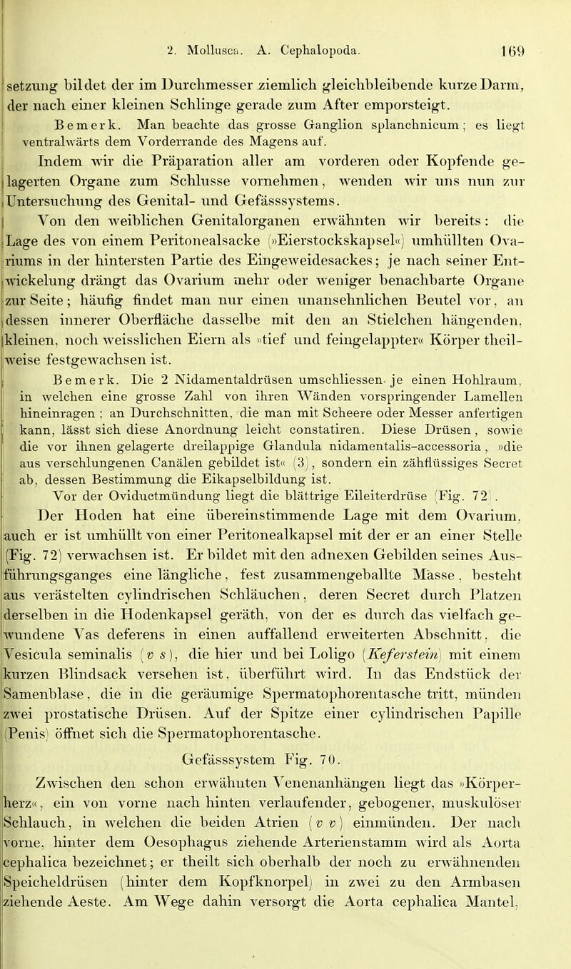 Isetzung bildet der im Durchmesser ziemlich gleichbleibende kiirzeDarm, der nach einer kleinen Schlinge gerade zum After emporsteigt. Bemerk. Man beachte das grosse Ganglion splanchnicum; es liegt ventrahvärts dem Vorderrande des Magens auf. Indem wir die Präparation aller am vorderen oder Kopfende ge- lagerten Organe zum Schlüsse vornehmen, wenden wir uns nun zxir i Untersuchung des Genital- und Gefässsystems. Von den Aveiblichen Genitalorganen erwähnten wir bereits: die Lage des von einem Peritonealsacke (»Eierstockskapsel«) umhüllten Ova- sriums in der hintersten Partie des Eingeweidesackes; je nach seiner Ent- wickelung drängt das Ovarium mehr oder weniger benachbarte Organe zur Seite; häufig findet man nur einen unansehnlichen Beutel vor, an dessen innerer Oberfläche dasselbe mit den an Stielchen hängenden, kleinen, noch weisslichen Eiern als »tief und feingelappter« Körper theil- weise festgewachsen ist. Bemerk. Die 2 Nidamentaldrüsen umschliessen-je einen Hohlraum, in welchen eine grosse Zahl von ihren Wänden vorspringender Lamellen hineinragen ; an Durchschnitten, die man mit Scheere oder Messer anfertigen kann, lässt sich diese Anordnung leicht constatiren. Diese Drüsen, sowie die vor ihnen gelagerte dreilappige Glandula nidamentalis-accessoria, »die aus verschlungenen Canälen gebildet ist« (3), sondern ein zähflüssiges Secret ab, dessen Bestimmung die Eikapselbildung ist. Vor der Oviductmündung liegt die blättrige Eileiterdrüse (Fig. 721. Der Hoden hat eine übereinstimmende Lage mit dem Ovarium, auch er ist umhüllt von einer Peritonealkapsel mit der er an einer Stelle (Fig. 72) verwachsen ist. Er bildet mit den adnexen Gebilden seines Aus- führungsganges eine längliche. fest zusammengeballte Masse , besteht aus verästelten cylindrischen Schläuchen, deren Secret durch Platzen iderselben in die Hodenkapsel geräth, von der es durch das vielfach ge- wundene Vas deferens in einen auffallend erweiterten Abschnitt, die iVesicula seminalis [v s), die hier und bei Loligo [Keferst ein) mit einem kurzen l^lindsack versehen ist, überführt wird. Li das Endstück der Samenblase, die in die geräumige Spermatophorentasche tritt, münden Izwei prostatische Drüsen. Auf der Spitze einer cylindrischen Papille (Penis) öffnet sich die Spermatophorentasche. Gefässsystem Fig. 70. Zwischen den schon erwähnten Venenanhängen liegt das »Körper- herz«, ein von vorne nach hinten verlaufender, gebogener, muskulöser Schlauch, in welchen die beiden Atrien [v v) einmünden. Der nach vorne, hinter dem Oesophagus ziehende Arterienstamm wird als Aorta cephalica bezeichnet; er theilt sich oberhalb der noch zu erwähnenden Speicheldrüsen (hinter dem Kopfknorpel) in zwei zu den Armbasen ziehende Aeste. Am Wege dahin versorgt die Aorta cephalica Mantel,