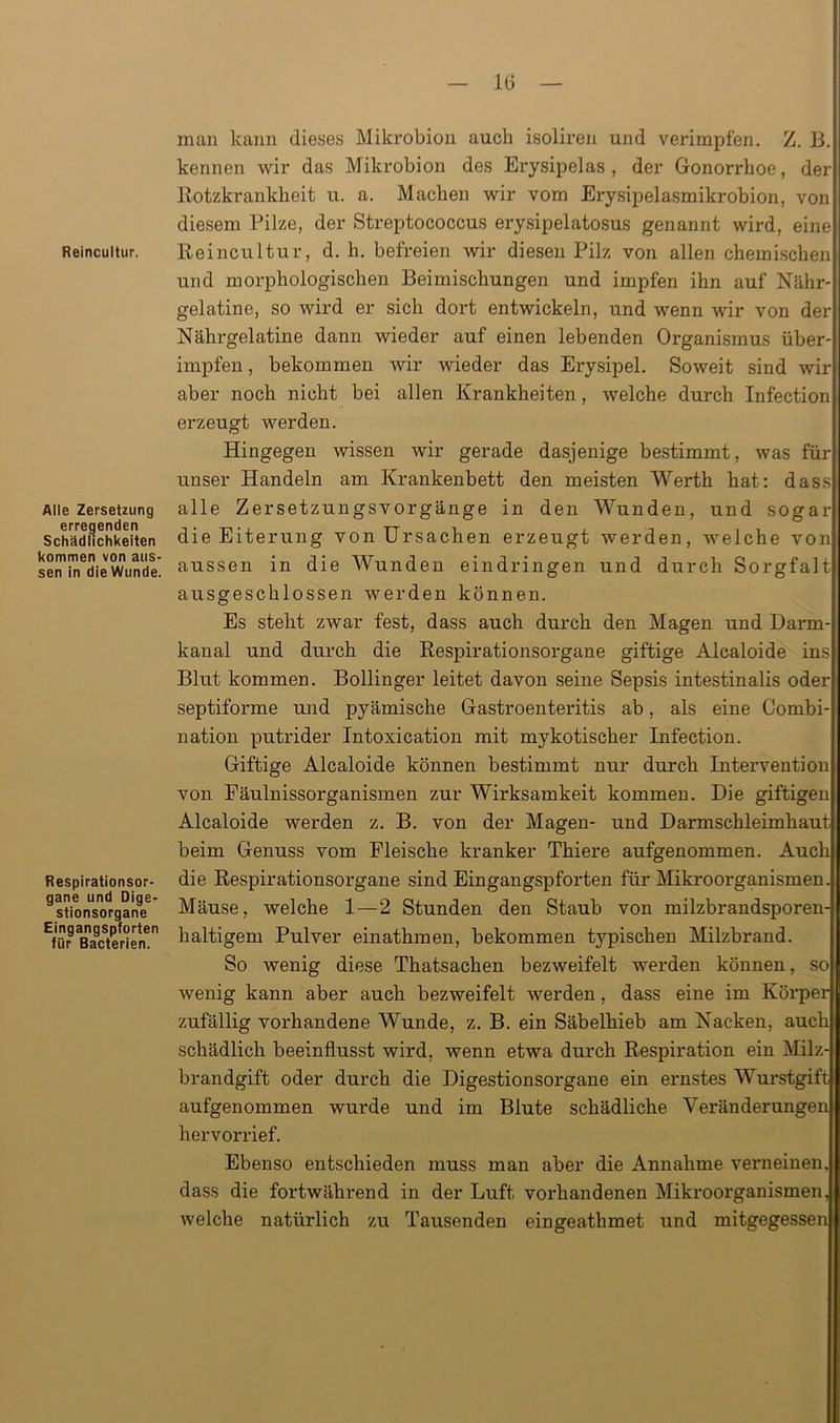 IG Reincultur. Alle Zersetzung erregenden Schädlichkeiten kommen von aus- sen in die Wunde. Respirationsor- gane und Dige- stionsorgane Eingangspforten für Bacterien. man kann dieses Mikrobion auch isoliren und verimpfen. Z. B. kennen wir das Mikrobion des Erysipelas , der Gonorrhoe, der Botzkrankheit u. a. Machen wir vom Erysipelasmikrobion, von diesem Pilze, der Streptococcus erysipelatosus genannt wird, eine Reincultur, d. h. befreien wir diesen Pilz von allen chemischen und morphologischen Beimischungen und impfen ihn auf Nähr- gelatine, so wird er sich dort entwickeln, und wenn wir von der Nährgelatine dann wieder auf einen lebenden Organismus über- impfen , bekommen wir wieder das Erysipel. Soweit sind wir aber noch nicht bei allen Krankheiten, welche durch Infection erzeugt werden. Hingegen wissen wir gerade dasjenige bestimmt, was für unser Handeln am Krankenbett den meisten Werth hat: dass alle Zersetzungsvorgänge in den Wunden, und sogar die Eiterung von Ursachen erzeugt werden, welche von aussen in die Wunden eindringen und durch Sorgfalt ausgeschlossen werden können. Es steht zwar fest, dass auch durch den Magen und Darm- kanal und durch die Respirationsorgane giftige Alcaloide ins Blut kommen. Bollinger leitet davon seine Sepsis intestinalis oder septiforme und pyämische Gastroenteritis ab, als eine Combi- nation putrider Intoxication mit mykotischer Infection. Giftige Alcaloide können bestimmt nur durch Intervention von Fäulnissorganismen zur Wirksamkeit kommen. Die giftigen Alcaloide werden z. B. von der Magen- und Darmschleimhaut beim Genuss vom Fleische kranker Thiere aufgenommen. Auch die Respirationsorgane sind Eingangspforten für Mikroorganismen. Mäuse, welche 1—2 Stunden den Staub von milzbrandsporen- haltigem Pulver einathmen, bekommen typischen Milzbrand. So wenig diese Thatsachen bezweifelt werden können, so wenig kann aber auch bezweifelt werden, dass eine im Körper zufällig vorhandene Wunde, z. B. ein Säbelhieb am Nacken, auch schädlich beeinflusst wird, wenn etwa durch Respiration ein Milz- brandgift oder durch die Digestionsorgane ein ernstes Wurstgift aufgenommen wurde und im Blute schädliche Veränderungen hervorrief. Ebenso entschieden muss man aber die Annahme verneinen, dass die fortwährend in der Luft vorhandenen Mikroorganismen, welche natürlich zu Tausenden eingeathmet und mitgegessen