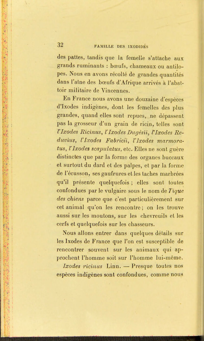 des pattes, tandis que la femelle s'attache aux grands ruminants : bœufs, chameaux ou antilo- pes. Nous en avons récolté de grandes quantités dans l'aine des bœufs d'Afrique arrivés à l'abat- toir militaire de Vincennes. En France nous avons une douzaine d'espèces d'Ixodes indigènes, dont les femelles des plus grandes, quand elles sont repues, ne dépassent pas la grosseur d'un grain de ricin, telles sont l'Ixodes Ricinus, l'Ixodes Dugésii, Vlœodes Re- duvius, Vlœodes Fabricii, Vlxodes marmora- tus, l'Ixodes scapulatus, etc. Elles ne sont guère distinctes que par la forme des organes buccaux et surtout du dard et des palpes, et par la forme de l'écusson, ses gaufrures et les taches marbrées qu'il présente quelquefois ; elles sont toutes confondues par le vulgaire sous le nom de Tique des chiens parce que c'est particulièrement sur cet animal qu'on les rencontre ; on les trouve aussi sur les moutons, sur les chevreuils et les cerfs et quelquefois sur les chasseurs. Nous allons entrer dans quelques détails sur les Ixodes de France que l'on est susceptible de rencontrer souvent sur les animaux qui ap- prochent l'homme soit sur l'homme lui-même. Ixodes ricinus Linn. — Presque toutes nos espèces indigènes sont confondues, comme nous