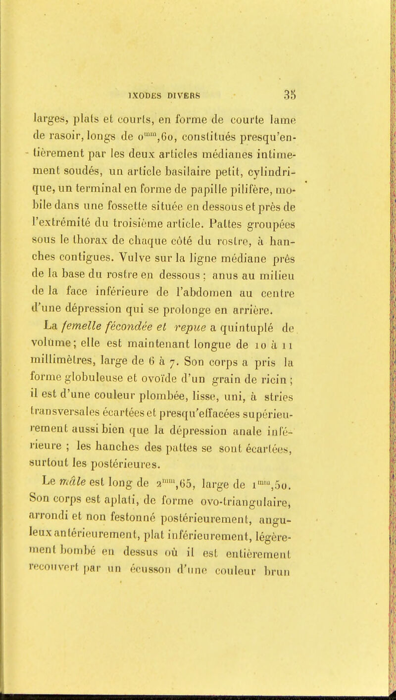 larges, plats et courts, en forme de courte lame de rasoir, longs de o,mu,Go, constitués presqu'en- lièrement par les deux articles médianes intime- ment soudés, un article basilaire petit, cylindri- que, un terminal en forme de papille pilifère, mo- bile dans une fossette située en dessous et près de l'extrémité du troisième article. Pattes groupées sous le thorax de chaque côté du rostre, à han- ches contigues. Vulve sur la ligne médiane prés de la base du rostre en dessous ; anus au milieu de la face inférieure de l'abdomen au centre d'une dépression qui se prolonge en arrière. La femelle fécondée et repue a quintuplé de volume; elle est maintenant longue de 10 à n millimètres, large de 6 à 7. Son corps a pris la forme globuleuse et ovoïde d'un grain de ricin ; il est d'une couleur plombée, lisse, uni, à stries transversales écartées et presqu'effacées supérieu- rement aussi bien que la dépression anale infé- rieure ; les hanches des pattes se sont écartées, surtout les postérieures. Le mâle est long de 2mm,65, large de imw,5o. Son corps est aplati, de forme ovo-triangulaire, arrondi et non festonné postérieurement, angu- leux antérieurement, plat inférieurement, légère- ment bombé en dessus où il est entièrement recouvert par un écUBSOn d'une couleur brun