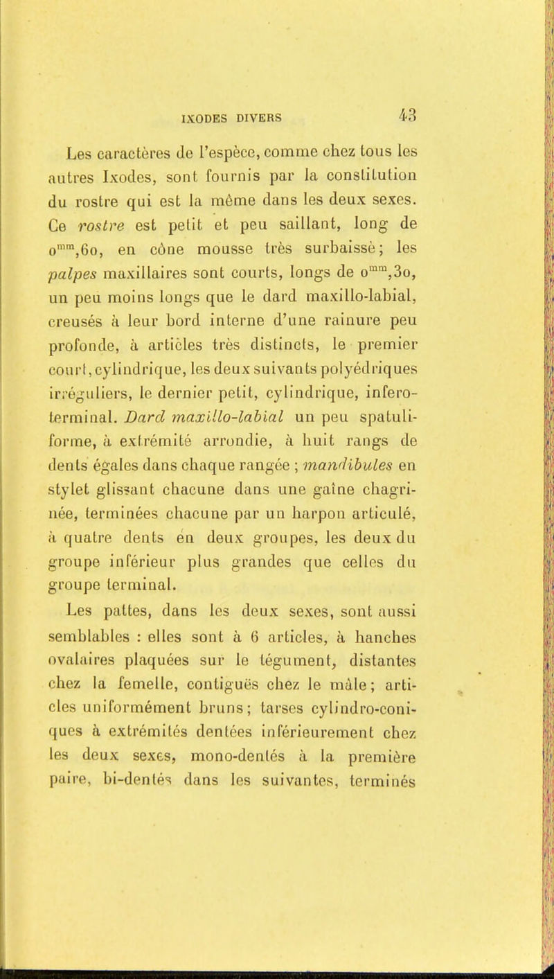 Les caractères de l'espèce, comme chez tous les autres Ixodes, sont fournis par la constitution du rostre qui est la môme dans les deux sexes. Ce rostre est petit et peu saillant, long de omm,6o, en cône mousse très surbaissé; les palpes maxillaires sont courts, longs de omra,3o, un peu moins longs que le dard maxillo-labial, creusés à leur bord interne d'une rainure peu profonde, à articles très distincts, le premier court, cylindrique, les deux suivants polyédriques irréguliers, le dernier petit, cylindrique, infero- terminal. Dard maxillo-labial un peu spatuli- forme, à extrémité arrondie, à huit rangs de dents égales dans chaque rangée ; mandibules en stylet glissant chacune dans une gaine chagri- née, terminées chacune par un harpon articulé, à quatre dents en deux groupes, les deux du groupe inférieur plus grandes que celles du groupe terminal. Les pattes, dans les deux sexes, sont aussi semblables : elles sont à 6 articles, à hanches ovalaires plaquées sur le tégument, distantes chez la femelle, contiguës cbez le mâle; arti- cles uniformément bruns; tarses cylindro-coni- qucs à extrémités dentées inférieurement cbez les deux sexes, mono-dentés à la première paire, bi-dentés dans les suivantes, terminés