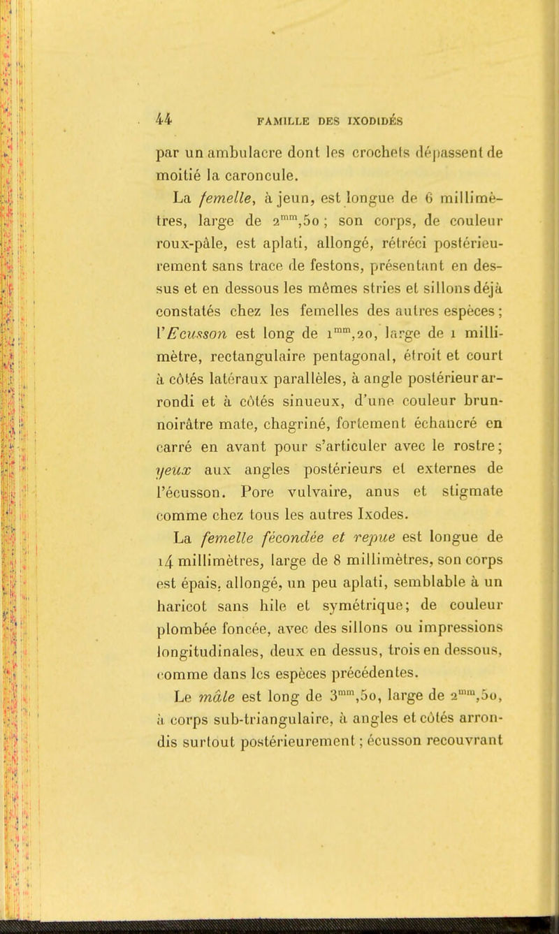 par unambulacre dont les crochets dépassent de moitié la caroncule. La femelle, à jeun, est longue de 6 millimè- tres, large de 2mm,5o ; son corps, de couleur roux-pàle, est aplati, allongé, rétréci postérieu- rement sans trace de festons, présentant en des- sus et en dessous les mêmes stries et sillons déjà constatés chez les femelles des autres espèces ; VEcuftson est long de imm,2o, large de 1 milli- mètre, rectangulaire pentagonal, étroit et court à côtés latéraux parallèles, à angle postérieur ar- rondi et à côtés sinueux, d'une, couleur brun- noirâtre mate, chagriné, fortement échancré en carré en avant pour s'articuler avec le rostre; yeux aux angles postérieurs et externes de l'écusson. Pore vulvaire, anus et stigmate comme chez tous les autres Ixodes. La femelle fécondée et repue est longue de i4 millimètres, large de 8 millimètres, son corps est épais, allongé, un peu aplati, semblable à un haricot sans hile et symétrique; de couleur plombée foncée, avec des sillons ou impressions longitudinales, deux en dessus, trois en dessous, comme clans les espèces précédentes. Le mâle est long de 3mm,5o, large de 2u,lu,5o, à corps sub-triangulaire, à angles et côtés arron- dis surtout postérieurement ; écusson recouvrant