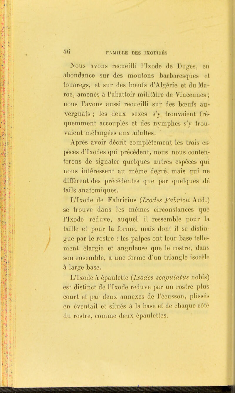 Nous avons recueilli l'Jxode de Dugès, en abondance sur des moutons barbaresques el touaregs, et sur des bœufs d'Algérie et du Ma- roc, amenés à l'abattoir militaire de Vincennes; nous l'avons aussi recueilli sur des bœufs au- vergnats ; les deux sexes s'y trouvaient fré- quemment accouplés et des nymphes s'y trou- vaient mélangées aux adultes. Après avoir décrit complètement les trois es- pèces d'Ixodes qui précèdent, nous nous conten- terons de signaler quelques autres espèces qui nous intéressent au même degré, mais qui ne diffèrent des précédentes que par quelques dé tails anatomiques. L'Txode de Fabricius {Ixodes Fabricii Aud.) se trouve dans les mêmes circonstances que l'Ixode reduve, auquel il ressemble pour la taille et pour la forme, mais dont il se distin- gue par le rostre : les palpes ont leur base telle- ment élargie et anguleuse que le rostre, dans son ensemble, a une forme d'un triangle isocèle à large base. L'Ixode à épaulette {Ixodes scapulatus nobis) est distinct de l'Ixode reduve par un rostre plus court et par deux annexes de l'écusson, plissés en éventail et situés à la base et de chaque côté du rostre, comme deux épaulettes.