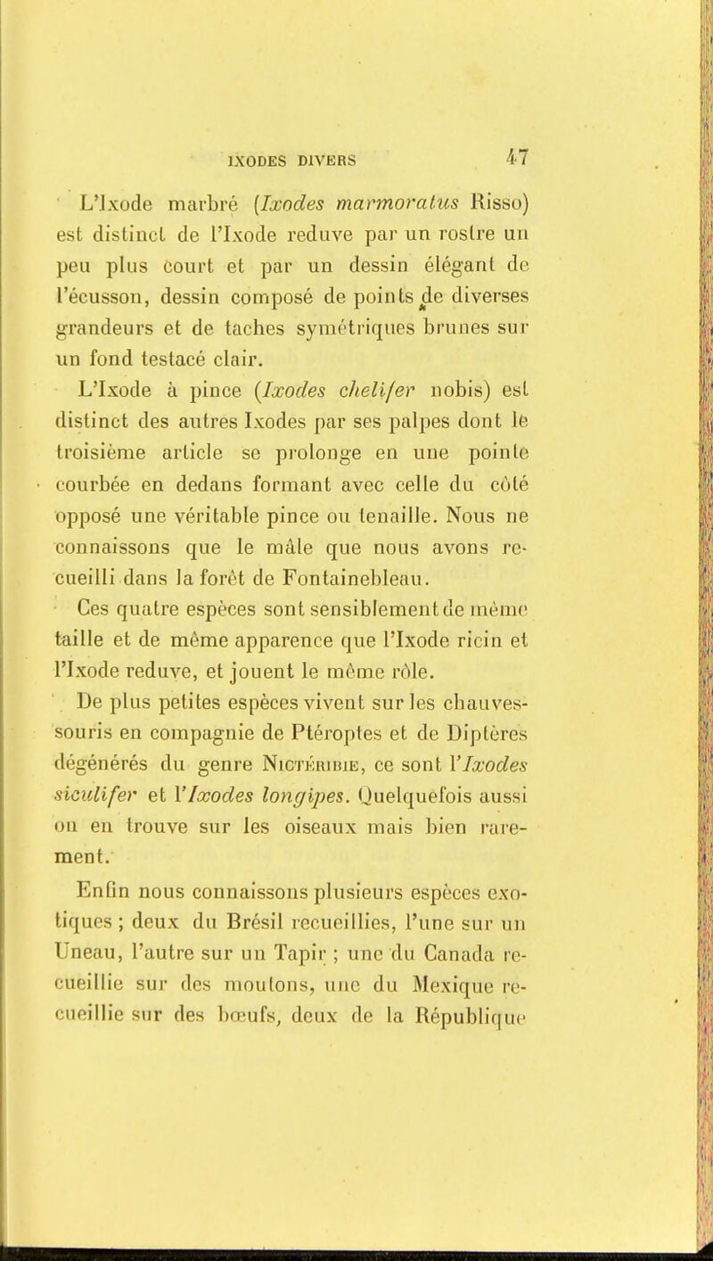 L'ixode marbré [Ixodes marmoratus Risso) est distinct de l'ixode reduve par un rostre un peu plus court et par un dessin élégant de l'écusson, dessin composé de points de diverses grandeurs et de taches symétriques brunes sur un fond testacé clair. L'ixode à pince {Ixodes cheli/er nobis) est distinct des autres Ixodes par ses palpes dont le troisième article se prolonge en une poinle courbée en dedans formant avec celle du côté opposé une véritable pince ou tenaille. Nous ne connaissons que le mâle que nous avons re- cueilli dans la forêt de Fontainebleau. Ces quatre espèces sont sensiblement de même taille et de môme apparence que l'ixode ricin et l'ixode reduve, et jouent le môme rôle. De plus petites espèces vivent sur les chauves- souris en compagnie de Ptéroptes et de Diptères dégénérés du genre Nictkkibie, ce sont Y Ixodes siculifer et Y Ixodes longipes. Quelquefois aussi on en trouve sur les oiseaux mais bien rare- ment. EnOn nous connaissons plusieurs espèces exo- tiques ; deux du Brésil recueillies, l'une sur un Uneau, l'autre sur un Tapir ; une du Canada re- cueillie sur des moulons, une du Mexique re- cueillie sur des bœufs, deux de la République