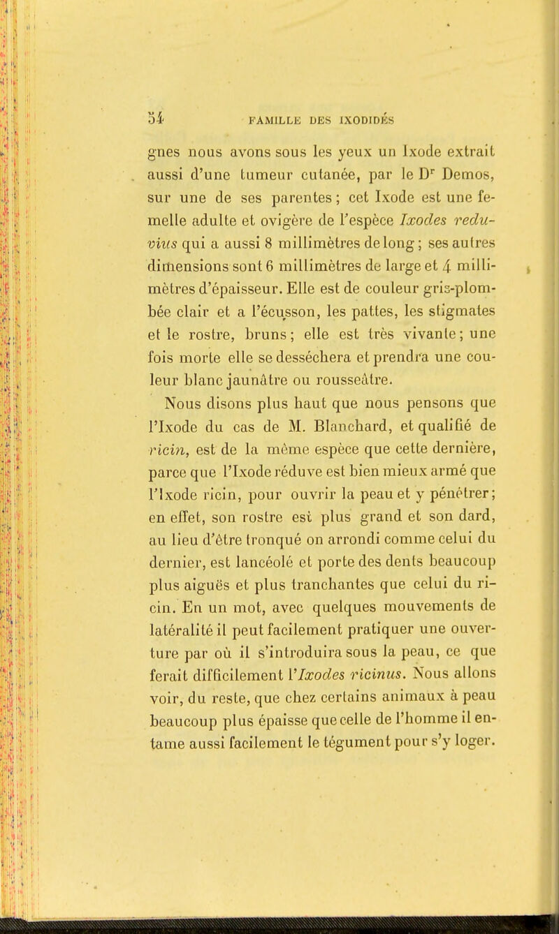 M gnes nous avons sous les yeux un Ixode extrait aussi d'une tumeur cutanée, par le Dr Demos, sur une de ses parentes ; cet Ixode est une fe- melle adulte et ovigère de l'espèce Ixodes redu- vhcs qui a aussi 8 millimètres de long; ses autres dimensions sont 6 millimètres de large et 4 milli- mètres d'épaisseur. Elle est de couleur gris-plom- bée clair et a l'écusson, les pattes, les stigmates et le rostre, bruns; elle est très vivante; une fois morte elle se desséchera et prendra une cou- leur blanc jaunâtre ou rousseàtre. Nous disons plus haut que nous pensons que PIxode du cas de M. Blanchard, et qualifié de ricin, est de la même espèce que cette dernière, parce que l'Ixode réduve est bien mieux armé que l'Ixode ricin, pour ouvrir la peau et y pénétrer; en effet, son rostre esi plus grand et son dard, au lieu d'être tronqué on arrondi comme celui du dernier, est lancéolé et porte des dents beaucoup plus aiguës et plus tranchantes que celui du ri- cin. En un mot, avec quelques mouvements de latéralité il peut facilement pratiquer une ouver- ture par où il s'introduira sous la peau, ce que ferait difficilement VIxodes ricinus. Nous allons voir, du reste, que chez certains animaux à peau beaucoup plus épaisse que celle de l'homme il en- tame aussi facilement le tégument pour s'y loger.