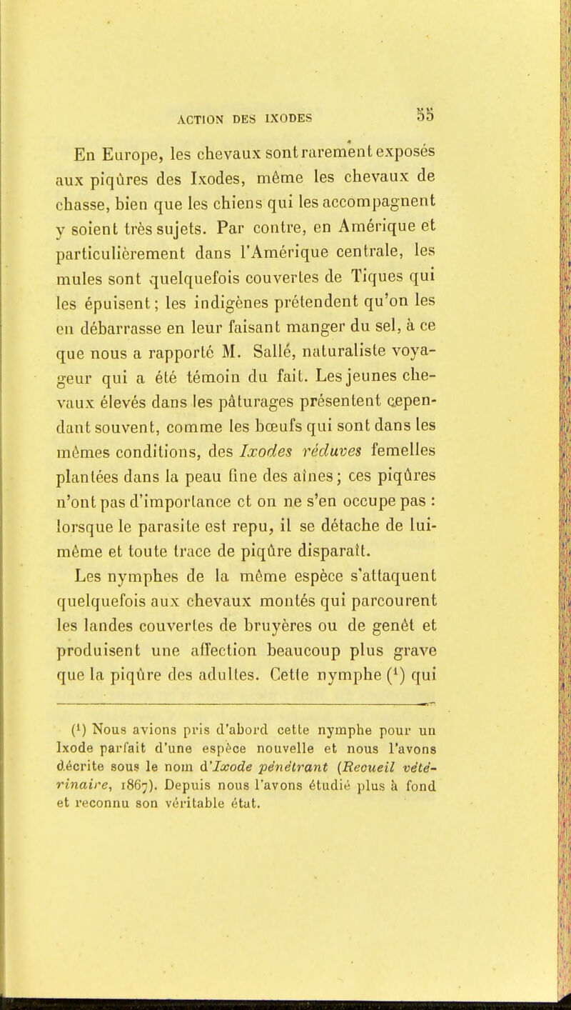 En Europe, les chevaux sont rarement exposés aux piqûres des Ixodes, même les chevaux de chasse, bien que les chiens qui les accompagnent y soient très sujets. Par contre, en Amérique et particulièrement dans l'Amérique centrale, les mules sont quelquefois couvertes de Tiques qui les épuisent; les indigènes prétendent qu'on les en débarrasse en leur faisant manger du sel, à ce que nous a rapporté M. Salle, naturaliste voya- geur qui a été témoin du fait. Les jeunes che- vaux élevés dans les pâturages présentent cepen- dant souvent, comme les bœufs qui sont dans les mêmes conditions, des Ixodes récluves femelles plantées dans la peau fine des aines; ces piqûres n'ont pas d'imporlance et on ne s'en occupe pas : lorsque le parasite est repu, il se détache de lui- même et toute trace de piqûre disparaît. Les nymphes de la môme espèce s'attaquent quelquefois aux chevaux montés qui parcourent les landes couvertes de bruyères ou de genêt et produisent une affection beaucoup plus grave que la piqûre des adultes. Cette nymphe (*) qui (*) Nous avions pris d'abord cette nymphe pour un Ixode parfait d'une espèce nouvelle et nous l'avons décrite sous le nom à'Ixode pénétrant (Recueil vété- rinaire, 1867). Depuis nous l'avons étudié plus à fond et reconnu son véritable état.