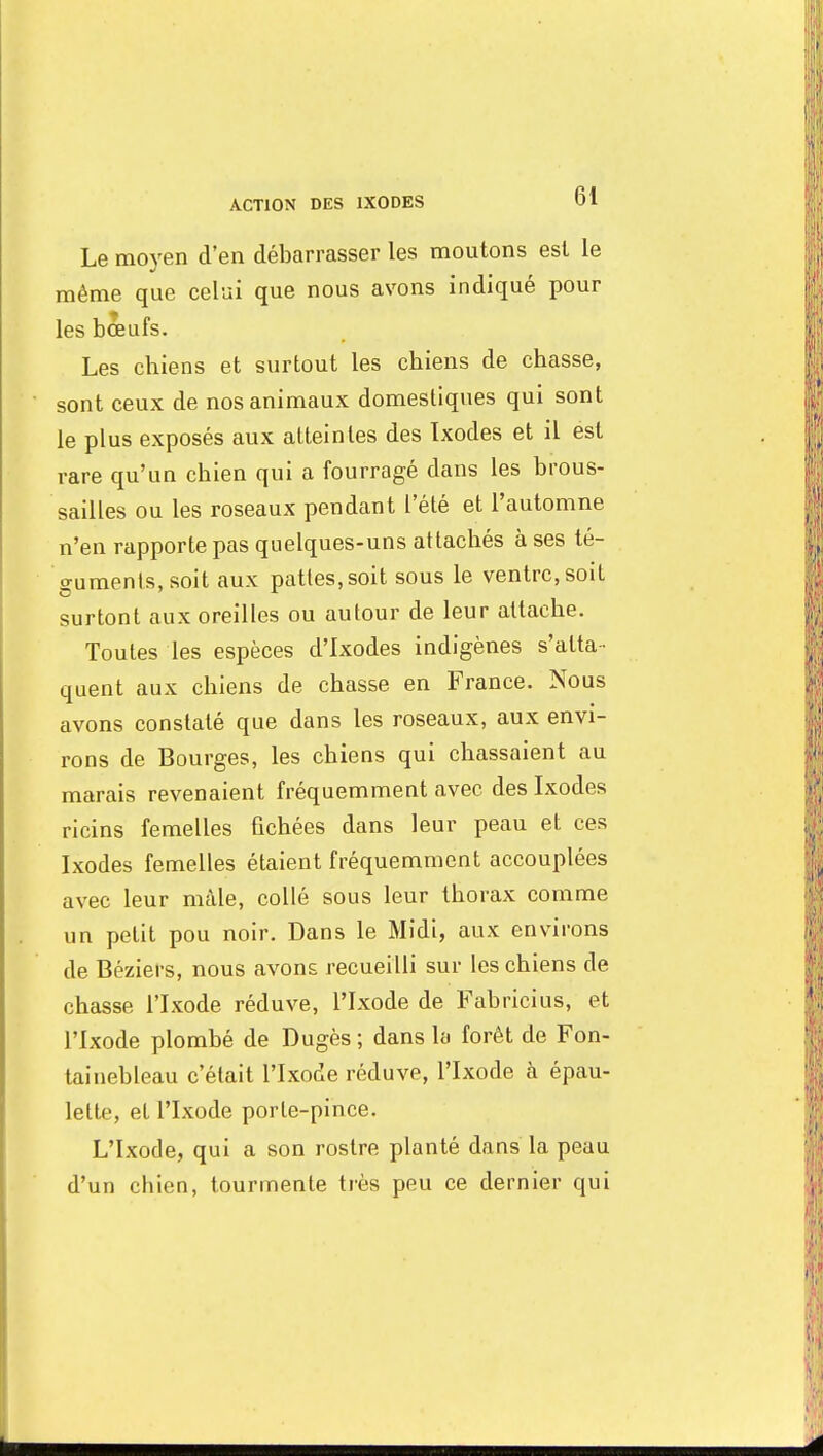 Le moyen d'en débarrasser les moutons est le même que celui que nous avons indiqué pour les boeufs. Les chiens et surtout les chiens de chasse, sont ceux de nos animaux domestiques qui sont le plus exposés aux atteintes des Ixodes et il est rare qu'un chien qui a fourragé dans les brous- sailles ou les roseaux pendant l'été et l'automne n'en rapporte pas quelques-uns attachés à ses té- guments, soit aux pattes, soit sous le ventre, soit surtont aux oreilles ou autour de leur attache. Toutes les espèces d'Ixodes indigènes s'atta- quent aux chiens de chasse en France. Nous avons constaté que dans les roseaux, aux envi- rons de Bourges, les chiens qui chassaient au marais revenaient fréquemment avec des Ixodes ricins femelles fichées dans leur peau et ces Ixodes femelles étaient fréquemment accouplées avec leur mâle, collé sous leur thorax comme un petit pou noir. Dans le Midi, aux environs de Béziers, nous avons recueilli sur les chiens de chasse l'Ixode réduve, l'Ixode de Fabricius, et l'Ixode plombé de Dugès; dans la forêt de Fon- tainebleau c'était l'Ixode réduve, l'Ixode à épau- lette, et l'Ixode porte-pince. L'Ixode, qui a son rostre planté dans la peuu d'un chien, tourmente très peu ce dernier qui