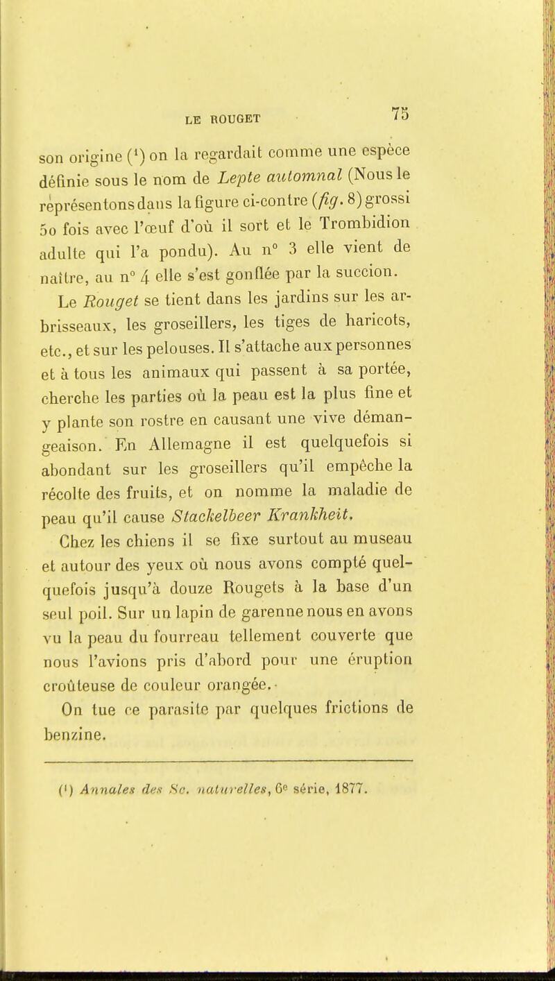 LE ROUGET son origine (») on la regardait comme une espèce définie sous le nom de Lepte automnal (Nous le représentons dans la figure ci-conlre (fig. 8) grossi 5o fois avec l'œuf d'où il sort et le Trombidion adulte qui l'a pondu). Au n° 3 elle vient de naître, au n° 4 elle s'est gonflée par la succion. Le Rouget se tient dans les jardins sur les ar- brisseaux, les groseillers, les tiges de haricots, etc., et sur les pelouses. Il s'attache aux personnes et à tous les animaux qui passent à sa portée, cherche les parties où la peau est la plus fine et y plante son rostre en causant une vive déman- geaison. En Allemagne il est quelquefois si abondant sur les groseillers qu'il empêche la récolte des fruits, et on nomme la maladie de peau qu'il cause Stackelbeer Krankheit. Chez les chiens il se fixe surtout au museau et autour des yeux où nous avons compté quel- quefois jusqu'à douze Rougets à la base d'un seul poil. Sur un lapin de garenne nous en avons vu la peau du fourreau tellement couverte que nous l'avions pris d'abord pour une éruption croûteuse de couleur orangée. • On tue ce parasite par quelques frictions de benzine. (') Annales des Se. naturelles, & série, 1877.