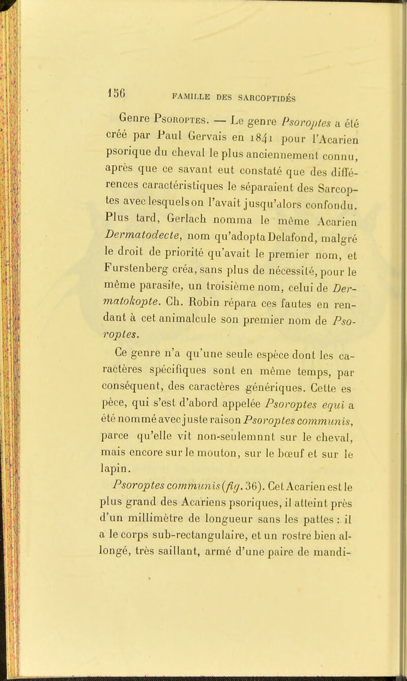 Genre Psoroptes. — Le genre Psoroptes a été créé par Paul Gervais en 1841 pour i'Àcarien psorique du cheval le plus anciennement connu, après que ce savant eut constaté que des diffé- rences caractéristiques le séparaient des Sarcop- tes avec lesquels on l'avait jusqu'alors confondu. Plus tard, Gerlach nomma le môme Acarien Dermatodecie, nom qu'adoptaDelafbnd, malgré le droit de priorité qu'avait le premier nom, et Furstenberg créa, sans plus de nécessité, pour le même parasite, un troisième nom, celui de Der- matokopte. Ch. Robin répara ces fautes en ren- dant à cet animalcule son premier nom de Pso- roptes. Ce genre n'a qu'une seule espèce dont les ca- ractères spécifiques sont en même temps, pat- conséquent, des caractères génériques. Celte es pèce, qui s'est d'abord appelée Psoroptes equi a été nommé avec juste raison Psoroptes communis, parce qu'elle vit non-seulemnnt sur le cheval, mais encore sur le mouton, sur le bœuf et sur le lapin. Psoroptes communis (fig. 36). Cet Acarien est le plus grand des Acariens psoriques, il atteint près d'un millimètre de longueur sans les pattes :. il a le corps sub-rectangulaire, et un rostre bien al- longé, très saillant, armé d'une paire de mandi-