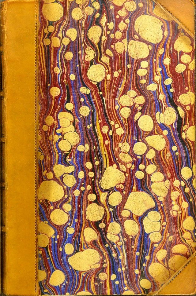 No text description is available for this image