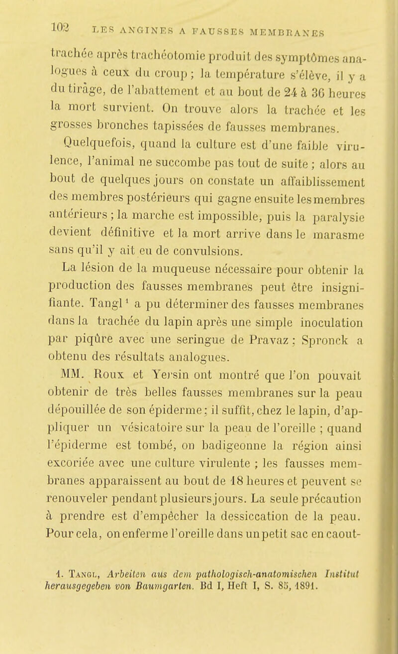 trachée après trachéotomie produit des symptômes ana- logues à ceux du croup ; la température s'élève, il y a du tirage, de l'abattement et au bout de 24 à 3G heures la mort survient. On trouve alors la trachée et les grosses bronches tapissées de fausses membranes. Quelquefois, quand la culture est d'une faible viru- lence, l'animal ne succombe pas tout de suite ; alors au bout de quelques jours on constate un affaiblissement des membres postérieurs qui gagne ensuite les membres antérieurs ; la marche est impossible, puis la paralysie devient définitive et la mort arrive dans le marasme sans qu'il y ait eu de convulsions. La lésion de la muqueuse nécessaire pour obtenir la production des fausses membranes peut être insigni- fiante. Tangl ' a pu déterminer des fausses membranes dans la trachée du lapin après une simple inoculation par piqûre avec une seringue de Pravaz : Spronck a obtenu des résultats analogues. MM. Roux et Yej'sin ont montré que l'on pouvait obtenir de très belles fausses membranes sur la peau dépouillée de son épidémie ; il suffit, chez le lapin, d'ap- pliquer un vésicatoire sur la peau de l'oreille ; quand l'épiderme est tombé, on badigeonne la région ainsi excoriée avec une culture virulente ; les fausses mem- branes apparaissent au bout de 18 heures et peuvent se renouveler j)endantplusieursjours. La seule précaution à prendre est d'empêcher la dessiccation de la peau. Pour cela, on enferme l'oreille dans un petit sac en caout- i. Tangl, Arbeilen aus dem pathologisch-anatomischen InBtitut herausgegeben von Buumgarlen. Bd I, Heft I, S. 8a, 1891.