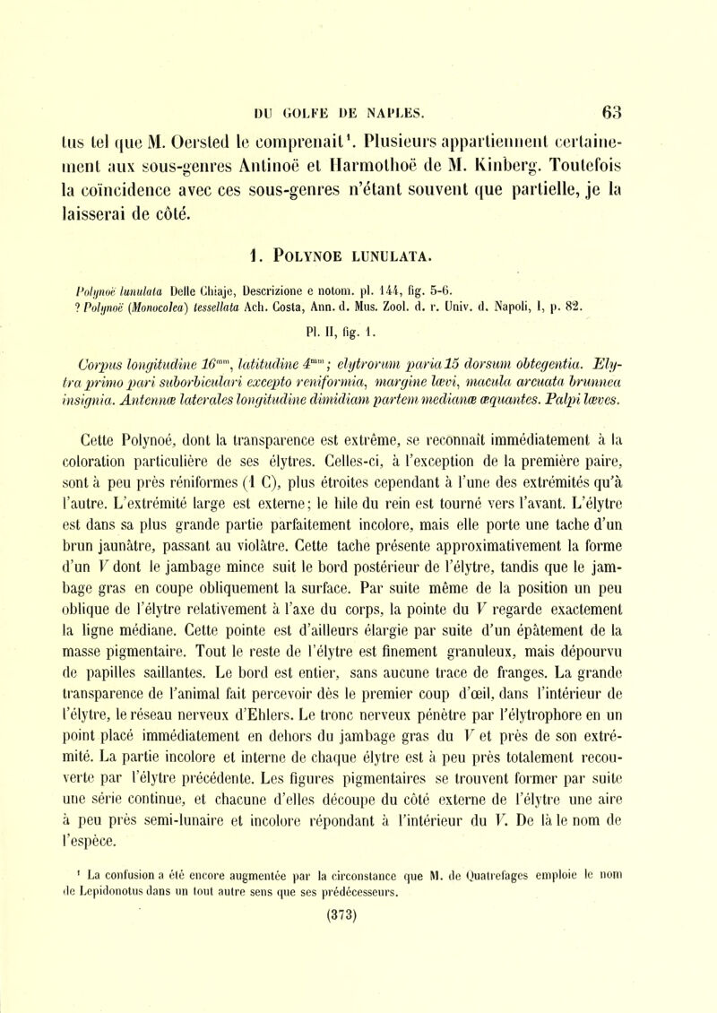 lus tel que M. Oersled le comprenait'. Plusieurs appartiennent certaine- ment aux sous-genres Antinoë et [larmothoë tle M. Kinberg. Toutefois la coïncidence avec ces sous-genres n'étant souvent que partielle, je la laisserai de côté. 1. POLYNOE LUNULATA. Poljjnoë lunulata Délie Cliiaje, Uescrizione e notom. pl. 144, fig. 5-6. ? Polijnoë (Monocoha) lessellata Ach. Costa, Ann. d. Mus. Zool. d, r. Univ. d. Napoli, 1, p. 82. Pl. II, fig. 1. Corpus longitudine 16'', latitudine 4°; elytrorimi paria 15 dorsum obtegentia. Ely- tra x)riim pari suhorhiculari excepto reniformîa, margine lœvi, macula arcuata hrimnea insignia. Antcnnœ latérales longitudine dimidiam partent medianœ œqiiantes. Palpi lœves. Cette Polynoé, dont la transparence est extrême, se reconnaît immédiatement à la coloration particulière de ses élytres. Celles-ci, à l'exception de la première paire, sont à peu près réniformes (1 C), plus étroites cependant à l'une des extrémités quW l'autre. L'extrémité large est externe ; le hile du rein est tourné vers l'avant. L'élytrc est dans sa plus grande partie parfaitement incolore, mais elle porte une tache d'un brun jaunâtre, passant au violâtre. Cette tache présente approximativement la forme d'un V dont le jambage mince suit le bord postérieur de l'élytre, tandis que le jam- bage gras en coupe obliquement la surface. Par suite même de la position un peu oblique de l'élytre relativement à l'axe du corps, la pointe du V regarde exactement la ligne médiane. Cette pointe est d'ailleurs élargie par suite d'un épâtement de la masse pigmentaire. Tout le reste de l'élytre est finement granuleux, mais dépourvu de papilles saillantes. Le bord est entier, sans aucune trace de franges. La grande transparence de l'animal fait percevoir dès le premier coup d'œil, dans l'intérieur de l'élytre, le réseau nerveux d'Ehlers. Le tronc nerveux pénètre par Télytrophore en un point placé immédiatement en dehors du jambage gras du V et près de son extré- mité. La partie incolore et interne de chaque élytre est à peu près totalement recou- verte par l'élytre précédente. Les figures pigmentaires se trouvent former par suite une série continue, et chacune d'elles découpe du côté externe de l'élytre une aire à peu près semi-lunaire et incolore répondant à l'intérieur du F. De là le nom de l'espèce. ' La confusion a élé encore augmentée par la circonstance que M. de Quatretages emploie le nom de Lepidonolus dans un tout autre sens que ses prédécesseurs. (373)