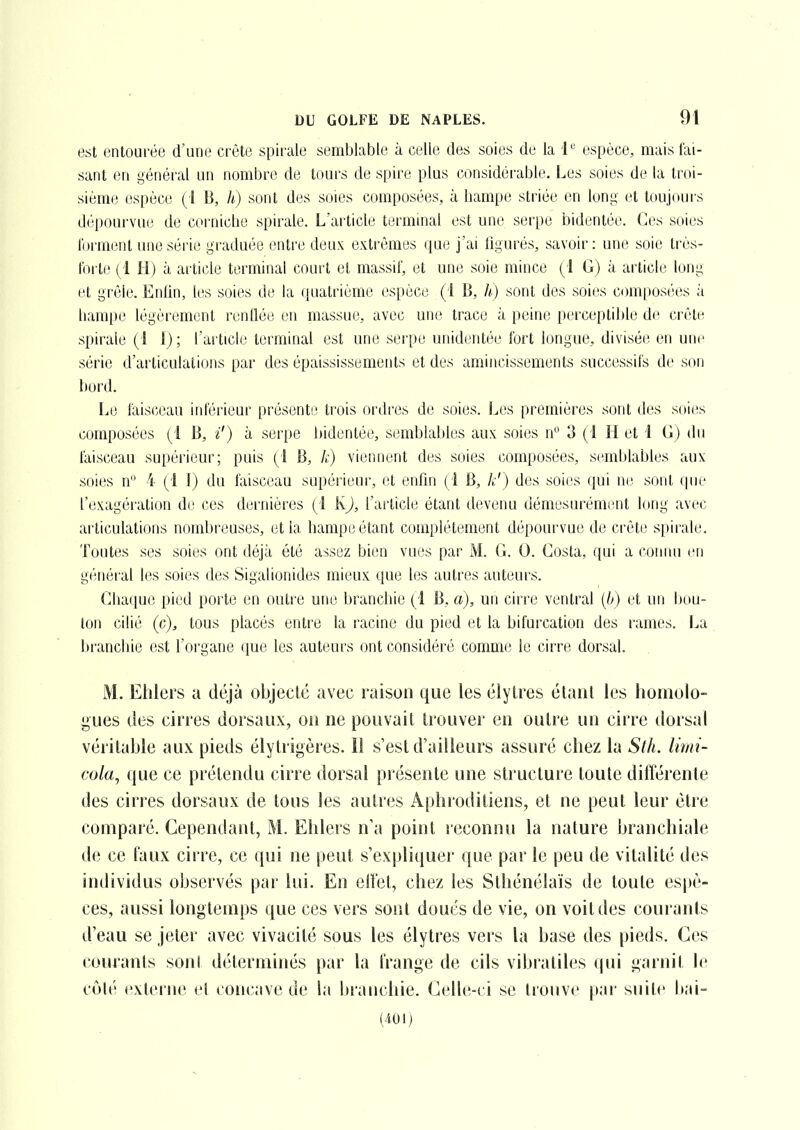 est entourée d'une crête spirale semblable à celle des soies de la 1'= espèce, mais fai- sant en général un nombre de tours de spire plus considérable. Les soies de la troi- sième espèce (i B, h) sont d(,\s soies composées, à hampe striée en long et toujours dijpoui'vue de corniche spirale. L'article terminal est une serpe bidentée. Ces soies forment une série graduée entre deux extrêmes que j'ai figurés, savoir : une soie très- fortiî (1 H) à article terminal court et massif, et une soie mince (1 G) à article long et grêle. Enlin, l(!s soies de la quatrième espèce (i B, h) sont des soies com(>osées à hampe légèrement renflée en massue, avec une trace à peine perceptible de crête spirale (1 l) ; l'article terminal est une serpe unidiintée fort longue, divisée en une série d'articulations par des épaississements et des amincissements successifs de son bord. Le faisceau inférieur présente trois ordres de soies. Les premières sont d(!s soies composées (i B, ^') à serpe bidentée, semblables aux soies n 3 (i H et 1 G ) du faisceau supérieur; puis (1 B, k) viennent des soies composées, semblables aux soies n 4 (1 I) du faisceau supérieur, et enfin (1 B, h') des soies qui ne sont que l'exagéi'ation de ces dernières (I KJ, failicle étant devenu démesurément long avec articulations nombreuses, et la hampe étant complètement dépourvue de crête spirale. Toutes ses soies ont déjà été assez bien vues par M. G. 0. Costa, qui a connu en général les soies des Sigalionides mieux que les autres auteurs. Chaque pied porte en outre une branchie (1 B, a), un cirre ventral [b) et un bou- lon cilié (c), tous placés entre la racine du pied et la bifurcation des rames. I^a branchie est l'organe que les auteurs ont considéré comme le cirre dorsal. M. Ehlei's a déjà objecté avec raison que les éiylres élaul les lioinolo- gues des cirres dorsaux, ou ne pouvait trouver en outie un cirre dorsal véritable aux pieds élytrigères. Il s'est d'ailleurs assuré chez la Sth. limi- cola, que ce prétendu cirre dorsal présente une structure toute différente des cines dorsaux de tous les autres Aphrodiliens, et ne peut leur être comparé. Cependant, M. Ehlers n'a point reconnu la nature branchiale ce faux cirre, ce qui ne peut s'expliquer que par le peu de vitalité des individus observés par lui. En elïel, chez les Sthénélaïs de toule es|)è- ces, aussi longtemps que ces vers sont doués de vie, on voit des courants d'eau se jeter avec vivacité sous les élytres vers la base des pieds. Ces courants son! déterminés par la frange de cils vibraliles (|ui garnit le côlé extei ne cl concave de la branchie. Celle-ci se trouve par suite bai- (401)