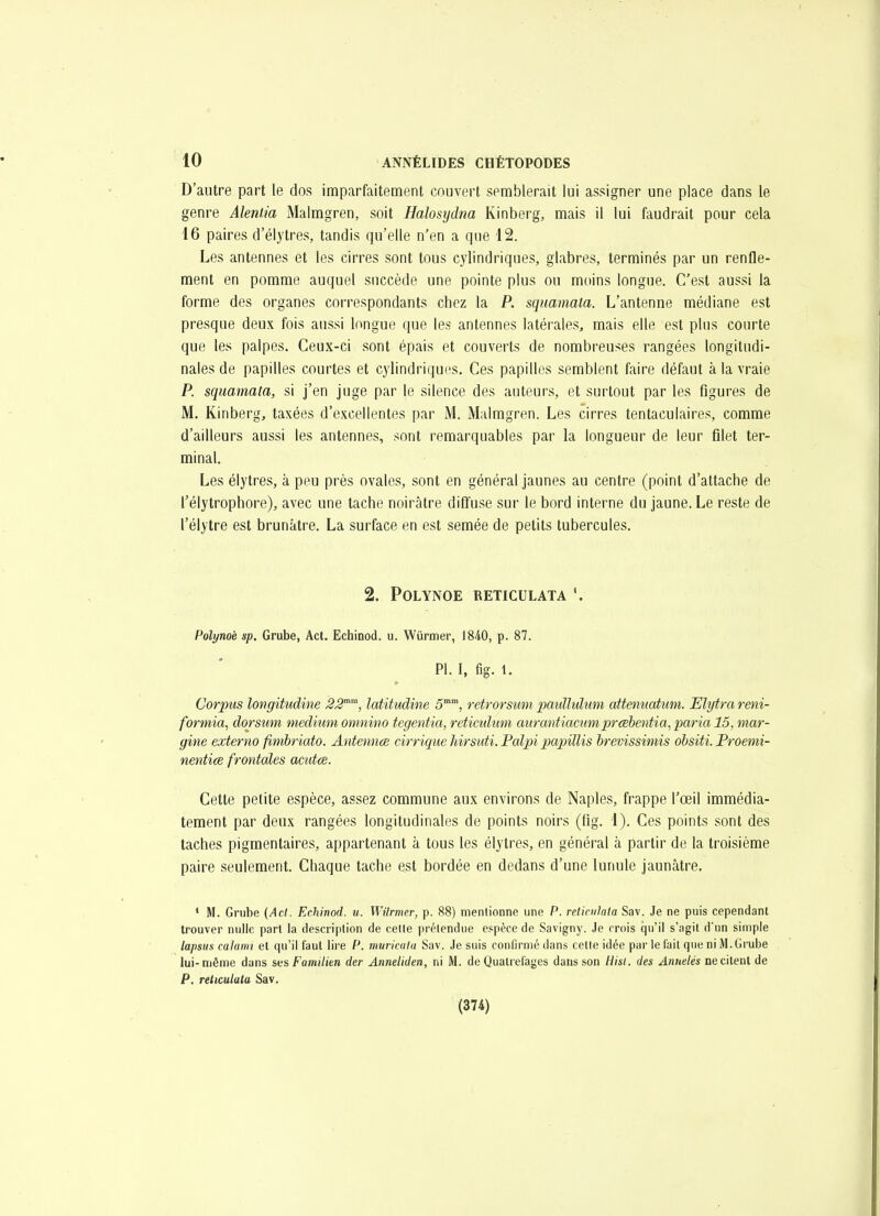 D'autre part le dos imparfaitement couvert semblerait lui assigner une place dans le genre Aleniia Malmgren, soit Halosydna Kinberg, mais il lui faudrait pour cela 16 paires d'élytres, tandis qu'elle n'en a que 12. Les antennes et les cirres sont tous cylindriques, glabres, terminés par un renfle- ment en pomme auquel succède une pointe plus ou moins longue. C'est aussi la forme des organes correspondants chez la P. squamata. L'antenne médiane est presque deux fois aussi longue que les antennes latérales, mais elle est pins courte que les palpes. Ceux-ci sont épais et couverts de nombreuses rangées longitudi- nales de papilles courtes et cylindriques. Ces papilles semblent faire défaut à la vraie P. squamata, si j'en juge par le silence des auteurs, et surtout par les figures de M. Kinberg, taxées d'excellentes par M. Malmgren. Les cirres tentaculaires, comme d'ailleurs aussi les antennes, sont remarquables par la longueur de leur fllet ter- minal. Les élytres, à peu près ovales, sont en général jaunes au centre (point d'attache de l'élytrophore), avec une tache noirâtre diffuse sur le bord interne du jaune. Le reste de l'élytre est brunâtre. La surface en est semée de petits tubercules. 2. POLYNOE RETICULATA \ Polynoè sp. Grube, Act. Echinod. u. Wùrmer, 1840, p. 87. Pl. I, %. 1. Corpus longitudine 22^'^, latitKdine 5, retrorsum pauïïulum atteiiuatum. Elytra reni- formia, dorsum médium omnino tegentia, reticuhmi aurantiacumprœbentia, paria 15, mar- gine externo fimbriato. Antennœ cirrique Jdrsuti. Palpi papiïlis brevissimis obsiti. Proemi- nentice frontales acutce. Cette petite espèce, assez commune aux environs de Naples, frappe l'œil immédia- tement par deux rangées longitudinales de points noirs (fig. 1). Ces points sont des taches pigmentaires, appartenant à tous les élytres, en général à partir de la troisième paire seulement. Chaque tache est bordée en dedans d'une lunule jaunâtre. * M. Grube (Act. Echinod. u. Wilrmer, p. 88) mentionne une P. reticulata Sav. Je ne puis cependant trouver nulle pari la description de celte prétendue espèce de Savigny. Je crois qu'il s'agit d'un simple lapsus calami et qu'il faut lire P. mvricalu Sav. Je suis confirmé dans celte idée par le fait que ni M. Grube lui-même dans ses Familien der Anneliden, ni M. de Qualrefages dans son Hisl. des Antietés ne citent de P. reticulata Sav. (374)